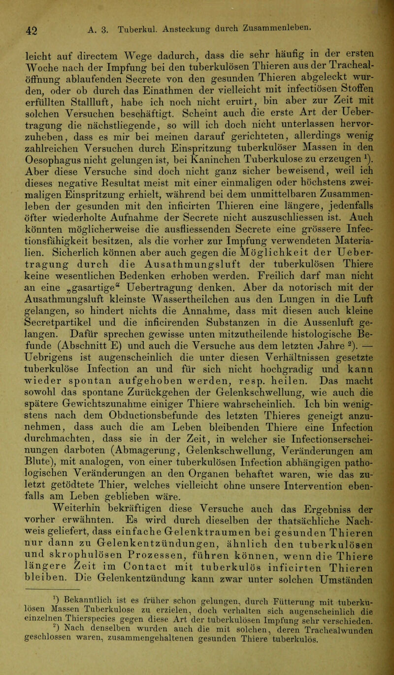 leicht auf directem Wege dadurch, dass die sehr häufig in der ersten Woche nach der Impfung bei den tuberkulösen Thieren aus der Traeheal- öffnung ablaufenden Secrete von den gesunden Thieren abgeleckt wur- den, oder ob durch das Einathmen der vielleicht mit infectiösen Stoffen erfüllten Stallluft, habe ich noch nicht eruirt, bin aber zur Zeit mit solchen Versuchen beschäftigt. Scheint auch die erste Art der Ueber- tragung die nächstliegende, so will ich doch nicht unterlassen hervor- zuheben, dass es mir bei meinen darauf gerichteten, allerdings wenig zahlreichen Versuchen durch Einspritzung tuberkulöser Massen in den Oesophagus nicht gelungen ist, bei Kaninchen Tuberkulose zu erzeugen 1). Aber diese Versuche sind doch nicht ganz sicher beweisend, weil ich dieses negative Besultat meist mit einer einmaligen oder höchstens zwei- maligen Einspritzung erhielt, während bei dem unmittelbaren Zusammen- leben der gesunden mit den inficirten Thieren eine längere, jedenfalls öfter wiederholte Aufnahme der Secrete nicht auszuschliessen ist. Auch könnten möglicherweise die ausfliessenden Secrete eine grössere Infec- tionsfähigkeit besitzen, als die vorher zur Impfung verwendeten Materia- lien. Sicherlich können aber auch gegen die Möglichkeit der Ueber- tragung durch die Ausathmungsluft der tuberkulösen Thiere keine wesentlichen Bedenken erhoben werden. Freilich darf man nicht an eine „gasartige Uebertragung denken. Aber da notorisch mit der Ausathmungsluft kleinste Wassertheilchen aus den Lungen in die Luft gelangen, so hindert nichts die Annahme, dass mit diesen auch kleine Secretpartikel und die inficirenden Substanzen in die Aussenluft ge- langen. Dafür sprechen gewisse unten mitzutheilende histologische Be- funde (Abschnitt E) und auch die Versuche aus dem letzten Jahre 2). — Uebrigens ist augenscheinlich die unter diesen Verhältnissen gesetzte tuberkulöse Infection an und für sich nicht hochgradig und kann wieder spontan aufgehoben werden, resp. heilen. Das macht sowohl das spontane Zurückgehen der Gelenkschwellung, wie auch die spätere Gewichtszunahme einiger Thiere wahrscheinlich. Ich bin wenig- stens nach dem Obductionsbefunde des letzten Thieres geneigt anzu- nehmen, dass auch die am Leben bleibenden Thiere eine Infection durchmachten, dass sie in der Zeit, in welcher sie Infectionserschei- nungen darboten (Abmagerung, Gelenkschwellung, Veränderungen am Blute), mit analogen, von einer tuberkulösen Infection abhängigen patho- logischen Veränderungen an den Organen behaftet waren, wie das zu- letzt getödtete Thier, welches vielleicht ohne unsere Intervention eben- falls am Leben geblieben wäre. Weiterhin bekräftigen diese Versuche auch das Ergebniss der vorher erwähnten. Es wird durch dieselben der thatsächliche Nach- weis geliefert, dass einfache Gelenktraumen bei gesunden Thieren nur dann zu Gelenkentzündungen, ähnlich den tuberkulösen und skrophulösen Prozessen, führen können, wenn die Thiere längere Zeit im Contact mit tuberkulös inficirten Thieren bleiben. Die Gelenkentzündung kann zwar unter solchen Umständen ') Bekanntlich ist es früher schon gelungen, durch Fütterung mit tuberku- lösen Massen Tuberkulose zu erzielen, doch verhalten sich augenscheinlich die einzelnen Thierspecies gegen diese Art der tuberkulösen Impfung sehr verschieden. 2) Nach denselben wurden auch die mit solchen, deren Trachealwunden geschlossen waren, zusammengehaltenen gesunden Thiere tuberkulös.