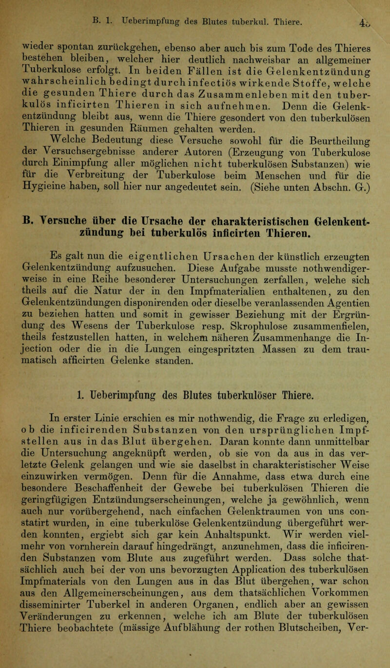 wieder spontan zurückgehen, ebenso aber auch bis zum Tode des Thieres bestehen bleiben, welcher hier deutlich nachweisbar an allgemeiner Tuberkulose erfolgt. In beiden Fällen ist die Gelenkentzündung wahrscheinlich bedingt durch infectiös wirkende Stoffe, welche die gesunden Thiere durch das Zusammenleben mit den tuber- kulös inficirten Thieren in sich aufnehmen. Denn die Gelenk- entzündung bleibt aus, wenn die Thiere gesondert von den tuberkulösen Thieren in gesunden Räumen gehalten werden. Welche Bedeutung diese Versuche sowohl für die Beurtheilung der Versuchsergebnisse anderer Autoren (Erzeugung von Tuberkulose durch Einimpfung aller möglichen nicht tuberkulösen Substanzen) wie für die Verbreitung der Tuberkulose beim Menschen und für die Hygieine haben, soll hier nur angedeutet sein. (Siehe unten Abschn. G.) B. Versuche über die Ursache der charakteristischen Gelenkent- zündung bei tuberkulös inficirten Thieren. Es galt nun die eigentlichen Ursachen der künstlich erzeugten Gelenkentzündung aufzusuchen. Diese Aufgabe musste notwendiger- weise in eine Reihe besonderer Untersuchungen zerfallen, welche sich theils auf die Natur der in den Impfmaterialien enthaltenen, zu den Gelenkentzündungen disponirenden oder dieselbe veranlassenden Agentien zu beziehen hatten und somit in gewisser Beziehung mit der Ergrün- dung des Wesens der Tuberkulose resp. Skrophulose zusammenfielen, theils festzustellen hatten, in welchem näheren Zusammenhange die In- jection oder die in die Lungen eingespritzten Massen zu dem trau- matisch afficirten Gelenke standen. 1. Ueberimpfung des Blutes tuberkulöser Thiere. In erster Linie erschien es mir nothwendig, die Frage zu erledigen, ob die inficirenden Substanzen von den ursprünglichen Impf- stellen aus in das Blut übergehen. Daran konnte dann unmittelbar die Untersuchung angeknüpft werden, ob sie von da aus in das ver- letzte Gelenk gelangen und wie sie daselbst in charakteristischer Weise einzuwirken vermögen. Denn für die Annahme, dass etwa durch eine besondere Beschaffenheit der Gewebe bei tuberkulösen Thieren die geringfügigen Entzündungserscheinungen, welche ja gewöhnlich, wenn auch nur vorübergehend, nach einfachen Gelenktraumen von uns con- statirt wurden, in eine tuberkulöse Gelenkentzündung übergeführt wer- den konnten, ergiebt sich gar kein Anhaltspunkt. Wir werden viel- mehr von vornherein darauf hingedrängt, anzunehmen, dass die inficiren- den Substanzen vom Blute aus zugeführt werden. Dass solche that- sächlich auch bei der von uns bevorzugten Application des tuberkulösen Impfmaterials von den Lungen aus in das Blut übergehen, war schon aus den Allgemeinerscheinungen, aus dem thatsächlichen Vorkommen disseminirter Tuberkel in anderen Organen, endlich aber an gewissen Veränderungen zu erkennen, welche ich am Blute der tuberkulösen Thiere beobachtete (massige Aufblähung der rothen Blutscheiben, Ver-