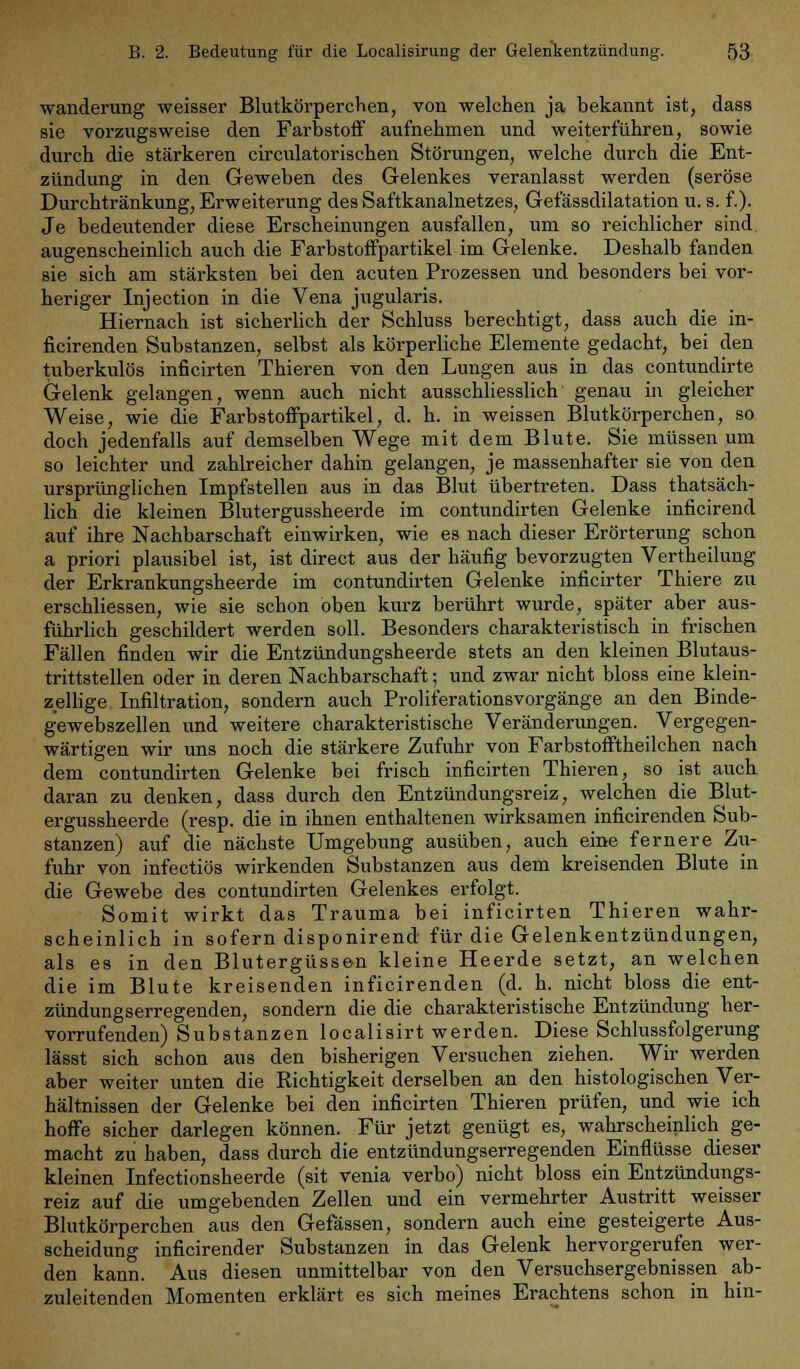 Wanderung weisser Blutkörperchen, von welchen ja bekannt ist, dass sie vorzugsweise den Farbstoff aufnehmen und weiterführen, sowie durch die stärkeren circulatorischen Störungen, welche durch die Ent- zündung in den Geweben des Gelenkes veranlasst werden (seröse Durchtränkung, Erweiterung des Saftkanalnetzes, Gefässdilatation u. s. f.). Je bedeutender diese Erscheinungen ausfallen, um so reichlicher sind augenscheinlich auch die Farbstoffpartikel im Gelenke. Deshalb fanden sie sich am stärksten bei den acuten Prozessen und besonders bei vor- heriger Injection in die Vena jugularis. Hiernach ist sicherlich der Schluss berechtigt, dass auch die in- ficirenden Substanzen, selbst als körperliche Elemente gedacht, bei den tuberkulös inficirten Thieren von den Lungen aus in das contundirte Gelenk gelangen, wenn auch nicht ausschliesslich' genau in gleicher Weise, wie die Farbstoffpartikel, d. h. in weissen Blutkörperchen, so doch jedenfalls auf demselben Wege mit dem Blute. Sie müssen um so leichter und zahlreicher dahin gelangen, je massenhafter sie von den ursprünglichen Impfstellen aus in das Blut übertreten. Dass thatsäch- lich die kleinen Blutergussheerde im contundirten Gelenke inficirend auf ihre Nachbarschaft einwirken, wie es nach dieser Erörterung schon a priori plausibel ist, ist direct aus der häufig bevorzugten Vertheilung der Erkrankungsheerde im contundirten Gelenke inficirter Thiere zu erschliessen, wie sie schon oben kurz berührt wurde, später aber aus- führlich geschildert werden soll. Besonders charakteristisch in frischen Fällen finden wir die Entzündungsheerde stets an den kleinen Blutaus- trittstellen oder in deren Nachbarschaft; und zwar nicht bloss eine klein- zellige Infiltration, sondern auch Proliferationsvorgänge an den Binde- gewebszellen und weitere charakteristische Veränderungen. Vergegen- wärtigen wir uns noch die stärkere Zufuhr von Farbstofftheilchen nach dem contundirten Gelenke bei frisch inficirten Thieren, so ist auch daran zu denken, dass durch den Entzündungsreiz, welchen die Blut- ergussheerde (resp. die in ihnen enthaltenen wirksamen inficirenden Sub- stanzen) auf die nächste Umgebung ausüben, auch eine fernere Zu- fuhr von infectiös wirkenden Substanzen aus dem kreisenden Blute in die Gewebe des contundirten Gelenkes erfolgt. Somit wirkt das Trauma bei inficirten Thieren wahr- scheinlich in sofern disponirend für die Gelenkentzündungen, als es in den Blutergüssen kleine Heerde setzt, an welchen die im Blute kreisenden inficirenden (d. h. nicht bloss die ent- zündungserregenden, sondern die die charakteristische Entzündung her- vorrufenden) Substanzen localisirt werden. Diese Schlussfolgerung lässt sich schon aus den bisherigen Versuchen ziehen. Wir werden aber weiter unten die Richtigkeit derselben an den histologischen Ver- hältnissen der Gelenke bei den inficirten Thieren prüfen, und wie ich hoffe sicher darlegen können. Für jetzt genügt es, wahrscheinlich ge- macht zu haben, dass durch die entzündungserregenden Einflüsse dieser kleinen Infectionsheerde (sit venia verbo) nicht bloss ein Entzündungs- reiz auf die umgebenden Zellen und ein vermehrter Austritt weisser Blutkörperchen aus den Gefässen, sondern auch eine gesteigerte Aus- scheidung inficirender Substanzen in das Gelenk hervorgerufen wer- den kann. Aus diesen unmittelbar von den Versuchsergebnissen ab- zuleitenden Momenten erklärt es sich meines Erachtens schon in hin-