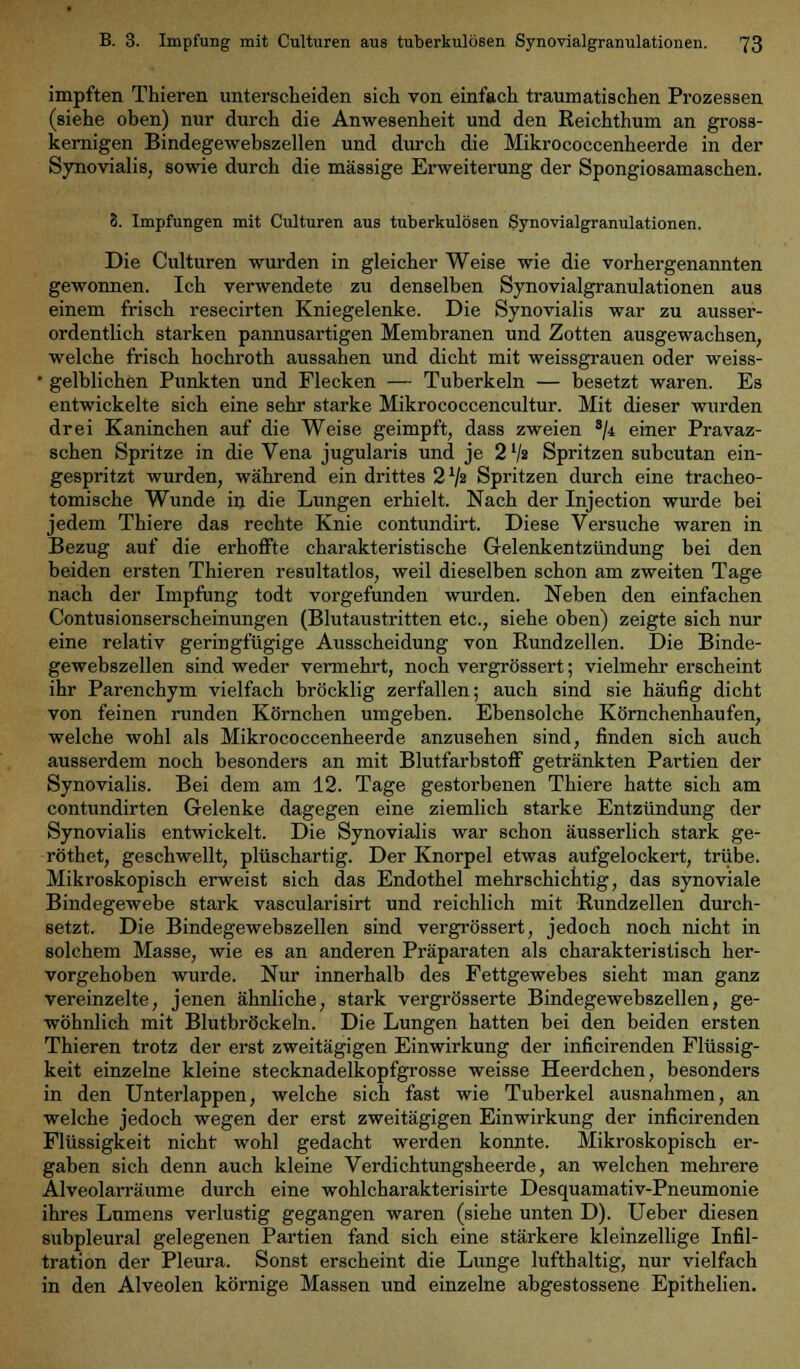 impften Thieren unterscheiden sich von einfach traumatischen Prozessen (siehe oben) nur durch die Anwesenheit und den Reichthum an gross- kernigen Bindegewebszellen und durch die Mikrococcenheerde in der Synovialis, sowie durch die massige Erweiterung der Spongiosamaschen. 8. Impfungen mit Culturen aus tuberkulösen Synovialgranulationen. Die Culturen wurden in gleicher Weise wie die vorhergenannten gewonnen. Ich verwendete zu denselben Synovialgranulationen aus einem frisch resecirten Kniegelenke. Die Synovialis war zu ausser- ordentlich starken pannusartigen Membranen und Zotten ausgewachsen, welche frisch hochroth aussahen und dicht mit weissgrauen oder weiss- • gelblichen Punkten und Flecken — Tuberkeln — besetzt waren. Es entwickelte sich eine sehr starke Mikrococcencultur. Mit dieser wurden drei Kaninchen auf die Weise geimpft, dass zweien 3/<i einer Pravaz- schen Spritze in die Vena jugularis und je 2 '/a Spritzen subcutan ein- gespritzt wurden, während ein drittes 2 V2 Spritzen durch eine tracheo- tomische Wunde in die Lungen erhielt. Nach der Injection wurde bei jedem Thiere das rechte Knie contundirt. Diese Versuche waren in Bezug auf die erhoffte charakteristische Gelenkentzündung bei den beiden ersten Thieren resultatlos, weil dieselben schon am zweiten Tage nach der Impfung todt vorgefunden wurden. Neben den einfachen Contusionserscheinungen (Blutaustritten etc., siehe oben) zeigte sich nur eine relativ geringfügige Ausscheidung von Rundzellen. Die Binde- gewebszellen sind weder vermehrt, noch vergrössert; vielmehr erscheint ihr Parenchym vielfach bröcklig zerfallen; auch sind sie häufig dicht von feinen runden Körnchen umgeben. Ebensolche Körnchenhaufen, welche wohl als Mikrococcenheerde anzusehen sind, finden sich auch ausserdem noch besonders an mit Blutfarbstoff getränkten Partien der Synovialis. Bei dem am 12. Tage gestorbenen Thiere hatte sich am contundirten Gelenke dagegen eine ziemlich starke Entzündung der Synovialis entwickelt. Die Synovialis war schon äusserlich stark ge- röthet, geschwellt, plüschartig. Der Knorpel etwas aufgelockert, trübe. Mikroskopisch erweist sich das Endothel mehrschichtig, das synoviale Bindegewebe stark vascularisirt und reichlich mit Rundzellen durch- setzt. Die Bindegewebszellen sind vergrössert, jedoch noch nicht in solchem Masse, wie es an anderen Präparaten als charakteristisch her- vorgehoben wurde. Nur innerhalb des Fettgewebes sieht man ganz vereinzelte, jenen ähnliche, stark vergrösserte Bindegewebszellen, ge- wöhnlich mit Blutbröckeln. Die Lungen hatten bei den beiden ersten Thieren trotz der erst zweitägigen Einwirkung der inficirenden Flüssig- keit einzelne kleine stecknadelkopfgrosse weisse Heerdchen, besonders in den Unterlappen, welche sich fast wie Tuberkel ausnahmen, an welche jedoch wegen der erst zweitägigen Einwirkung der inficirenden Flüssigkeit nicht wohl gedacht werden konnte. Mikroskopisch er- gaben sich denn auch kleine Verdichtungsheerde, an welchen mehrere Alveolarräume durch eine wohlcharakterisirte Desquamativ-Pneumonie ihres Lumens verlustig gegangen waren (siehe unten D). Ueber diesen subpleural gelegenen Partien fand sich eine stärkere kleinzellige Infil- tration der Pleura. Sonst erscheint die Lunge lufthaltig, nur vielfach in den Alveolen körnige Massen und einzelne abgestossene Epithelien.