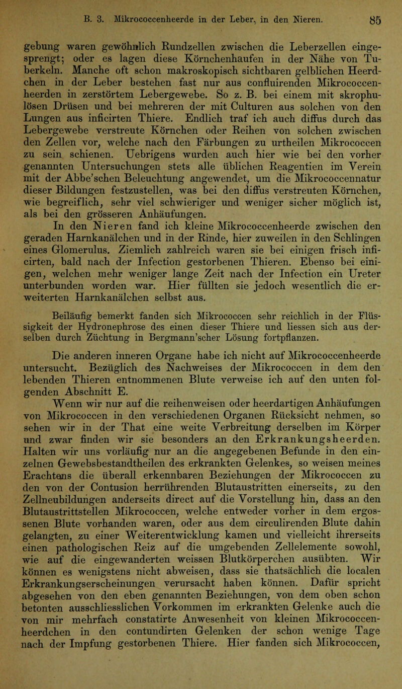 gebung waren gewöhnlich Rundzellen zwischen die Leberzellen einge- sprengt; oder es lagen diese Körnchenhaufen in der Nähe von Tu- berkeln. Manche oft schon makroskopisch sichtbaren gelblichen Heerd- chen in der Leber bestehen fast nur aus confluirenden Mikrococcen- heerden in zerstörtem Lebergewebe. So z. B. bei einem mit skrophu- lösen Drüsen und bei mehreren der mit Culturen aus solchen von den Lungen aus inficirten Thiere. Endlich traf ich auch diffus durch das Lebergewebe verstreute Körnchen oder Reihen von solchen zwischen den Zellen vor, welche nach den Färbungen zu urtheilen Mikrococcen zu sein schienen. Uebrigens wurden auch hier wie bei den vorher genannten Untersuchungen stets alle üblichen Reagentien im Verein mit der Abbe'schen Beleuchtung angewendet, um die Mikrococcennatur dieser Bildungen festzustellen, was bei den diffus verstreuten Körnchen, wie begreiflich, sehr viel schwieriger und weniger sicher möglich ist, als bei den grösseren Anhäufungen. In den Nieren fand ich kleine Mikrococcenheerde zwischen den geraden HarnkaDälchen und in der Rinde, hier zuweilen in den Schlingen eines Glomerulus. Ziemlich zahlreich waren sie bei einigen frisch infi- cirten, bald nach der Infection gestorbenen Thieren. Ebenso bei eini- gen, welchen mehr weniger lange Zeit nach der Infection ein Ureter unterbunden worden war. Hier füllten sie jedoch wesentlich die er- weiterten Harnkanälchen selbst aus. Beiläufig bemerkt fanden sich Mikrococcen sehr reichlich in der Flüs- sigkeit der Hydronephrose des einen dieser Thiere und Hessen sich aus der- selben durch Züchtung in Bergmann'scher Lösung fortpflanzen. Die anderen inneren Organe habe ich nicht auf Mikrococcenheerde untersucht. Bezüglich des Nachweises der Mikrococcen in dem den lebenden Thieren entnommenen Blute verweise ich auf den unten fol- genden Abschnitt E. Wenn wir nur auf die reihenweisen oder heerdartigen Anhäufungen von Mikrococcen in den verschiedenen Organen Rücksicht nehmen, so sehen wir in der That eine weite Verbreitung derselben im Körper und zwar finden wir sie besonders an den Erkrankungsheerden. Halten wir uns vorläufig nur an die angegebenen Befunde in den ein- zelnen Gewebsbestandtheilen des erkrankten Gelenkes, so weisen meines Erachtens die überall erkennbaren Beziehungen der Mikrococcen zu den von der Contusion herrührenden Blutaustritten einerseits, zu den Zellneubildungen anderseits direct auf die Vorstellung hin, dass an den Blutaustrittstellen Mikrococcen, welche entweder vorher in dem ergos- senen Blute vorhanden waren, oder aus dem circulirenden Blute dahin gelangten, zu einer Weiterentwicklung kamen und vielleicht ihrerseits einen pathologischen Reiz auf die umgebenden Zellelemente sowohl, wie auf die eingewanderten weissen Blutkörperchen ausübten. Wir können es wenigstens nicht abweisen, dass sie thatsächlich die localen Erkrankungserscheinungen verursacht haben können. Dafür spricht abgesehen von den eben genannten Beziehungen, von dem oben schon betonten ausschliesslichen Vorkommen im erkrankten Gelenke auch die von mir mehrfach constatirte Anwesenheit von kleinen Mikrococcen- heerdchen in den contundirten Gelenken der schon wenige Tage nach der Impfung gestorbenen Thiere. Hier fanden sich Mikrococcen,