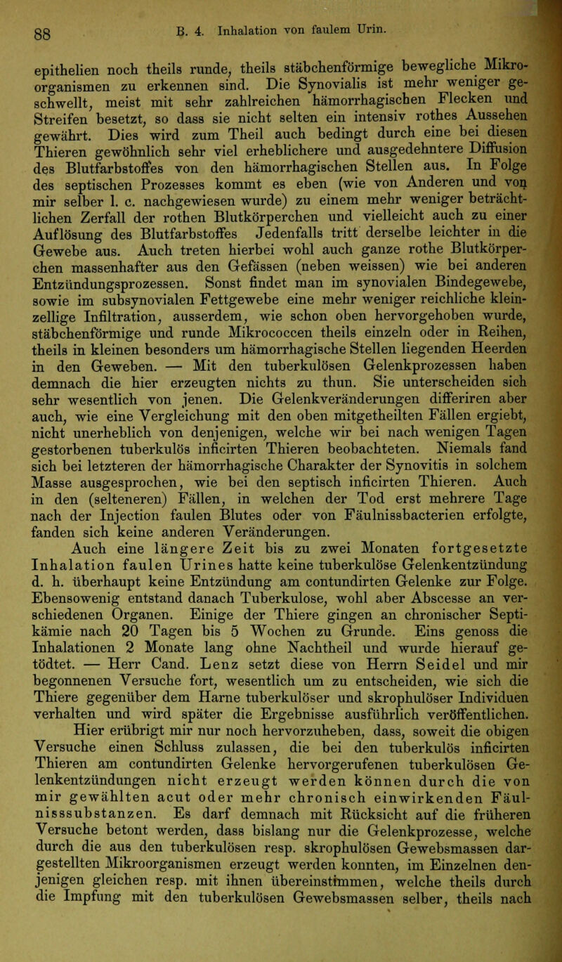 gg B. 4. Inhalation von faulem Urin. epithelien noch theils runde, theils stäbchenförmige bewegliche Mikro- organismen zu erkennen sind. Die Synovialis ist mehr weniger ge- schwellt, meist mit sehr zahlreichen hämorrhagischen Flecken und Streifen besetzt, so dass sie nicht selten ein intensiv rothes Aussehen gewährt. Dies wird zum Theil auch bedingt durch eine bei diesen Thieren gewöhnlich sehr viel erheblichere und ausgedehntere Diffusion des Blutfarbstoffes von den hämorrhagischen Stellen aus. In Folge des septischen Prozesses kommt es eben (wie von Anderen und von mir selber 1. c. nachgewiesen wurde) zu einem mehr weniger beträcht- lichen Zerfall der rothen Blutkörperchen und vielleicht auch zu einer Auflösung des Blutfarbstoffes Jedenfalls tritt derselbe leichter in die Gewebe aus. Auch treten hierbei wohl auch ganze rothe Blutkörper- chen massenhafter aus den Gefässen (neben weissen) wie bei anderen Entzündungsprozessen. Sonst findet man im synovialen Bindegewebe, sowie im subsynovialen Fettgewebe eine mehr weniger reichliche klein- zellige Infiltration, ausserdem, wie schon oben hervorgehoben wurde, stäbchenförmige und runde Mikrococcen theils einzeln oder in Reihen, theils in kleinen besonders um hämorrhagische Stellen liegenden Heerden in den Geweben. — Mit den tuberkulösen Gelenkprozessen haben demnach die hier erzeugten nichts zu thun. Sie unterscheiden sich sehr wesentlich von jenen. Die Gelenkveränderungen differiren aber auch, wie eine Vergleichung mit den oben mitgetheilten Fällen ergiebt, nicht unerheblich von denjenigen, welche wir bei nach wenigen Tagen gestorbenen tuberkulös inficirten Thieren beobachteten. Niemals fand sich bei letzteren der hämorrhagische Charakter der Synovitis in solchem Masse ausgesprochen, wie bei den septisch inficirten Thieren. Auch in den (selteneren) Fällen, in welchen der Tod erst mehrere Tage nach der Injection faulen Blutes oder von Fäulnissbacterien erfolgte, fanden sich keine anderen Veränderungen. Auch eine längere Zeit bis zu zwei Monaten fortgesetzte Inhalation faulen Urines hatte keine tuberkulöse Gelenkentzündung d. h. überhaupt keine Entzündung am contundirten Gelenke zur Folge. Ebensowenig entstand danach Tuberkulose, wohl aber Abscesse an ver- schiedenen Organen. Einige der Thiere gingen an chronischer Septi- kämie nach 20 Tagen bis 5 Wochen zu Grunde. Eins genoss die Inhalationen 2 Monate lang ohne Nachtheil und wurde hierauf ge- tödtet. — Herr Cand. Lenz setzt diese von Herrn Seidel und mir begonnenen Versuche fort, wesentlich um zu entscheiden, wie sich die Thiere gegenüber dem Harne tuberkulöser und skrophulöser Individuen verhalten und wird später die Ergebnisse ausführlich veröffentlichen. Hier erübrigt mir nur noch hervorzuheben, dass, soweit die obigen Versuche einen Schluss zulassen, die bei den tuberkulös inficirten Thieren am contundirten Gelenke hervorgerufenen tuberkulösen Ge- lenkentzündungen nicht erzeugt werden können durch die von mir gewählten acut oder mehr chronisch einwirkenden Fäul- nisssubstanzen. Es darf demnach mit Rücksicht auf die früheren Versuche betont werden, dass bislang nur die Gelenkprozesse, welche durch die aus den tuberkulösen resp. skrophulösen Gewebsmassen dar- gestellten Mikroorganismen erzeugt werden konnten, im Einzelnen den- jenigen gleichen resp. mit ihnen übereinstimmen, welche theils durch die Impfung mit den tuberkulösen Gewebsmassen selber, theils nach