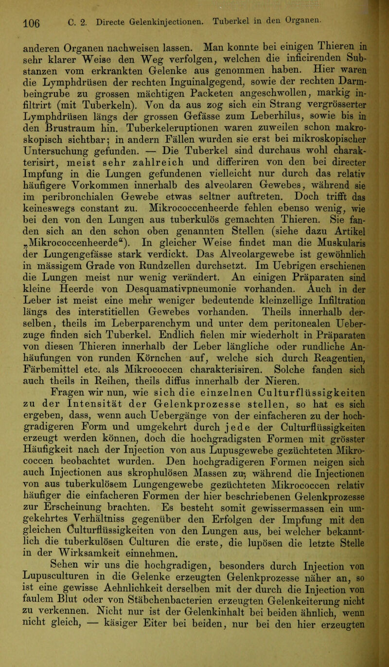anderen Organen nachweisen lassen. Man konnte bei einigen Thieren in sehr klarer Weise den Weg verfolgen, welchen die inficirenden Sub- stanzen vom erkrankten Gelenke aus genommen haben. Hier waren die Lymphdrüsen der rechten Inguinalgegend, sowie der rechten Darm- beingrube zu grossen mächtigen Packeten angeschwollen, markig in- filtrirt (mit Tuberkeln). Von da aus zog sich ein Strang vergrößerter Lymphdrüsen längs der grossen Gefässe zum Leberhilus, sowie bis in den Brustraum hin. Tuberkeleruptionen waren zuweilen schon makro- skopisch sichtbar; in andern Fällen wurden sie erst bei mikroskopischer Untersuchung gefunden. — Die Tuberkel sind durchaus wohl charak- terisirt, meist sehr zahlreich und differiren von den bei directer Impfung in die Lungen gefundenen vielleicht nur durch das relativ häufigere Vorkommen innerhalb des alveolaren Gewebes, während sie im peribronchialen Gewebe etwas seltner auftreten. Doch trifft das keineswegs constant zu. Mikrococcenheerde fehlen ebenso wenig, wie bei den von den Lungen aus tuberkulös gemachten Thieren. Sie fan- den sich an den schon oben genannten Stellen (siehe dazu Artikel „Mikrococcenheerde). In gleicher Weise findet man die Muskularis der Lungengefässe stark verdickt. Das Alveolargewebe ist gewöhnlich in massigem Grade von Rundzellen durchsetzt. Im Uebrigen erschienen die Lungen meist nur wenig verändert. An einigen Präparaten sind kleine Heerde von Desquamativpneumonie vorhanden. Auch in der Leber ist meist eine mehr weniger bedeutende kleinzellige Infiltration längs des interstitiellen Gewebes vorhanden. Theils innerhalb der- selben, theils im Leberparenchym und unter dem peritonealen Ueber- zuge finden sich Tuberkel. Endlich fielen mir wiederholt in Präparaten von diesen Thieren innerhalb der Leber längliche oder rundliche An- häufungen von runden Körnchen auf, welche sich durch Reagentien, Färbemittel etc. als Mikrococcen charakterisiren. Solche fanden sich auch theils in Reihen, theils diffus innerhalb der Nieren. Fragen wir nun, wie sich die einzelnen Culturflüssigkeiten zu der Intensität der Gelenkprozesse stellen, so hat es sich ergeben, dass, wenn auch Uebergänge von der einfacheren zu der hoch- gradigeren Formund umgekehrt durch jede der Culturflüssigkeiten erzeugt werden können, doch die hochgradigsten Formen mit grösster Häufigkeit nach der Injection von aus Lupusgewebe gezüchteten Mikro- coccen beobachtet wurden. Den hochgradigeren Formen neigen sich auch Injectionen aus skrophulösen Massen zu-, während die Injectionen von aus tuberkulösem Lungengewebe gezüchteten Mikrococcen relativ häufiger die einfacheren Formen der hier beschriebenen Gelenkprozesse zur Erscheinung brachten. Es besteht somit gewissermassen ein um- gekehrtes Verhältniss gegenüber den Erfolgen der Impfung mit den gleichen Culturflüssigkeiten von den Lungen aus, bei welcher bekannt- lich die tuberkulösen Culturen die erste, die lupösen die letzte Stelle in der Wirksamkeit einnehmen. Sehen wir uns die hochgradigen, besonders durch Injection von Lupusculturen in die Gelenke erzeugten Gelenkprozesse näher an, so ist eine gewisse Aehnlichkeit derselben mit der durch die Injection von faulem Blut oder von Stäbchenbacterien erzeugten Gelenkeiterung nicht zu verkennen. Nicht nur ist der Gelenkinhalt bei beiden ähnlich, wenn nicht gleich, — käsiger Eiter bei beiden, nur bei den hier erzeugten