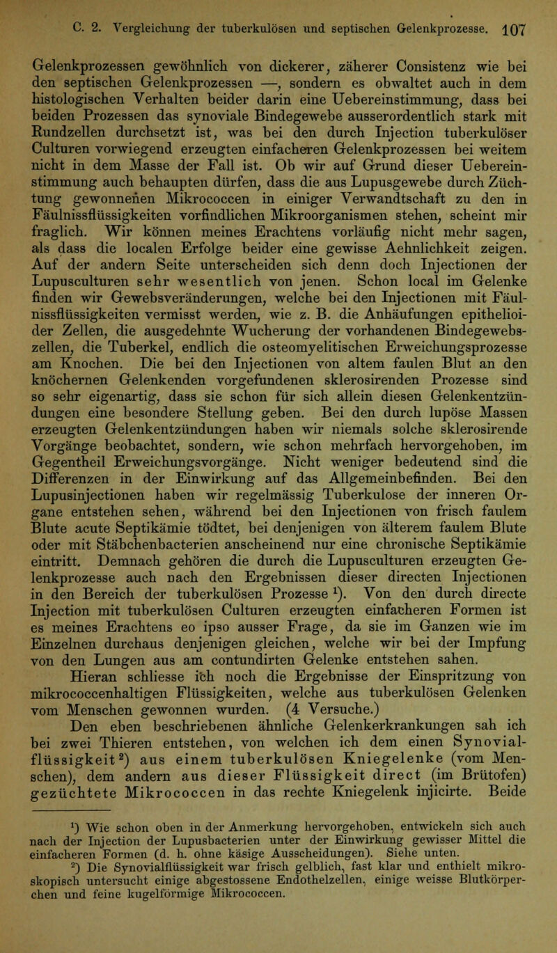 Gelenkprozessen gewöhnlich von dickerer, zäherer Consistenz wie bei den septischen Gelenkprozessen —, sondern es obwaltet auch in dem histologischen Verhalten beider darin eine Uebereinstimmung, dass bei beiden Prozessen das synoviale Bindegewebe ausserordentlich stark mit Rundzellen durchsetzt ist, was bei den durch Injection tuberkulöser Culturen vorwiegend erzeugten einfacheren Gelenkprozessen bei weitem nicht in dem Masse der Fall ist. Ob wir auf Grund dieser Ueberein- stimmung auch behaupten dürfen, dass die aus Lupusgewebe durch Züch- tung gewonnenen Mikrococcen in einiger Verwandtschaft zu den in Fäulnissflüssigkeiten vorfindlichen Mikroorganismen stehen, scheint mir fraglich. Wir können meines Erachtens vorläufig nicht mehr sagen, als dass die localen Erfolge beider eine gewisse Aehnlichkeit zeigen. Auf der andern Seite unterscheiden sich denn doch Injectionen der Lupusculturen sehr wesentlich von jenen. Schon local im Gelenke finden wir Gewebsveränderungen, welche bei den Injectionen mit Fäul- nissflüssigkeiten vermisst werden, wie z. B. die Anhäufungen epithelioi- der Zellen, die ausgedehnte Wucherung der vorhandenen Bindegewebs- zellen, die Tuberkel, endlich die osteomyelitischen Erweichungsprozesse am Knochen. Die bei den Injectionen von altem faulen Blut an den knöchernen Gelenkenden vorgefundenen sklerosirenden Prozesse sind so sehr eigenartig, dass sie schon für sich allein diesen Gelenkentzün- dungen eine besondere Stellung geben. Bei den durch lupöse Massen erzeugten Gelenkentzündungen haben wir niemals solche sklerosirende Vorgänge beobachtet, sondern, wie schon mehrfach hervorgehoben, im Gegentheil Erweichungsvorgänge. Nicht weniger bedeutend sind die Differenzen in der Einwirkung auf das Allgemeinbefinden. Bei den Lupusinjectionen haben wir regelmässig Tuberkulose der inneren Or- gane entstehen sehen, während bei den Injectionen von frisch faulem Blute acute Septikämie tödtet, bei denjenigen von älterem faulem Blute oder mit Stäbchenbacterien anscheinend nur eine chronische Septikämie eintritt. Demnach gehören die durch die Lupusculturen erzeugten Ge- lenkprozesse auch Dach den Ergebnissen dieser directen Injectionen in den Bereich der tuberkulösen Prozesse 1). Von den durch directe Injection mit tuberkulösen Culturen erzeugten einfacheren Formen ist es meines Erachtens eo ipso ausser Frage, da sie im Ganzen wie im Einzelnen durchaus denjenigen gleichen, welche wir bei der Impfung von den Lungen aus am contundirten Gelenke entstehen sahen. Hieran schliesse ich noch die Ergebnisse der Einspritzung von mikrococcenhaltigen Flüssigkeiten, welche aus tuberkulösen Gelenken vom Menschen gewonnen wurden. (4 Versuche.) Den eben beschriebenen ähnliche Gelenkerkrankungen sah ich bei zwei Thieren entstehen, von welchen ich dem einen Synovial- flüssigkeit2) aus einem tuberkulösen Kniegelenke (vom Men- schen), dem andern aus dieser Flüssigkeit direct (im Brütofen) gezüchtete Mikrococcen in das rechte Kniegelenk injicirte. Beide ') Wie schon oben in der Anmerkung hervorgehoben, entwickeln sich auch nach der Injection der Lupusbacterien unter der Einwirkung gewisser Mittel die einfacheren Formen (d. h. ohne käsige Ausscheidungen). Siehe unten. 2) Die Synovialflüssigkeit war frisch gelblich, fast klar und enthielt mikro- skopisch untersucht einige abgestossene Endothelzellen, einige weisse Blutkörper- chen und feine kugelförmige Mikrococcen.