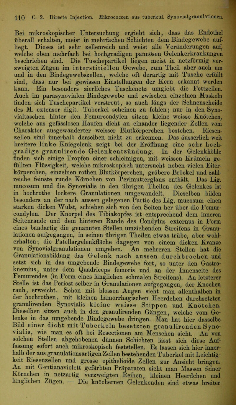 HO C- 2. Directe Injeotion. Mikrococcen aus tuberkul. Synovialgranulationen. Bei mikroskopischer Untersuchung ergiebt sich, dass das Endothel überall erhalten, meist in mehrfachen Schichten dem Bindegewebe auf- liegt. Dieses ist sehr zellenreich und weist alle Veränderungen auf, welche oben mehrfach bei hochgradigen pannösen Gelenkerkrankungen beschrieben sind. Die Tuschepartikel liegen meist in netzförmig ver- zweigten Zügen im interstitiellen Gewebe, zum Theil aber auch um und in den Bindegewebszellen, welche oft derartig mit Tusche erfüllt sind, dass nur bei gewissen Einstellungen der Kern erkannt werden kann. Ein besonders zierliches Tuschenetz umgiebt die Fettzellen. Auch im parasynovialen Bindegewebe und zwischen einzelnen Muskeln finden sich Tuschepartikel verstreut, so auch längs der Sehnenscheide des M. extensor digit. Tuberkel scheinen zu fehlen; nur in den Syno- vialtaschen hinter den Femurcondylen sitzen kleine weisse Knötchen, welche aus gefässlosen Haufen dicht an einander liegender Zellen vom Charakter ausgewanderter weisser Blutkörperchen bestehen. Riesen- zellen sind innerhalb derselben nicht zu erkennen. Das äusserlich weit breitere linke Kniegelenk zeigt bei der Eröffnung eine sehr hoch- gradige granulirende Gelenkentzündung. In der Gelenkhöhle finden sich einige Tropfen einer schleimigen, mit weissen Krümeln ge- füllten Flüssigkeit, welche mikroskopisch untersucht neben vielen Eiter- körperchen, einzelnen rothen Blutkörperchen, gröbere Bröckel und zahl- reiche feinste runde Körnchen von Perlmutterglanz enthält. Das Lig. mucosum und die Synovialis in den übrigen Theilen des Gelenkes ist in hochrothe lockere Granulationen umgewandelt. Dieselben bilden besonders an der nach aussen gelegenen Partie des Lig. mucosum einen starken dicken Wulst, schieben sich von den Seiten her über die Femur- condylen. Der Knorpel des Tibiakopfes ist entsprechend dem inneren Seitenrande und dem hinteren Rande des Condylus externus in Form eines bandartig die genannten Stellen umziehenden Streifens in Granu- lationen aufgegangen, in seinen übrigen Theilen etwas trübe, aber wohl- erhalten; die Patellargelenkfläche dagegen von einem dicken Kranze von Synovialgranulationen umgeben. An mehreren Stellen hat die Granulationsbildung das Gelenk nach aussen durchbrochen und setzt sich in das umgebende Bindegewebe fort, so unter den Gastro- knemius, unter dem Quadriceps femoris und an der Innenseite des Femurendes (in Form eines länglichen schmalen Streifens). An letzterer Stelle ist das Periost selber in Granulationen aufgegangen, der Knochen rauh, erweicht. Schon mit blossen Augen sieht man allenthalben in der hochrothen, mit kleinen hämorrhagischen Heerdchen durchsetzten granulirenden Synovialis kleine weisse Stippen und Knötchen. Dieselben sitzen auch in den granulirenden Gängen, welche vom Ge- lenke in das umgebende Bindegewebe dringen. Man hat hier dasselbe Bild einer dicht mit Tuberkeln besetzten granulirenden Syno- vialis, wie man es oft bei Resectionen am Menschen sieht. An von solchen Stellen abgehobenen dünnen Schichten lässt sich diese Auf- fassung sofort auch mikroskopisch feststellen. Es lassen sich hier inner- halb der aus granulationsartigen Zellen bestehenden Tuberkel mit Leichtig- keit Riesenzellen und grosse epithelioide Zellen zur Ansicht bringen. An mit Gentianaviolett gefärbten Präparaten sieht man Massen feiner Körnchen in netzartig verzweigten Reihen, kleinen Heerdchen und länglichen Zügen. — Die knöchernen Gelenkenden sind etwas breiter