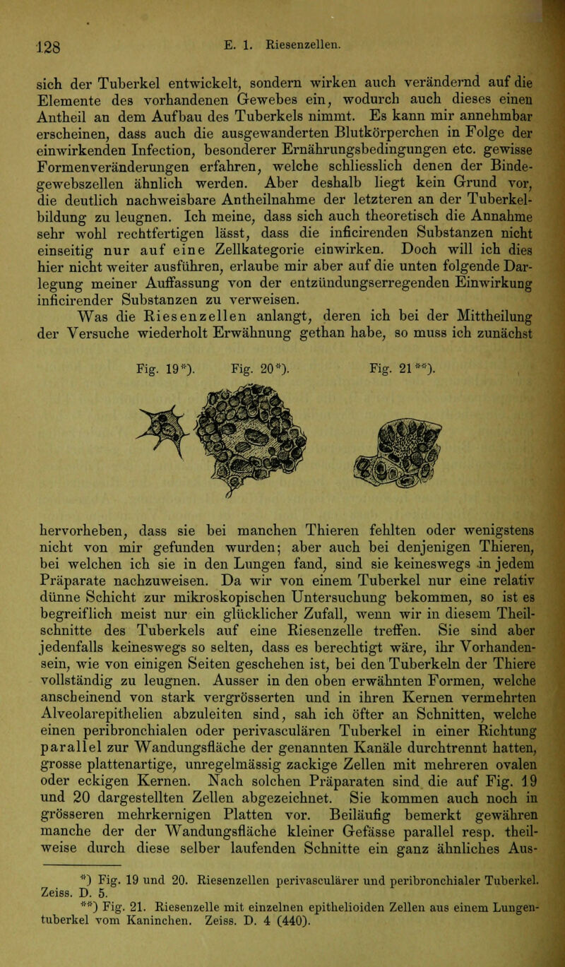 J 2Q E. 1. Riesenzellen. sich der Tuberkel entwickelt, sondern wirken auch verändernd auf die Elemente des vorhandenen Gewebes ein, wodurch auch dieses einen Antheil an dem Aufbau des Tuberkels nimmt. Es kann mir annehmbar erscheinen, dass auch die ausgewanderten Blutkörperchen in Folge der einwirkenden Infection, besonderer Ernährungsbedingungen etc. gewisse Formenveränderungen erfahren, welche schliesslich denen der Binde- gewebszellen ähnlich werden. Aber deshalb liegt kein Grund vor, die deutlich nachweisbare Antheilnahme der letzteren an der Tuberkel- bildung zu leugnen. Ich meine, dass sich auch theoretisch die Annahme sehr wohl rechtfertigen lässt, dass die inficirenden Substanzen nicht einseitig nur auf eine Zellkategorie einwirken. Doch will ich dies hier nicht weiter ausführen, erlaube mir aber auf die unten folgende Dar- legung meiner Auffassung von der entzündungserregenden Einwirkung inficirender Substanzen zu verweisen. Was die Riesenzeilen anlangt, deren ich bei der Mittheilung der Versuche wiederholt Erwähnung gethan habe, so muss ich zunächst Fig. 19*)- Fig- 20*)- Fig. 21 **). hervorheben, dass sie bei manchen Thieren fehlten oder wenigstens nicht von mir gefunden wurden; aber auch bei denjenigen Thieren, bei welchen ich sie in den Lungen fand, sind sie keineswegs in jedem Präparate nachzuweisen. Da wir von einem Tuberkel nur eine relativ dünne Schicht zur mikroskopischen Untersuchung bekommen, so ist es begreiflich meist nur ein glücklicher Zufall, wenn wir in diesem Theil- schnitte des Tuberkels auf eine Riesenzelle treffen. Sie sind aber jedenfalls keineswegs so selten, dass es berechtigt wäre, ihr Vorhanden- sein, wie von einigen Seiten geschehen ist, bei den Tuberkeln der Thiere vollständig zu leugnen. Ausser in den oben erwähnten Formen, welche anscheinend von stark vergrösserten und in ihren Kernen vermehrten Alveolarepithelien abzuleiten sind, sah ich öfter an Schnitten, welche einen peribronchialen oder perivasculären Tuberkel in einer Richtung parallel zur Wandungsfläche der genannten Kanäle durchtrennt hatten, grosse plattenartige, unregelmässig zackige Zellen mit mehreren ovalen oder eckigen Kernen. Nach solchen Präparaten sind die auf Fig. 19 und 20 dargestellten Zellen abgezeichnet. Sie kommen auch noch in grösseren mehrkernigen Platten vor. Beiläufig bemerkt gewähren manche der der Wandungsfläche kleiner Gefässe parallel resp. theil- weise durch diese selber laufenden Schnitte ein ganz ähnliches Aus- *) Fig. 19 und 20. Riesenzellen perivasculärer und peribronchialer Tuberkel. Zeiss. D. 5. **) Fig. 21. Riesenzelle mit einzelnen epithelioiden Zellen aus einem Lungen-