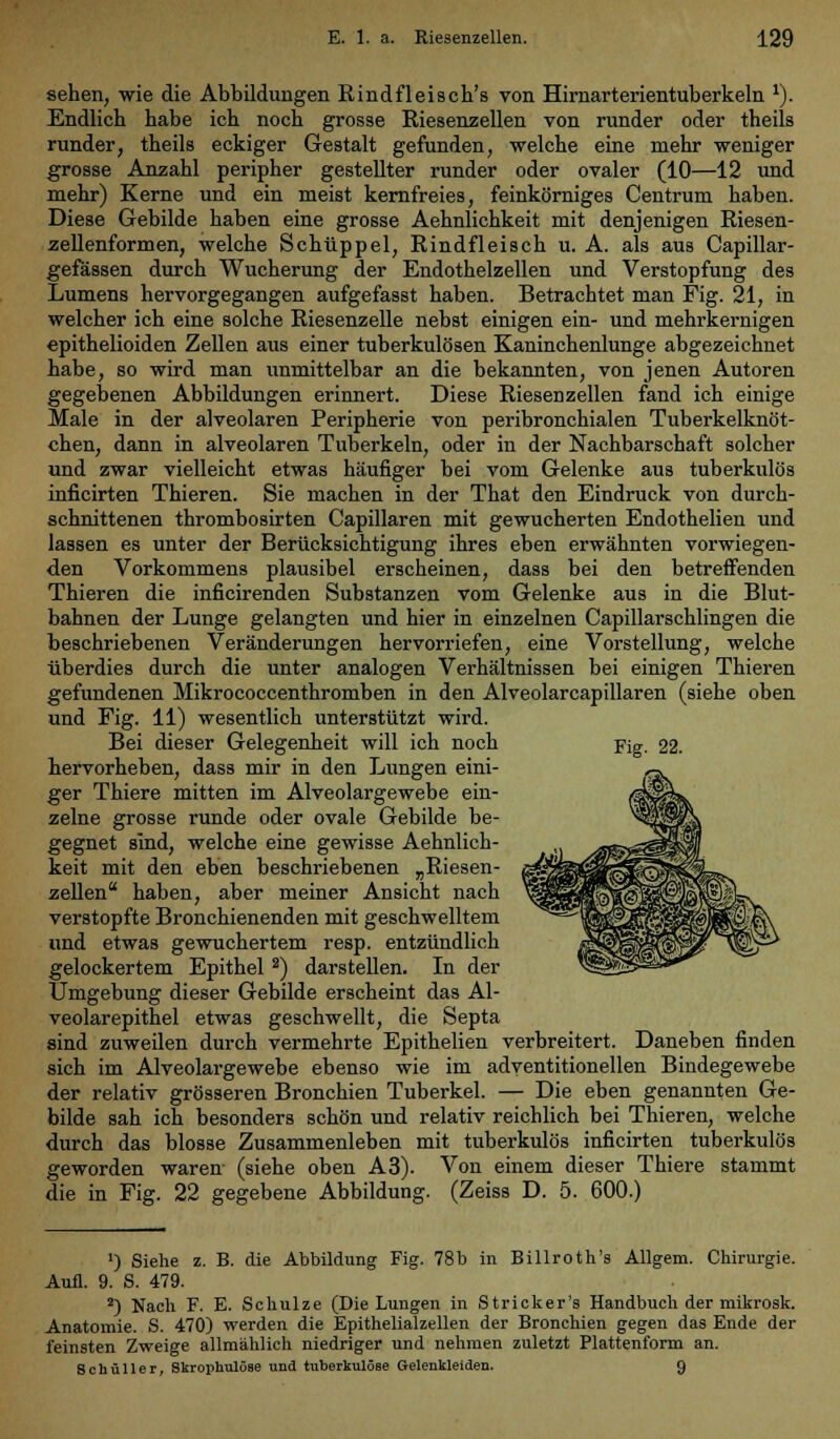 sehen, wie die Abbildungen Rindfleisch's von Hirnarterientuberkeln 1). Endlich habe ich noch grosse Riesenzellen von runder oder theils runder, theils eckiger Gestalt gefunden, welche eine mehr weniger grosse Anzahl peripher gestellter runder oder ovaler (10—12 und mehr) Kerne und ein meist kernfreies, feinkörniges Centrum haben. Diese Gebilde haben eine grosse Aehnlichkeit mit denjenigen Riesen- zellenformen, welche Schüppel, Rindfleisch u. A. als aus Capillar- gefässen durch Wucherung der Endothelzellen und Verstopfung des Lumens hervorgegangen aufgefasst haben. Betrachtet man Fig. 21, in welcher ich eine solche Riesenzelle nebst einigen ein- und mehrkernigen epithelioiden Zellen aus einer tuberkulösen Kaninchenlunge abgezeichnet habe, so wird man unmittelbar an die bekannten, von jenen Autoren gegebenen Abbildungen erinnert. Diese Rieseiizellen fand ich einige Male in der alveolaren Peripherie von peribronchialen Tuberkelknöt- chen, dann in alveolaren Tuberkeln, oder in der Nachbarschaft solcher und zwar vielleicht etwas häufiger bei vom Gelenke aus tuberkulös inficirten Thieren. Sie machen in der That den Eindruck von durch- schnittenen thrombosirten Capillaren mit gewucherten Endothelien und lassen es unter der Berücksichtigung ihres eben erwähnten vorwiegen- den Vorkommens plausibel erscheinen, dass bei den betreffenden Thieren die inficirenden Substanzen vom Gelenke aus in die Blut- bahnen der Lunge gelangten und hier in einzelnen Capillarschlingen die beschriebenen Veränderungen hervorriefen, eine Vorstellung, welche überdies durch die unter analogen Verhältnissen bei einigen Thieren gefundenen Mikrococcenthromben in den Alveolarcapillaren (siehe oben und Fig. 11) wesentlich unterstützt wird. Bei dieser Gelegenheit will ich noch Fig. 22. hervorheben, dass mir in den Lungen eini- ger Thiere mitten im Alveolargewebe ein- zelne grosse runde oder ovale Gebilde be- gegnet sind, welche eine gewisse Aehnlich- keit mit den eben beschriebenen „Riesen- zellen haben, aber meiner Ansicht nach verstopfte Bronchienenden mit geschwelltem und etwas gewuchertem resp. entzündlich gelockertem Epithel2) darstellen. In der Umgebung dieser Gebilde erscheint das Al- veolarepithel etwas geschwellt, die Septa sind zuweilen durch vermehrte Epithelien verbreitert. Daneben finden sich im Alveolargewebe ebenso wie im adventitionellen Bindegewebe der relativ grösseren Bronchien Tuberkel. — Die eben genannten Ge- bilde sah ich besonders schön und relativ reichlich bei Thieren, welche durch das blosse Zusammenleben mit tuberkulös inficirten tuberkulös geworden waren (siehe oben A3). Von einem dieser Thiere stammt die in Fig. 22 gegebene Abbildung. (Zeiss D. 5. 600.) ') Siehe z. B. die Abbildung Fig. 78b in Billroth's Allgem. Chirurgie. Aufl. 9. S. 479. 2) Nach F. E. Schulze (Die Lungen in Stricker's Handbuch der mikrosk. Anatomie. S. 470) werden die Epithelialzellen der Bronchien gegen das Ende der feinsten Zweige allmählich niedriger und nehmen zuletzt Plattenform an. Schüller, Skrophulöse und tuberkulöse Gelenkleiden. 9