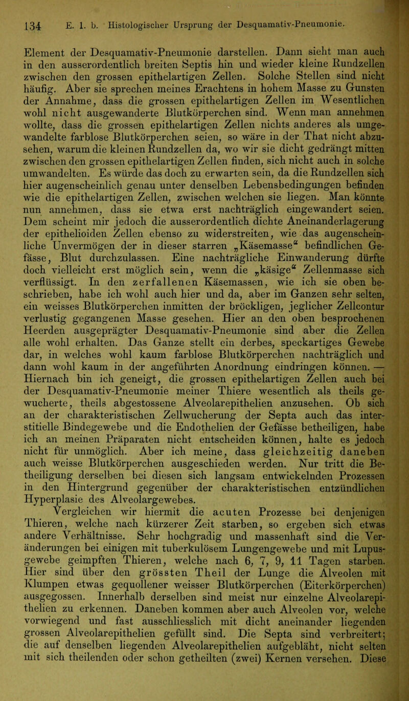 Element der Desquamativ-Pneumonie darstellen. Dann sieht man auch in den ausserordentlich breiten Septis hin und wieder kleine Rundzellen zwischen den grossen epithelartigen Zellen. Solche Stellen sind nicht häufig. Aber sie sprechen meines Erachtens in hohem Masse zu Gunsten der Annahme, dass die grossen epithelartigen Zellen im Wesentlichen wohl nicht ausgewanderte Blutkörperchen sind. Wenn man annehmen wollte, dass die grossen epithelartigen Zellen nichts anderes als umge- wandelte farblose Blutkörperchen seien, so wäre in der That nicht abzu- sehen, warum die kleinen Rundzellen da, wo wir sie dicht gedrängt mitten zwischen den grossen epithelartigen Zellen finden, sich nicht auch in solche umwandelten. Es würde das doch zu erwarten sein, da die Rundzellen sich hier augenscheinlich genau unter denselben Lebensbedingungen befinden wie die epithelartigen Zellen, zwischen welchen sie liegen. Man könnte nun annehmen, dass sie etwa erst nachträglich eingewandert seien. Dem scheint mir jedoch die ausserordentlich dichte Aneinanderlagerung der epithelioiden Zellen ebenso zu widerstreiten, wie das augenschein- liche Unvermögen der in dieser starren „Käsemasse befindlichen Ge- fässe, Blut durchzulassen. Eine nachträgliche Einwanderung dürfte doch vielleicht erst möglich sein, wenn die „käsige Zellenmasse sich verflüssigt. In den zerfallenen Käsemassen, wie ich sie oben be- schrieben, habe ich wohl auch hier und da, aber im Ganzen sehr selten, ein weisses Blutkörperchen inmitten der bröckligen, jeglicher Zellcontur verlustig gegangenen Masse gesehen. Hier an den oben besprochenen Heerden ausgeprägter Desquamativ-Pneumonie sind aber die Zellen alle wohl erhalten. Das Ganze stellt ein derbes, speckartiges Gewebe dar, in welches wohl kaum farblose Blutkörperchen nachträglich und dann wohl kaum in der angeführten Anordnung eindringen können. — Hiernach bin ich geneigt, die grossen epithelartigen Zellen auch bei der Desquamativ-Pneumonie meiner Thiere wesentlich als theils ge- wucherte, theils abgestossene Alveolarepithelien anzusehen. Ob sich an der charakteristischen Zellwucherung der Septa auch das inter- stitielle Bindegewebe und die Endothelien der Gefässe betheiligen, habe ich an meinen Präparaten nicht entscheiden können, halte es jedoch nicht für unmöglich. Aber ich meine, dass gleichzeitig daneben auch weisse Blutkörperchen ausgeschieden werden. Nur tritt die Be- theiligung derselben bei diesen sich langsam entwickelnden Prozessen in den Hintergrund gegenüber der charakteristischen entzündlichen Hyperplasie des Alveolargewebes. Vergleichen wir hiermit die acuten Prozesse bei denjenigen Thieren, welche nach kürzerer Zeit starben, so ergeben sich etwas andere Verhältnisse. Sehr hochgradig und massenhaft sind die Ver- änderungen bei einigen mit tuberkulösem Lungengewebe und mit Lupus- gewebe geimpften Thieren, welche nach 6, 7, 9, 11 Tagen starben. Hier sind über den grössten Theil der Lunge die Alveolen mit Klumpen etwas gequollener weisser Blutkörperchen (Eitcrkörperchen) ausgegossen. Innerhalb derselben sind meist nur einzelne Alveolarepi- thelien zu erkennen. Daneben kommen aber auch Alveolen vor, welche vorwiegend und fast ausschliesslich mit dicht aneinander liegenden grossen Alveolarepithelien gefüllt sind. Die Septa sind verbreitert; die auf denselben liegenden Alveolarepithelien aufgebläht, nicht selten mit sich theilenden oder schon getheilten (zwei) Kernen versehen. Diese