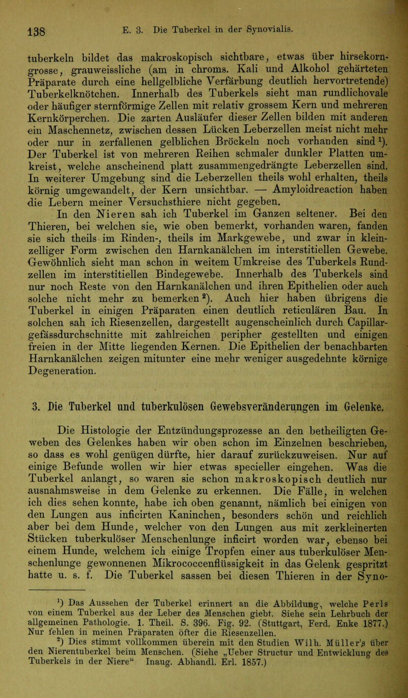tuberkeln bildet das makroskopisch sichtbare, etwas über hirsekorn- grosse, grauweissliche (am in chroms. Kali und Alkohol gehärteten Präparate durch eine hellgelbliche Verfärbung deutlich hervortretende) Tuberkelknötchen. Innerhalb des Tuberkels sieht man rundlichovale oder häufiger sternförmige Zellen mit relativ grossem Kern und mehreren Kernkörperchen. Die zarten Ausläufer dieser Zellen bilden mit anderen ein Maschennetz, zwischen dessen Lücken Leberzellen meist nicht mehr oder nur in zerfallenen gelblichen Bröckeln noch vorhanden sind*). Der Tuberkel ist von mehreren Reihen schmaler dunkler Platten um- kreist, welche anscheinend platt zusammengedrängte Leberzellen sind. In weiterer Umgebung sind die Leberzellen theils wohl erhalten, theils körnig umgewandelt, der Kern unsichtbar. — Amyloidreaction haben die Lebern meiner Versuchsthiere nicht gegeben. In den Nieren sah ich Tuberkel im Ganzen seltener. Bei den Thieren, bei welchen sie, wie oben bemerkt, vorhanden waren, fanden sie sich theils im Rinden-, theils im Markgewebe, und zwar in klein- zelliger Form zwischen den Harnkanälchen im interstitiellen Gewebe. Gewöhnlich sieht man schon in weitem Umkreise des Tuberkels Rund- zellen im interstitiellen Bindegewebe. Innerhalb des Tuberkels sind nur noch Reste von den Harnkanälchen und ihren Epithelien oder auch solche nicht mehr zu bemerken2). Auch hier haben übrigens die Tuberkel in einigen Präparaten einen deutlich reticulären Bau. In solchen sah ich Riesenzellen, dargestellt augenscheinlich durch Capillar- gefässdurchschnitte mit zahlreichen peripher gestellten und einigen freien in der Mitte liegenden Kernen. Die Epithelien der benachbarten Harnkanälchen zeigen mitunter eine mehr weniger ausgedehnte körnige Degeneration. 3. Die Tuberkel und tuberkulösen Gewebsveränderungen im Gelenke. Die Histologie der Entzündungsprozesse an den betheiligten Ge- weben des Gelenkes haben wir oben schon im Einzelnen beschrieben, so dass es wohl genügen dürfte, hier darauf zurückzuweisen. Nur auf einige Befunde wollen wir hier etwas specieller eingehen. Was die Tuberkel anlangt, so waren sie schon makroskopisch deutlich nur ausnahmsweise in dem Gelenke zu erkennen. Die Fälle, in welchen ich dies sehen konnte, habe ich oben genannt, nämlich bei einigen von den Lungen aus inficirten Kaninchen, besonders schön und reichlich aber bei dem Hunde, welcher von den Lungen aus mit zerkleinerten Stücken tuberkulöser Menschenlunge inficirt worden war, ebenso bei einem Hunde, welchem ich einige Tropfen einer aus tuberkulöser Men- schenlunge gewonnenen Mikrococcenflüssigkeit in das Gelenk gespritzt hatte u. s. f. Die Tuberkel sassen bei diesen Thieren in der Syno- ') Das Aussehen der Tuberkel erinnert an die Abbildung, welche Perls von einem Tuberkel aus der Leber des Menschen giebt. Siehe sein Lehrbuch der allgemeinen Pathologie. 1. Theil. S. 396. Fig. 92. (Stuttgart, Ferd. Enke 1877.) Nur fehlen in meinen Präparaten öfter die Riesenzellen. J) Dies stimmt vollkommen überein mit den Studien Wilh. Müller's über den Nierentuberkel beim Menschen. (Siehe „Ueber Structur und Entwicklung des Tuberkels in der Niere Inaug. Abhandl. Erl. 1857.)