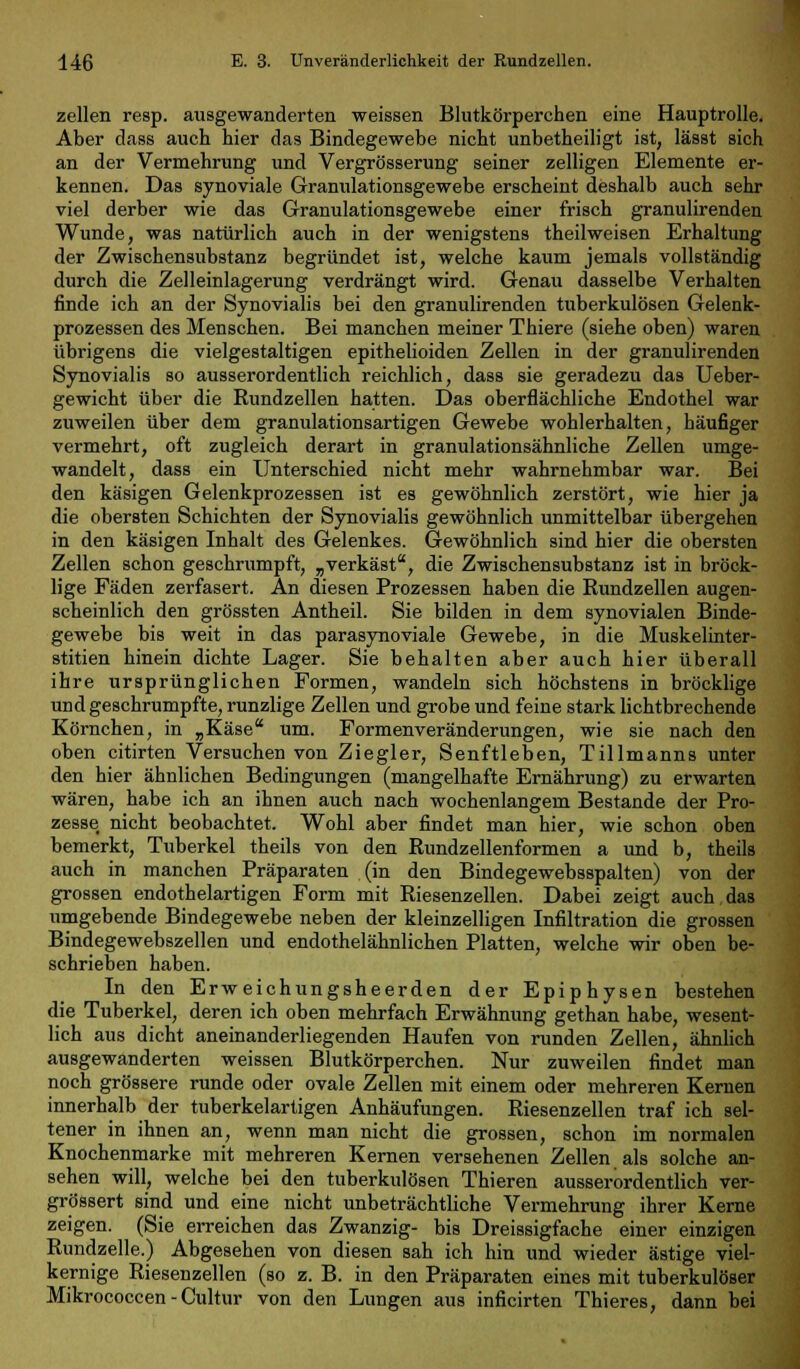 zellen resp. ausgewanderten weissen Blutkörperchen eine Hauptrolle. Aber dass auch hier das Bindegewebe nicht unbetheiligt ist, lässt sich an der Vermehrung und Vergrösserung seiner zelligen Elemente er- kennen. Das synoviale Granulationsgewebe erscheint deshalb auch sehr viel derber wie das Granulationsgewebe einer frisch granulirenden Wunde, was natürlich auch in der wenigstens theilweisen Erhaltung der Zwischensubstanz begründet ist, welche kaum jemals vollständig durch die Zelleinlagerung verdrängt wird. Genau dasselbe Verhalten finde ich an der Synovialis bei den granulirenden tuberkulösen Gelenk- prozessen des Menschen. Bei manchen meiner Thiere (siehe oben) waren übrigens die vielgestaltigen epithelioiden Zellen in der granulirenden Synovialis so ausserordentlich reichlich, dass sie geradezu das Ueber- gewicht über die Rundzellen hatten. Das oberflächliche Endothel war zuweilen über dem granulationsartigen Gewebe wohlerhalten, häufiger vermehrt, oft zugleich derart in granulationsähnliche Zellen umge- wandelt, dass ein Unterschied nicht mehr wahrnehmbar war. Bei den käsigen Gelenkprozessen ist es gewöhnlich zerstört, wie hier ja die obersten Schichten der Synovialis gewöhnlich unmittelbar übergehen in den käsigen Inhalt des Gelenkes. Gewöhnlich sind hier die obersten Zellen schon geschrumpft, „verkäst, die Zwischensubstanz ist in bröck- lige Fäden zerfasert. An diesen Prozessen haben die Rundzellen augen- scheinlich den grössten Antheil. Sie bilden in dem synovialen Binde- gewebe bis weit in das parasynoviale Gewebe, in die Muskelinter- stitien hinein dichte Lager. Sie behalten aber auch hier überall ihre ursprünglichen Formen, wandeln sich höchstens in bröcklige und geschrumpfte, runzlige Zellen und grobe und feine stark lichtbrechende Körnchen, in „Käse um. Formenveränderungen, wie sie nach den oben citirten Versuchen von Ziegler, Senftleben, Tillmanns unter den hier ähnlichen Bedingungen (mangelhafte Ernährung) zu erwarten wären, habe ich an ihnen auch nach wochenlangem Bestände der Pro- zesse, nicht beobachtet. Wohl aber findet man hier, wie schon oben bemerkt, Tuberkel theils von den Rundzellenformen a und b, theils auch in manchen Präparaten (in den Bindegewebsspalten) von der grossen endothelartigen Form mit Riesenzellen. Dabei zeigt auch das umgebende Bindegewebe neben der kleinzelligen Infiltration die grossen Bindegewebszellen und endothelähnlichen Platten, welche wir oben be- schrieben haben. In den Erweichungsheerden der Epiphysen bestehen die Tuberkel, deren ich oben mehrfach Erwähnung gethan habe, wesent- lich aus dicht aneinanderliegenden Haufen von runden Zellen, ähnlich ausgewanderten weissen Blutkörperchen. Nur zuweilen findet man noch grössere runde oder ovale Zellen mit einem oder mehreren Kernen innerhalb der tuberkelartigen Anhäufungen. Riesenzellen traf ich sel- tener in ihnen an, wenn man nicht die grossen, schon im normalen Knochenmarke mit mehreren Kernen versehenen Zellen als solche an- sehen will, welche bei den tuberkulösen Thieren ausserordentlich ver- grössert sind und eine nicht unbeträchtliche Vermehrung ihrer Kerne zeigen. (Sie erreichen das Zwanzig- bis Dreissigfache einer einzigen Rundzelle.) Abgesehen von diesen sah ich hin und wieder ästige viel- kernige Riesenzellen (so z. B. in den Präparaten eines mit tuberkulöser Mikrococcen - Cultur von den Lungen aus inficirten Thieres, dann bei