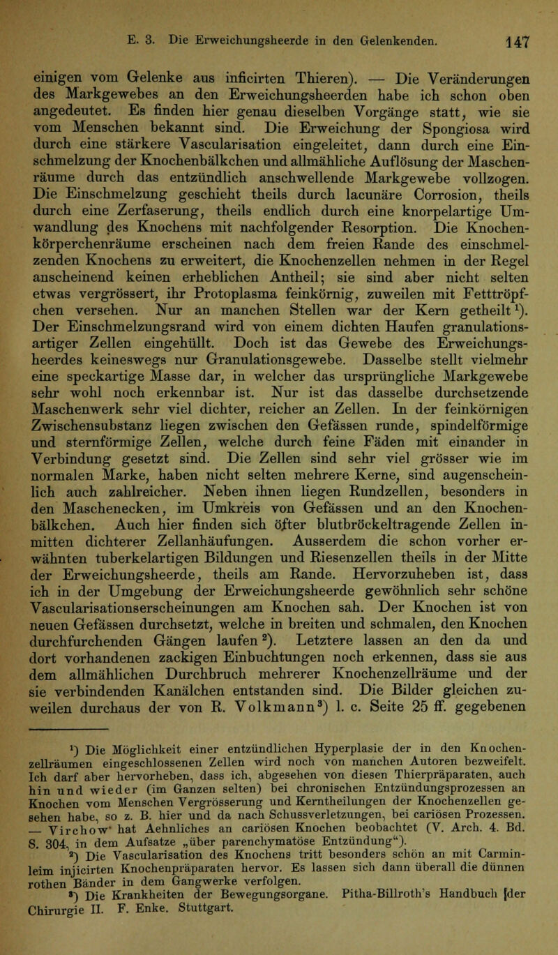 einigen vom Gelenke aus inficirten Thieren). -— Die Veränderungen des Markgewebes an den Erweichungsheerden habe ich schon oben angedeutet. Es finden hier genau dieselben Vorgänge statt, wie sie vom Menschen bekannt sind. Die Erweichung der Spongiosa wird durch eine stärkere Vascularisation eingeleitet, dann durch eine Ein- schmelzung der Knochenbälkchen und allmähliche Auflösung der Maschen- räume durch das entzündlich anschwellende Markgewebe vollzogen. Die Einschmelzung geschieht theils durch lacunäre Corrosion, theils durch eine Zerfaserung, theils endlich durch eine knorpelartige Um- wandlung des Knochens mit nachfolgender Resorption. Die Knochen- körperchenräume erscheinen nach dem freien Rande des einschmel- zenden Knochens zu erweitert, die Knochenzellen nehmen in der Regel anscheinend keinen erheblichen Antheil; sie sind aber nicht selten etwas vergrössert, ihr Protoplasma feinkörnig, zuweilen mit Fetttröpf- chen versehen. Nur an manchen Stellen war der Kern getheilt1). Der Einschmelzungsrand wird von einem dichten Haufen granulations- artiger Zellen eingehüllt. Doch ist das Gewebe des Erweichungs- heerdes keineswegs nur Granulationsgewebe. Dasselbe stellt vielmehr eine speckartige Masse dar, in welcher das ursprüngliche Markgewebe sehr wohl noch erkennbar ist. Nur ist das dasselbe durchsetzende Maschenwerk sehr viel dichter, reicher an Zellen. In der feinkörnigen Zwischensubstanz liegen zwischen den Gefässen runde, spindelförmige und sternförmige Zellen, welche durch feine Fäden mit einander in Verbindung gesetzt sind. Die Zellen sind sehr viel grösser wie im normalen Marke, haben nicht selten mehrere Kerne, sind augenschein- lich auch zahlreicher. Neben ihnen liegen Rundzellen, besonders in den Maschenecken, im Umkreis von Gefässen und an den Knochen- bälkchen. Auch hier finden sich öfter blutbröckeltragende Zellen in- mitten dichterer Zellanhäufungen. Ausserdem die schon vorher er- wähnten tuberkelartigen Bildungen und Riesenzellen theils in der Mitte der Erweichungsheerde, theils am Rande. Hervorzuheben ist, dass ich in der Umgebung der Erweichungsheerde gewöhnlich sehr schöne Vascularisationserscheinungen am Knochen sah. Der Knochen ist von neuen Gefässen durchsetzt, welche in breiten und schmalen, den Knochen durchfurchenden Gängen laufen2). Letztere lassen an den da und dort vorhandenen zackigen Einbuchtungen noch erkennen, dass sie aus dem allmählichen Durchbruch mehrerer Knochenzellräume und der sie verbindenden Kanälchen entstanden sind. Die Bilder gleichen zu- weilen durchaus der von R. Volkmann3) 1. c. Seite 25 fi°. gegebenen x) Die Möglichkeit einer entzündlichen Hyperplasie der in den Knochen- zellräumen eingeschlossenen Zellen wird noch von manchen Autoren bezweifelt. Ich darf aber hervorheben, dass ich, abgesehen von diesen Thierpräparaten, auch hin und wieder (im Ganzen selten) bei chronischen Entzündungsprozessen an Knochen vom Menschen Vergrösserung und Kerntheilungen der Knochenzellen ge- sehen habe so z. B. hier und da nach Schussverletzungen, bei cariösen Prozessen. Virchow hat Aehnliches an cariösen Knochen beobachtet (V. Arch. 4. Bd. S. 304, in dem Aufsatze „über parenchymatöse Entzündung). *) Die Vascularisation des Knochens tritt besonders schön an mit Carmin- leim injicirten Knochenpräparaten hervor. Es lassen sich dann überall die dünnen rothen Bänder in dem Gangwerke verfolgen. *) Die Krankheiten der Bewegungsorgane. Pitha-Billroth's Handbuch [der Chirurgie II. F. Enke. Stuttgart.