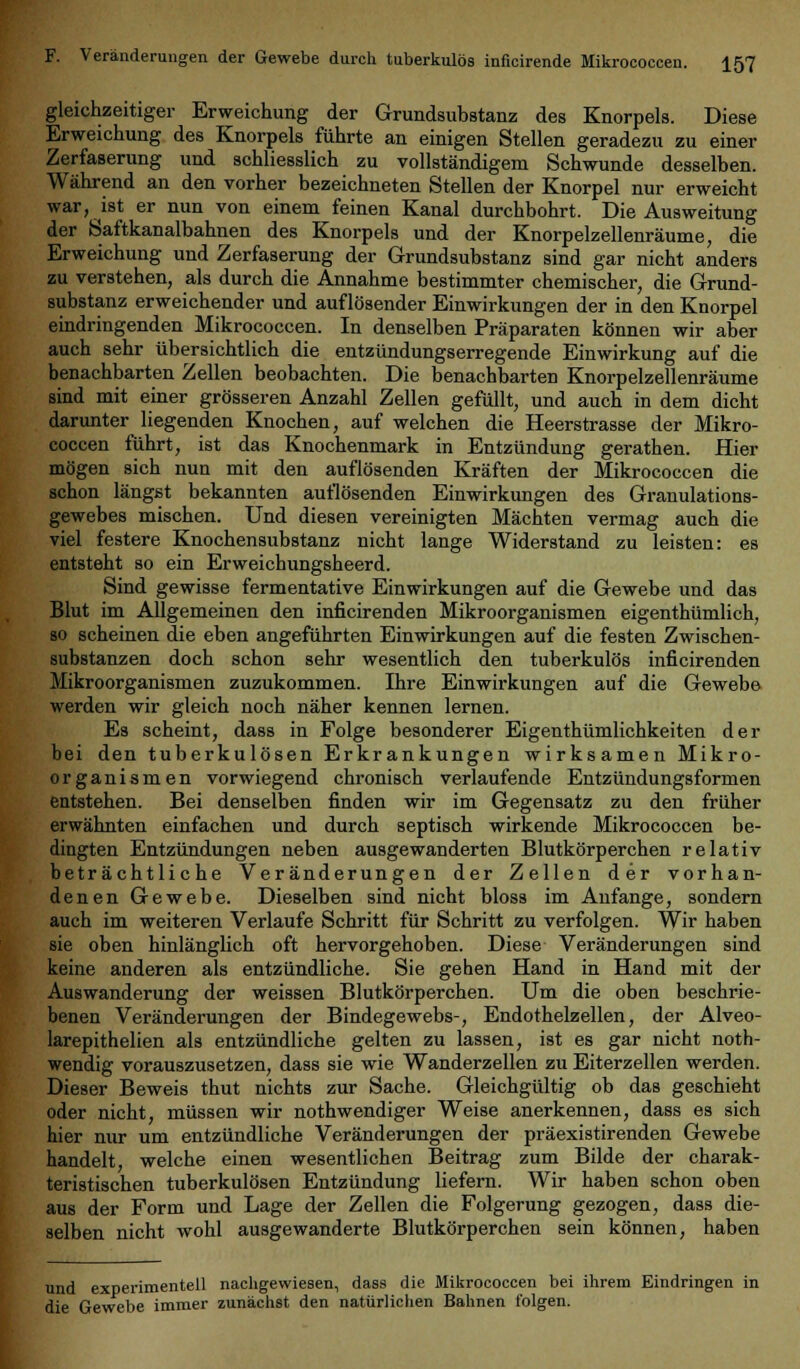 gleichzeitiger Erweichung der Grundsubstanz des Knorpels. Diese Erweichung des Knorpels führte an einigen Stellen geradezu zu einer Zerfaserung und schliesslich zu vollständigem Schwunde desselben. Während an den vorher bezeichneten Stellen der Knorpel nur erweicht war, ist er nun von einem feinen Kanal durchbohrt. Die Ausweitung der Saftkanalbahnen des Knorpels und der Knorpelzellenräume, die Erweichung und Zerfaserung der Grundsubstanz sind gar nicht anders zu verstehen, als durch die Annahme bestimmter chemischer, die Grund- substanz erweichender und auflösender Einwirkungen der in den Knorpel eindringenden Mikrococcen. In denselben Präparaten können wir aber auch sehr übersichtlich die entzündungserregende Einwirkung auf die benachbarten Zellen beobachten. Die benachbarten Knorpelzellenräume sind mit einer grösseren Anzahl Zellen gefüllt, und auch in dem dicht darunter liegenden Knochen, auf welchen die Heerstrasse der Mikro- coccen führt, ist das Knochenmark in Entzündung gerathen. Hier mögen sich nun mit den auflösenden Kräften der Mikrococcen die schon längst bekannten auflösenden Einwirkungen des Granulations- gewebes mischen. Und diesen vereinigten Mächten vermag auch die viel festere Knochensubstanz nicht lange Widerstand zu leisten: es entsteht so ein Erweichungsheerd. Sind gewisse fermentative Einwirkungen auf die Gewebe und das Blut im Allgemeinen den inficirenden Mikroorganismen eigenthümlich, so scheinen die eben angeführten Einwirkungen auf die festen Zwischen- substanzen doch schon sehr wesentlich den tuberkulös inficirenden Mikroorganismen zuzukommen. Ihre Einwirkungen auf die Gewebe werden wir gleich noch näher kennen lernen. Es scheint, dass in Folge besonderer Eigentümlichkeiten der bei den tuberkulösen Erkrankungen wirksamen Mikro- organismen vorwiegend chronisch verlaufende Entzündungsformen entstehen. Bei denselben finden wir im Gegensatz zu den früher erwähnten einfachen und durch septisch wirkende Mikrococcen be- dingten Entzündungen neben ausgewanderten Blutkörperchen relativ beträchtliche Veränderungen der Zellen der vorhan- denen Gewebe. Dieselben sind nicht bloss im Anfange, sondern auch im weiteren Verlaufe Schritt für Schritt zu verfolgen. Wir haben sie oben hinlänglich oft hervorgehoben. Diese Veränderungen sind keine anderen als entzündliche. Sie gehen Hand in Hand mit der Auswanderung der weissen Blutkörperchen. Um die oben beschrie- benen Veränderungen der Bindegewebs-, Endothelzellen, der Alveo- larepithelien als entzündliche gelten zu lassen, ist es gar nicht noth- wendig vorauszusetzen, dass sie wie Wanderzellen zu Eiterzellen werden. Dieser Beweis thut nichts zur Sache. Gleichgültig ob das geschieht oder nicht, müssen wir nothwendiger Weise anerkennen, dass es sich hier nur um entzündliche Veränderungen der präexistirenden Gewebe handelt, welche einen wesentlichen Beitrag zum Bilde der charak- teristischen tuberkulösen Entzündung liefern. Wir haben schon oben aus der Form und Lage der Zellen die Folgerung gezogen, dass die- selben nicht wohl ausgewanderte Blutkörperchen sein können, haben und experimentell nachgewiesen, dass die Mikrococcen bei ihrem Eindringen in die Gewebe immer zunächst den natürlichen Bahnen folgen.