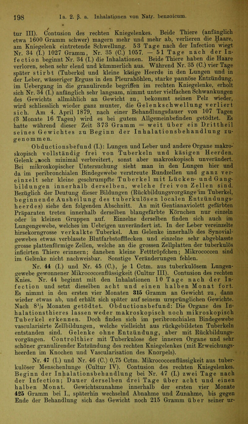 tur III). Contusion des rechten Kniegelenkes. Beide Thiere (anfänglich etwa 1600 Gramm schwer) magern mehr und mehr ab, verlieren die Haare, am Kniegelenk eintretende Schwellung. 53 Tage nach der Infection wiegt Nr. 34 (I.) 1027 Gramm, Nr. 35 (C.) 1057. — 51 Tage nach der In- fection beginnt Nr. 34 (I.) die Inhalationen. Beide Thiere haben die Haare verloren, sehen sehr elend und kümmerlich aus. Während Nr. 35 (C.) vier Tage später stirbt (Tuberkel und kleine käsige Heerde in den Lungen und in der Leber, wässeriger Erguss in den Pleurahöhlen, starke pannöse Entzündung, im Uebergang in die granulirende begriffen im rechten Kniegelenke, erholt sich Nr. 34 (I.) anfänglich sehr langsam, nimmt unter vielfachen Schwankungen des Gewichts allmählich an Gewicht zu, bekommt seinen Pelz wieder, wird schliesslich wieder ganz munter, die Gelenkschwellung verliert sich. Am 4. April 1879, nach einer Behandlungsdauer von 107 Tagen (3 Monate 16 Tagen) wird es bei gutem Allgemeinbefinden getödtet. Es hatte während dieser Zeit 373 Gramm = weit über ein Drittheil seines Gewichtes zu Beginn der Inhalationsbehandlung zu- genommen. Obductionsbefund (I.): Lungen und Leber und andere Organe makro- skopisch vollständig frei von Tuberkeln und käsigen Heerden. Gelenk .noch minimal verbreitert, sonst aber makroskopisch unverändert. Bei mikroskopischer Untersuchung sieht man in den Lungen hier und da im peribronchialen Bindegewebe verstreute Bundzellen und ganz ver- einzelt sehr kleine geschrumpfte Tuberkel mit Lücken- und Gang- bildungen innerhalb derselben, welche frei von Zellen sind. Bezüglich der Deutung dieser Bildungen (Rückbildungsvorgänge im Tuberkel, beginnende Ausheilung des tuberkulösen localen Entzündungs- heer des) siehe den folgenden Abschnitt. An mit Gentianaviolett gefärbten Präparaten treten innerhalb derselben blaugefärbte Körnchen nur einzeln oder in kleinen Gruppen auf. Einzelne derselben finden sich auch im Lungengewebe, welches im Uebrigen unverändert ist. In der Leber vereinzelte hirsekorngrosse verkalkte Tuberkel. Am Gelenke innerhalb des Synovial- gewebes etwas verblasste Blutfarbstoffflecken und einzelne sehr abgeblasste grosse plattenförmige Zellen, welche an die grossen Zellplatten der tuberkulös inficirten Thiere erinnern; daneben kleine Fetttröpfchen; Mikrococcen sind im Gelenke nicht nachweisbar. Sonstige Veränderungen fehlen. Nr. 44 (I.) und Nr. 45 (C), je 1 Cctm. aus tuberkulösem Lungen- gewebe gewonnener Mikrococcenflüssigkeit (Cultur III). Contusion des rechten Knies. Nr. 44 beginnt mit den Inhalationen 10 Tage nach der In- fection und setzt dieselben acht und einen halben Monat fort. Es nimmt in den ersten vier Monaten 315 Gramm an Gewicht zu, dann wieder etwas ab, und erhält sich später auf seinem ursprünglichen Gewichte. Nach 8V2 Monaten getödtet. Obductionsbefund: Die Organe des In- halationsthieres lassen weder makroskopisch noch mikroskopisch Tuberkel erkennen. Doch finden sich im peribronchialen Bindegewebe vascularisirte Zellbildungen, welche vielleicht aus rückgebildeten Tuberkeln entstanden sind. Gelenke ohne Entzündung, aber mit Rückbildungs- vorgängen. Controlthier mit Tuberkulose der inneren Organe und sehr schöner granulirender Entzündung des rechten Kniegelenkes (mit Erweichungs- heerden im Knochen und Vascularisation des Knorpels). Nr. 47 (I.) und Nr. 46 (C.) 0,75 Cctm. Mikrococcenflüssigkeit aus tuber- kulöser Menschenlunge (Cultur IV). Contusion des rechten Kniegelenkes. Beginn der Inhalationsbehandlung bei Nr. 47 (I.) zwei Tage nach der Infection; Dauer derselben drei Tage über acht und einen halben Monat. Gewichtszunahme innerhalb der ersten vier Monate 425 Gramm bei I., späterhin wechselnd Abnahme und Zunahme, bis gegen Ende der Behandlung sich das Gewicht noch 215 Gramm über seiner ur-