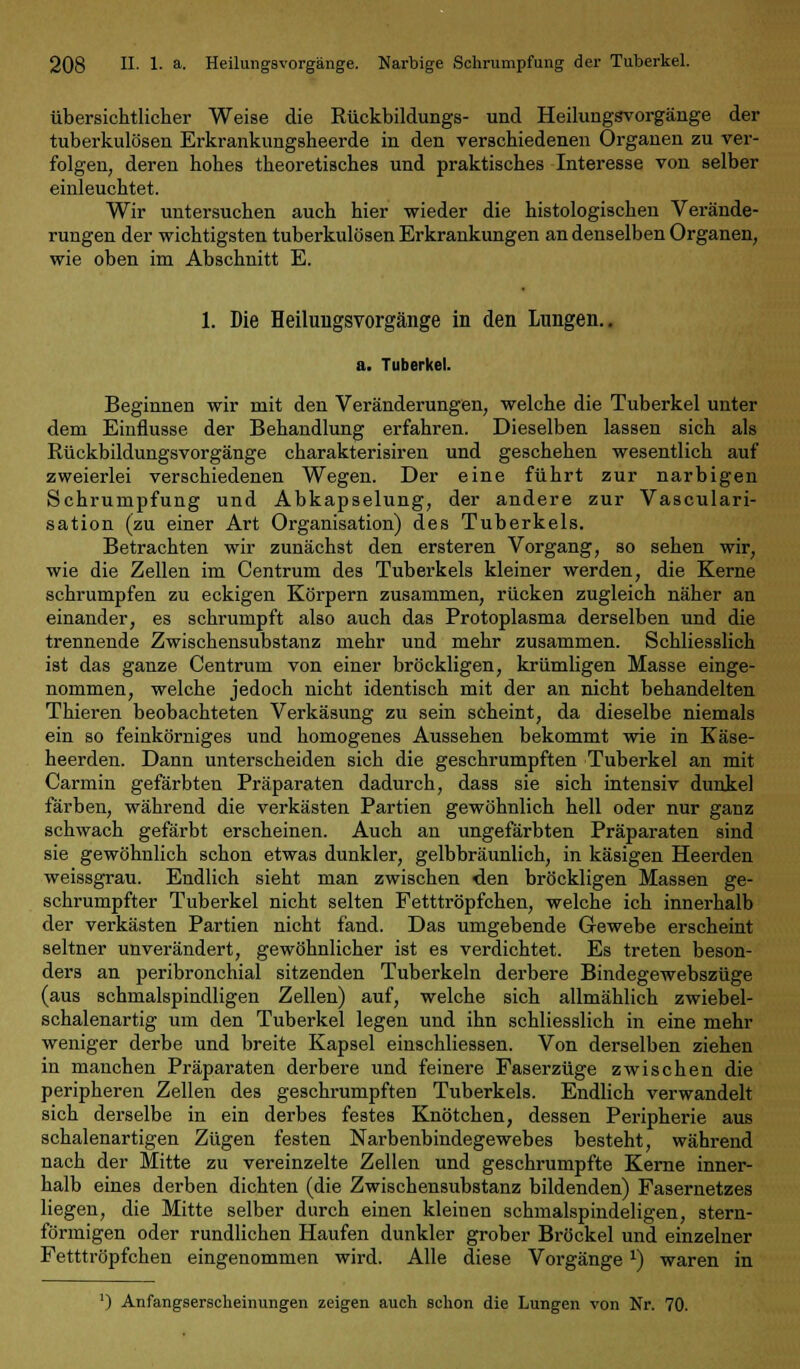 übersichtlicher Weise die Rückbildungs- und Heilungsvorgänge der tuberkulösen Erkrankungsheerde in den verschiedenen Organen zu ver- folgen, deren hohes theoretisches und praktisches Interesse von selber einleuchtet. Wir untersuchen auch hier wieder die histologischen Verände- rungen der wichtigsten tuberkulösen Erkrankungen an denselben Organen, wie oben im Abschnitt E. 1. Die HeilungSYorgänge in den Lungen.. a. Tuberkel. Beginnen wir mit den Veränderungen, welche die Tuberkel unter dem Einflüsse der Behandlung erfahren. Dieselben lassen sich als Rückbildungsvorgänge charakterisiren und geschehen wesentlich auf zweierlei verschiedenen Wegen. Der eine führt zur narbigen Schrumpfung und Abkapselung, der andere zur Vasculari- sation (zu einer Art Organisation) des Tuberkels. Betrachten wir zunächst den ersteren Vorgang, so sehen wir, wie die Zellen im Centrum des Tuberkels kleiner werden, die Kerne schrumpfen zu eckigen Körpern zusammen, rücken zugleich näher an einander, es schrumpft also auch das Protoplasma derselben und die trennende Zwischensubstanz mehr und mehr zusammen. Schliesslich ist das ganze Centrum von einer bröckligen, krümligen Masse einge- nommen, welche jedoch nicht identisch mit der an nicht behandelten Thieren beobachteten Verkäsung zu sein scheint, da dieselbe niemals ein so feinkörniges und homogenes Aussehen bekommt wie in Käse- heerden. Dann unterscheiden sich die geschrumpften Tuberkel an mit Carmin gefärbten Präparaten dadurch, dass sie sich intensiv dunkel färben, während die verkästen Partien gewöhnlich hell oder nur ganz schwach gefärbt erscheinen. Auch an ungefärbten Präparaten sind sie gewöhnlich schon etwas dunkler, gelbbräunlich, in käsigen Heerden weissgrau. Endlich sieht man zwischen den bröckligen Massen ge- schrumpfter Tuberkel nicht selten Fetttröpfchen, welche ich innerhalb der verkästen Partien nicht fand. Das umgebende Gewebe erscheint seltner unverändert, gewöhnlicher ist es verdichtet. Es treten beson- ders an peribronchial sitzenden Tuberkeln derbere Bindegewebszüge (aus schmalspindligen Zellen) auf, welche sich allmählich zwiebel- schalenartig um den Tuberkel legen und ihn schliesslich in eine mehr weniger derbe und breite Kapsel einschliessen. Von derselben ziehen in manchen Präparaten derbere und feinere Faserzüge zwischen die peripheren Zellen des geschrumpften Tuberkels. Endlich verwandelt sich derselbe in ein derbes festes Knötchen, dessen Peripherie aus schalenartigen Zügen festen Narbenbindegewebes besteht, während nach der Mitte zu vereinzelte Zellen und geschrumpfte Kerne inner- halb eines derben dichten (die Zwischensubstanz bildenden) Fasernetzes liegen, die Mitte selber durch einen kleinen schmalspindeligen, stern- förmigen oder rundlichen Haufen dunkler grober Bröckel und einzelner Fetttröpfchen eingenommen wird. Alle diese Vorgängex) waren in ') Anfangserscheinungen zeigen auch schon die Lungen von Nr. 70.
