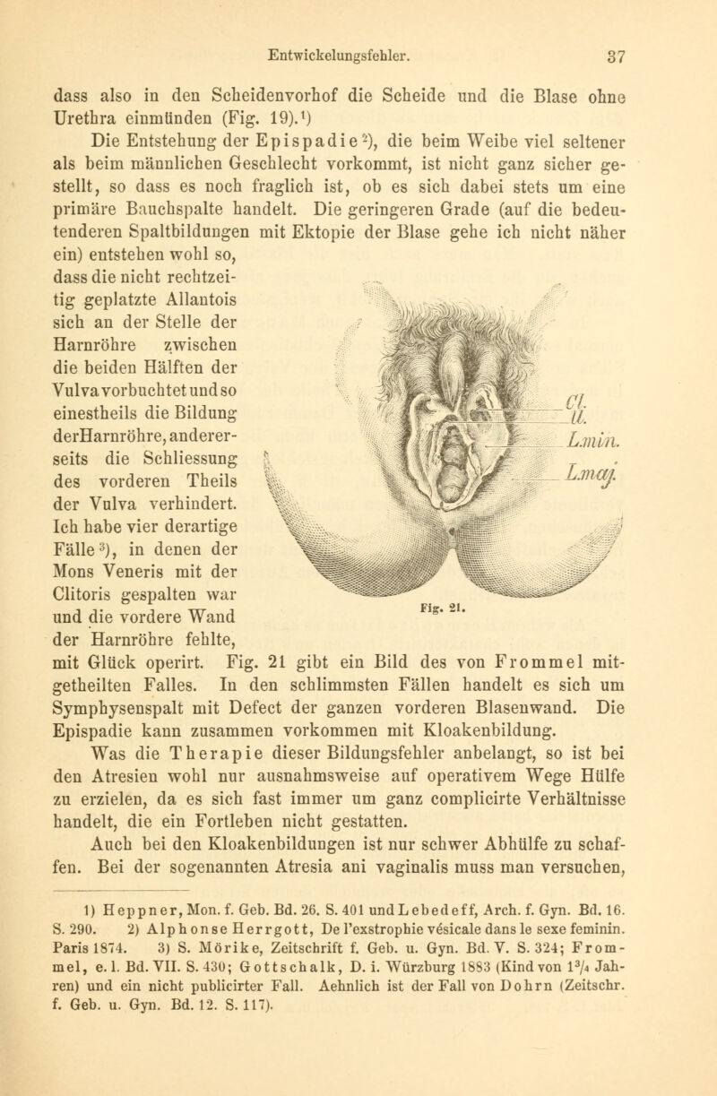 dass also in den Scheidenvorhof die Scheide und die Blase ohne Urethra einmünden (Fig. 19).1) Die Entstehung der Epispadie-), die beim Weibe viel seltener als beim männlichen Geschlecht vorkommt, ist nicht ganz sicher ge- stellt, so dass es noch fraglich ist, ob es sich dabei stets um eine primäre Bauchspalte handelt. Die geringeren Grade (auf die bedeu- tenderen Spaltbilduugen mit Ektopie der Blase gehe ich nicht näher ein) entstehen wohl so, dass die nicht rechtzei- tig geplatzte Allantois sich an der Stelle der Harnröhre zwischen die beiden Hälften der Vulva vorbuchtet und so einestheils die Bildung derHarnröhre, anderer- seits die Schliessung des vorderen Theils der Vulva verhindert. Ich habe vier derartige Fälle3), in denen der Mons Veneris mit der Clitoris gespalten war und die vordere Wand der Harnröhre fehlte, mit Glück operirt. Fig. 21 gibt ein Bild des von Frommel mit- getheilten Falles. In den schlimmsten Fällen handelt es sich um Symphysenspalt mit Defect der ganzen vorderen Blasenwand. Die Epispadie kann zusammen vorkommen mit Kloakenbildung. Was die Therapie dieser Bildungsfehler anbelangt, so ist bei den Atresien wohl nur ausnahmsweise auf operativem Wege Hülfe zu erzielen, da es sich fast immer um ganz complicirte Verhältnisse handelt, die ein Fortleben nicht gestatten. Auch bei den Kloakenbilduugen ist nur schwer Abhülfe zu schaf- fen. Bei der sogenannten Atresia ani vaginalis muss man versuchen, Gl dl. L.mv/i. Lma/j. Fisr. 21. 1) Heppner,Mon.f. Geb. Bd. 26. S. 401 undLebedeff, Arch. f. Gyn. Bd. 16. S. 290. 2) AlphonseHerrgott, De l'exstrophie v^sicale dans le sexe feminin. Paris 1874. 3) S. Mörike, Zeitschrift f. Geb. u. Gyn. Bd. V. S. 324; From- mel, e.l. Bd. VII. S.430; Gottschalk, D. i. Würzburg 1833 (Kind von l3/4 Jah- ren) und ein nicht publicirter Fall. Aehnlich ist der Fall von Dohrn (Zeitschr. f. Geb. u. Gyn. Bd. 12. S. 117).