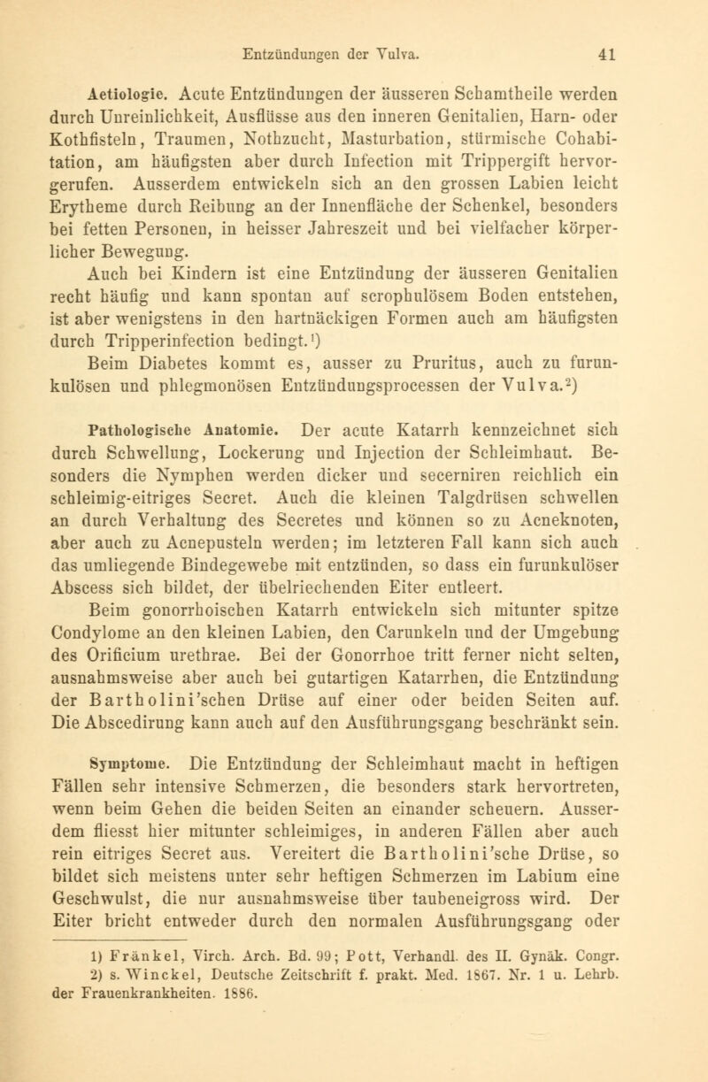 Aetiologie. Acute Entzündungen der äusseren Schamtheile werden durch Unreinlichkeit, Ausflüsse aus den inneren Genitalien, Harn- oder Kothfisteln, Traumen, Nothzucht, Masturbation, stürmische Cohabi- tation, am häufigsten aber durch Infection mit Trippergift hervor- gerufen. Ausserdem entwickeln sich an den grossen Labien leicht Erytheme durch Reibung an der Innenfläche der Schenkel, besonders bei fetten Personen, in heisser Jahreszeit und bei vielfacher körper- licher Bewegung. Auch bei Kindern ist eine Entzündung der äusseren Genitalien recht häufig und kann spontan auf scrophulösem Boden entstehen, ist aber wenigstens in den hartnäckigen Formen auch am häufigsten durch Tripperinfection bedingt.1) Beim Diabetes kommt es, ausser zu Pruritus, auch zu furun- kulösen und phlegmonösen Entzündungsprocessen der Vulva.2) Pathologische Anatomie. Der acute Katarrh kennzeichnet sich durch Schwellung, Lockerung und Injection der Schleimhaut. Be- sonders die Nymphen werden dicker und secerniren reichlich ein schleimig-eitriges Secret. Auch die kleinen Talgdrüsen schwellen an durch Verhaltung des Secretes und können so zu Acneknoten, aber auch zu Acnepusteln werden; im letzteren Fall kann sich auch das umliegende Bindegewebe mit entzünden, so dass ein furunkulöser Abscess sich bildet, der übelriechenden Eiter entleert. Beim gonorrhoischen Katarrh entwickeln sich mitunter spitze Condylome an den kleinen Labien, den Carunkeln und der Umgebung des Orificium urethrae. Bei der Gonorrhoe tritt ferner nicht selten, ausnahmsweise aber auch bei gutartigen Katarrhen, die Entzündung der Bartholini'schen Drüse auf einer oder beiden Seiten auf. Die Abscedirung kann auch auf den Ausführungsgang beschränkt sein. Symptome. Die Entzündung der Schleimhaut macht in heftigen Fällen sehr intensive Schmerzen, die besonders stark hervortreten, wenn beim Gehen die beiden Seiten an einander scheuern. Ausser- dem fliesst hier mitunter schleimiges, in anderen Fällen aber auch rein eitriges Secret aus. Vereitert die Bartholini'sche Drüse, so bildet sich meistens unter sehr heftigen Schmerzen im Labium eine Geschwulst, die nur ausnahmsweise über taubeneigross wird. Der Eiter bricht entweder durch den normalen Ausführungsgang oder 1) Frankel, Virch. Aren. Bd. 99; Pott, Verhandl. des II. Gynäk. Congr. 2) s. Win ekel, Deutsche Zeitschrift f. prakt. Med. 1667. Nr. 1 u. Lehrb. der Frauenkrankheiten. 1886.
