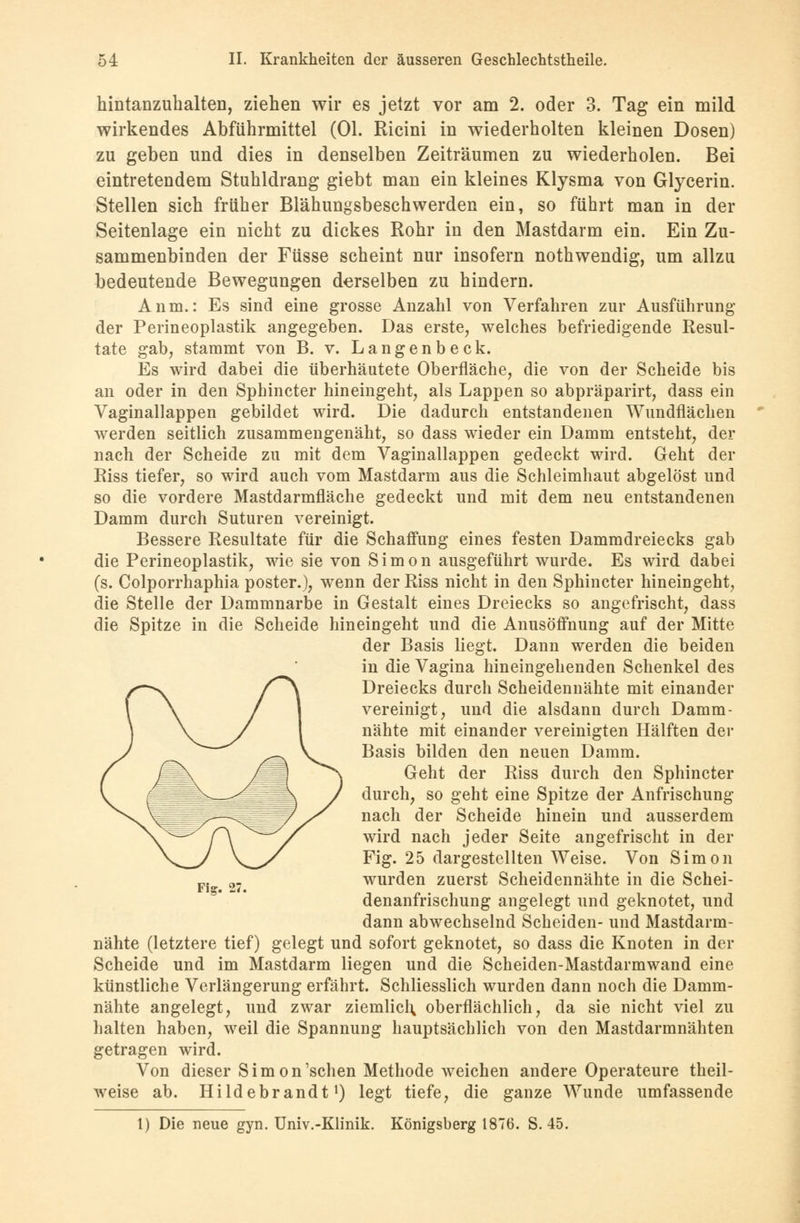 hintanzuhalten, ziehen wir es jetzt vor am 2. oder 3. Tag ein mild wirkendes Abführmittel (Ol. Ricini in wiederholten kleinen Dosen) zu geben und dies in denselben Zeiträumen zu wiederholen. Bei eintretendem Stuhldrang giebt man ein kleines Klysma von Glycerin. Stellen sich früher Blähungsbeschwerden ein, so führt man in der Seitenlage ein nicht zu dickes Rohr in den Mastdarm ein. Ein Zu- sammenbinden der Füsse scheint nur insofern nothwendig, um allzu bedeutende Bewegungen derselben zu hindern. Anm.: Es sind eine grosse Anzahl von Verfahren zur Ausführung der Perineoplastik angegeben. Das erste, welches befriedigende Resul- tate gab, stammt von B. v. Langenbeck. Es wird dabei die überhäutete Oberfläche, die von der Scheide bis an oder in den Sphincter hineingeht, als Lappen so abpräparirt, dass ein Vaginallappen gebildet wird. Die dadurch entstandenen Wundflächen werden seitlich zusammengenäht, so dass wieder ein Damm entsteht, der nach der Scheide zu mit dem Vaginallappen gedeckt wird. Geht der Riss tiefer, so wird auch vom Mastdarm aus die Schleimhaut abgelöst und so die vordere Mastdarmfläche gedeckt und mit dem neu entstandenen Damm durch Suturen vereinigt. Bessere Resultate für die Schaffung eines festen Dammdreiecks gab die Perineoplastik, wie sie von Simon ausgeführt wurde. Es wird dabei (s. Colporrhaphia poster.), wenn der Riss nicht in den Sphincter hineingeht, die Stelle der Dammnarbe in Gestalt eines Dreiecks so angefrischt, dass die Spitze in die Scheide hineingeht und die Anusöffnung auf der Mitte der Basis liegt. Dann werden die beiden in die Vagina hineingehenden Schenkel des Dreiecks durch Scheidennähte mit einander vereinigt, und die alsdann durch Damm- nähte mit einander vereinigten Hälften der Basis bilden den neuen Damm. Geht der Riss durch den Sphincter durch, so geht eine Spitze der Anfrischung nach der Scheide hinein und ausserdem wird nach jeder Seite angefrischt in der Fig. 25 dargestellten Weise. Von Simon FJ _ <,_ wurden zuerst Scheidennähte in die Schei- denanfrischung angelegt und geknotet, und dann abwechselnd Scheiden- und Mastdarm- nähte (letztere tief) gelegt und sofort geknotet, so dass die Knoten in der Scheide und im Mastdarm liegen und die Scheiden-Mastdarmwand eine künstliche Verlängerung erfährt. Schliesslich wurden dann noch die Damm- nähte angelegt, und zwar ziemlich, oberflächlich, da sie nicht viel zu halten haben, weil die Spannung hauptsächlich von den Mastdarmnähten getragen wird. Von dieser Simon'sehen Methode weichen andere Operateure theil- weise ab. Hildebrandt1) legt tiefe, die ganze Wunde umfassende 1) Die neue gyn. Univ.-Klinik. Königsberg 1876. S. 45.
