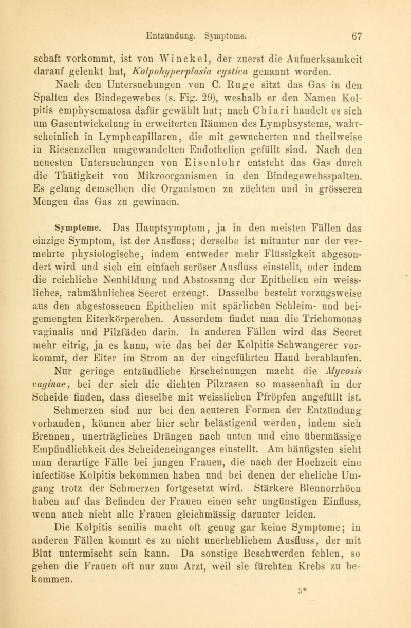 schalt vorkommt, ist von Winckel, der zuerst die Aufmerksamkeit darauf gelenkt hat, Kolpohyperplasia cystica genannt worden. Nach den Untersuchungen von C. Rüge sitzt das Gas in den Spalten des Bindegewebes (s. Fig. 29), weshalb er den Namen Kol- pitis emphysematosa dafür gewählt hat; nach Chiari handelt es sich um Gasentwickelung in erweiterten Räumen des Lymphsystems, wahr- scheinlich in Lymphcapillaren, die mit gewucherten und theilweise in Riesenzellen umgewandelten Endothelien gefüllt sind. Nach den neuesten Untersuchungen von Eisenlohr entsteht das Gas durch die Thätigkeit von Mikroorganismen in den Bindegewebsspalten. Es gelang demselben die Organismen zu züchten und in grösseren Mengen das Gas zu gewinnen. Symptome. Das Hauptsymptom, ja in den meisten Fällen das einzige Symptom, ist der Ausfluss; derselbe ist mitunter nur der ver- mehrte physiologische, indem entweder mehr Flüssigkeit abgeson- dert wird und sich ein einfach seröser Ausfluss einstellt, oder indem die reichliche Neubildung und Abstossung der Epithelien ein weiss- liches, rahmähnliches Secret erzeugt. Dasselbe besteht vorzugsweise aus den abgestossenen Epithelien mit spärlichen Schleim- und bei- gemengten Eiterkörperchen. Ausserdem findet man die Trichomonas vaginalis und Pilzfäden darin. In anderen Fällen wird das Secret mehr eitrig, ja es kann, wie das bei der Kolpitis Schwangerer vor- kommt, der Eiter im Strom an der eingeführten Hand herablaufen. Nur geringe entzündliche Erscheinungen macht die Mycosis vaginae, bei der sich die dichten Pilzrasen so massenhaft in der Scheide finden, dass dieselbe mit weisslichen Pfropfen angefüllt ist. Schmerzen sind nur bei den acuteren Formen der Entzündung- vorhanden, können aber hier sehr belästigend werden, indem sich Brennen, unerträgliches Drängen nach unten und eine übermässige Empfindlichkeit des Scheideneinganges einstellt. Am häufigsten sieht man derartige Fälle bei jungen Frauen, die nach der Hochzeit eine infectiöse Kolpitis bekommen haben und bei denen der eheliche Um- gang trotz der Schmerzen fortgesetzt wird. Stärkere Blennorrhöen haben auf das Befinden der Frauen einen sehr ungünstigen Einfluss, wenn auch nicht alle Frauen gleichmässig darunter leiden. Die Kolpitis senilis macht oft genug gar keine Symptome; in anderen Fällen kommt es zu nicht unerheblichem Ausfluss, der mit Blut untermischt sein kann. Da sonstige Beschwerden fehlen, so gehen die Frauen oft nur zum Arzt, weil sie fürchten Krebs zu be- kommen.
