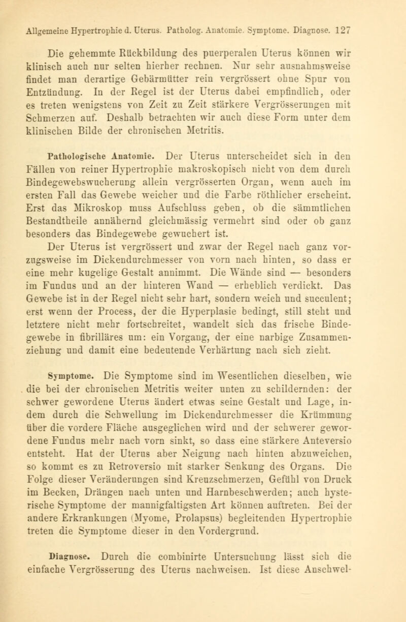 Die gehemmte Rückbildung des puerperalen Uterus können wir klinisch auch nur selten hierher rechnen. Nur sehr ausnahmsweise findet man derartige Gebärmütter rein vergrössert ohne Spur von Entzündung. In der Regel ist der Uterus dabei empfindlich, oder es treten wenigstens von Zeit zu Zeit stärkere Vergrößerungen mit Schmerzen auf. Deshalb betrachten wir auch diese Form unter dem klinischen Bilde der chronischen Metritis. Pathologische Anatomie. Der Uterus unterscheidet sich in den Fällen von reiner Hypertrophie makroskopisch nicht von dem durch Bindegewebswucherung allein vergrösserten Organ, wenn auch im ersten Fall das Gewebe weicher und die Farbe röthlicher erscheint. Erst das Mikroskop muss Aufschluss geben, ob die sämmtlichen Bestandtheile annähernd gleichmässig vermehrt sind oder ob ganz besonders das Bindegewebe gewuchert ist. Der Uterus ist vergrössert und zwar der Regel nach ganz vor- zugsweise im Dickendurchmesser von vorn nach hinten, so dass er eine mehr kugelige Gestalt annimmt. Die Wände sind — besonders im Fundus und an der hinteren Wand — erheblich verdickt. Das Gewebe ist in der Regel nicht sehr hart, sondern weich und succulent; erst wenn der Process, der die Hyperplasie bedingt, still steht und letztere nicht mehr fortschreitet, wandelt sich das frische Binde- gewebe in fibrilläres um: ein Vorgang, der eine narbige Zusammen- ziehung und damit eine bedeutende Verhärtung nach sich zieht. Symptome. Die Symptome sind im Wesentlichen dieselben, wie die bei der chronischen Metritis weiter unten zu schildernden: der schwer gewordene Uterus ändert etwas seine Gestalt und Lage, in- dem durch die Schwellung im Dickendurchmesser die Krümmung über die vordere Fläche ausgeglichen wird und der schwerer gewor- dene Fundus mehr nach vorn sinkt, so dass eine stärkere Anteversio entsteht. Hat der Uterus aber Neigung nach hinten abzuweichen, so kommt es zu Retroversio mit starker Senkung des Organs. Die Folge dieser Veränderungen sind Kreuzschmerzeu, Gefühl von Druck im Becken, Drängen nach unten und Harnbeschwerden; auch hyste- rische Symptome der mannigfaltigsten Art können auftreten. Bei der andere Erkrankungen 'Myome, Prolapsus) begleitenden Hypertrophie treten die Symptome dieser in den Vordergrund. Diagnose. Durch die combinirte Untersuchung lässt sich die einfache Vergrösserung des Uterus nachweisen. Ist diese Anschwel-