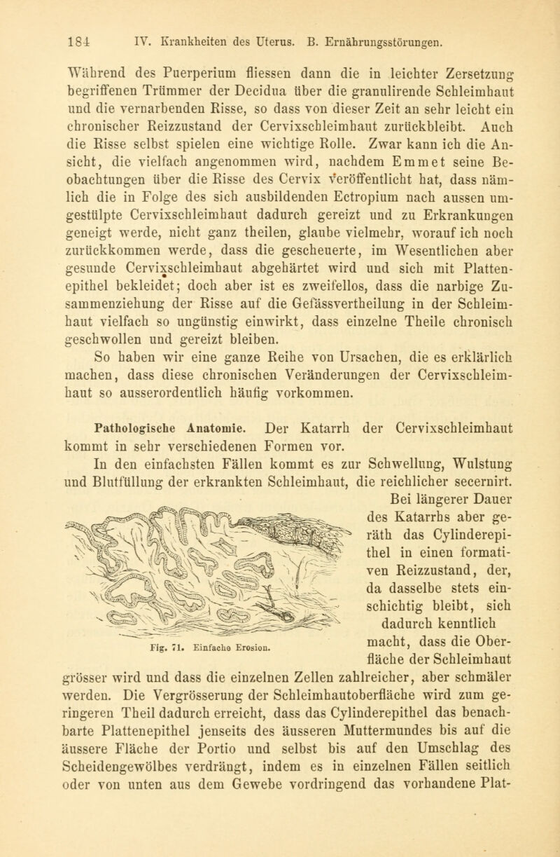 Während des Puerperium fliessen dann die in leichter Zersetzung begriffenen Trümmer der Decidua über die granulirende Schleimhaut und die vernarbenden Risse, so dass von dieser Zeit an sehr leicht ein chronischer Reizzustand der Cervixscbleimhaut zurückbleibt. Auch die Risse selbst spielen eine wichtige Rolle. Zwar kann ich die An- sicht, die vielfach angenommen wird, nachdem Emmet seine Be- obachtungen über die Risse des Cervix veröffentlicht hat, dass näm- lich die in Folge des sich ausbildenden Ectropium nach aussen um- gestülpte Cervixscbleimhaut dadurch gereizt und zu Erkrankungen geneigt werde, nicht ganz theilen, glaube vielmehr, worauf ich noch zurückkommen werde, dass die gescheuerte, im Wesentlichen aber gesunde Cervixscbleimhaut abgehärtet wird und sich mit Platten- epithel bekleidet; doch aber ist es zweifellos, dass die narbige Zu- sammenziehung der Risse auf die Gefässvertheilung in der Schleim- haut vielfach so ungünstig einwirkt, dass einzelne Theile chronisch geschwollen und gereizt bleiben. So haben wir eine ganze Reihe von Ursachen, die es erklärlich machen, dass diese chronischen Veränderungen der Cervixscbleim- haut so ausserordentlich häufig vorkommen. Pathologische Anatomie. Der Katarrh der Cervixschleimhaut kommt in sehr verschiedenen Formen vor. In den einfachsten Fällen kommt es zur Schwellung, Wulstung und Blutfüllung der erkrankten Schleimhaut, die reichlicher secernirt. Bei längerer Dauer des Katarrhs aber ge- räth das Cylinderepi- thel in einen formati- ven Reizzustand, der, da dasselbe stets ein- schichtig bleibt, sich dadurch kenntlich macht, dass die Ober- fläche der Schleimhaut grösser wird und dass die einzelnen Zellen zahlreicher, aber schmäler werden. Die Vergrösserung der Schleimhautoberfläche wird zum ge- ringeren Theil dadurch erreicht, dass das Cylinderepithel das benach- barte Plattenepithel jenseits des äusseren Muttermundes bis auf die äussere Fläche der Portio und selbst bis auf den Umschlag des Scheidengewölbes verdrängt, indem es in einzelnen Fällen seitlich oder von unten aus dem Gewebe vordringend das vorhandene Plat- Fig. 71. Einfache Erosion.