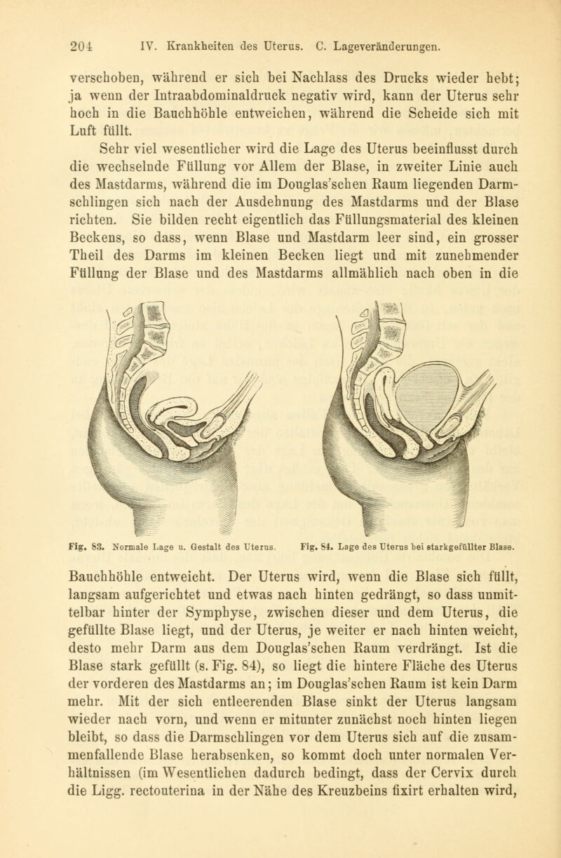 verschoben, während er sich bei Nachlass des Drucks wieder hebt; ja wenn der Intraabdominaldruck negativ wird, kann der Uterus sehr hoch in die Bauchhöhle entweichen, während die Scheide sich mit Luft füllt. Sehr viel wesentlicher wird die Lage des Uterus beeinflusst durch die wechselnde Füllung vor Allem der Blase, in zweiter Linie auch des Mastdarms, während die im Douglas'schen Raum liegenden Darm- schlingen sich nach der Ausdehnung des Mastdarms und der Blase richten. Sie bilden recht eigentlich das Füllungsmaterial des kleinen Beckens, so dass, wenn Blase und Mastdarm leer sind, ein grosser Theil des Darms im kleinen Becken liegt und mit zunehmender Füllung der Blase und des Mastdarms allmählich nach oben in die Fig. 83. Nonnale Lage u. Gestalt des Uterus. Fig. 84. Lage des Uterus bei starkgefüUter Blase. Bauchhöhle entweicht. Der Uterus wird, wenn die Blase sich füllt, langsam aufgerichtet und etwas nach hinten gedrängt, so dass unmit- telbar hinter der Symphyse, zwischen dieser und dem Uterus, die gefüllte Blase liegt, und der Uterus, je weiter er nach hinten weicht, desto mehr Darm aus dem Douglas'schen Raum verdrängt. Ist die Blase stark gefüllt (s. Fig. 84), so liegt die hintere Fläche des Uterus der vorderen des Mastdarms an; im Douglas'schen Raum ist kein Darm mehr. Mit der sich entleerenden Blase sinkt der Uterus langsam wieder nach vorn, und wenn er mitunter zunächst noch hinten liegen bleibt, so dass die Darmschlingen vor dem Uterus sich auf die zusam- menfallende Blase herabsenken, so kommt doch unter normalen Ver- hältnissen (im Wesentlichen dadurch bedingt, dass der Cervix durch die Ligg. rectouterina in der Nähe des Kreuzbeins fixirt erhalten wird,