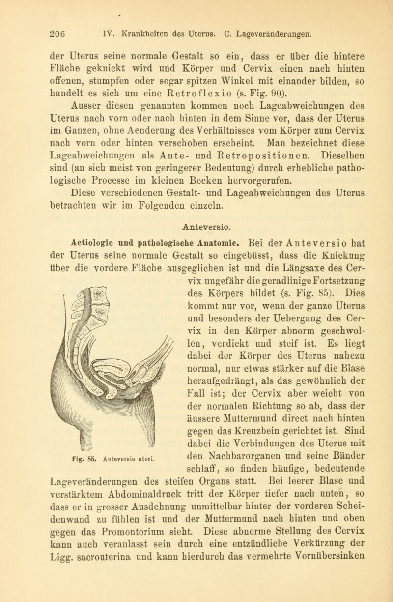 der Uterus seine normale Gestalt so ein, dass er über die hintere Fläche geknickt wird und Körper und Cervix einen nach hinten offenen, stumpfen oder sogar spitzen Winkel mit einander bilden, so handelt es sich um eine Retroflexio (s. Fig. 90). Ausser diesen genannten kommen noch Lageabweichungen des Uterus nach vorn oder nach hinten in dem Sinne vor, dass der Uterus im Ganzen, ohne Aenderung des Verhältnisses vom Körper zum Cervix nach vorn oder hinten verschoben erscheint. Man bezeichnet diese Lageabweichungen als Ante- und Retropositionen. Dieselben sind (an sich meist von geringerer Bedeutung) durch erhebliche patho- logische Processe im kleinen Becken hervorgerufen. Diese verschiedenen Gestalt- und Lageabweichungen des Uterus betrachten wir im Folgenden einzeln. Anteversio. Aetiologie und pathologische Anatomie. Bei der Anteversio hat der Uterus seine normale Gestalt so eingebüsst, dass die Knickung über die vordere Fläche ausgeglichen ist und die Läugsaxe des Cer- vix ungefähr die geradlinige Fortsetzung des Körpers bildet (s. Fig. 85). Dies kommt nur vor, wenn der ganze Uterus und besonders der Uebergang des Cer- vix in den Körper abnorm geschwol- len, verdickt und steif ist. Es liegt dabei der Körper des Uterus nahezu normal, nur etwas stärker auf die Blase heraufgedrängt, als das gewöhnlich der Fall ist; der Cervix aber weicht von der normalen Richtung so ab, dass der äussere Muttermund direct nach hinten gegen das Kreuzbein gerichtet ist. Sind dabei die Verbindungen des Uterus mit den Nachbarorganen und seine Bänder schlaff, so finden häufige, bedeutende Lageveränderungen des steifen Organs statt. Bei leerer Blase und verstärktem Abdominaldruck tritt der Körper tiefer nach unten, so dass er in grosser Ausdehnung unmittelbar hinter der vorderen Schei- denwand zu fühlen ist und der Muttermund nach hinten und oben gegen das Promontorium sieht. Diese abnorme Stellung des Cervix kann auch veranlasst sein durch eine entzündliche Verkürzung der Ligg. sacrouterina und kann hierdurch das vermehrte Vornübersinken Fig. 85. Anteversio uteri.