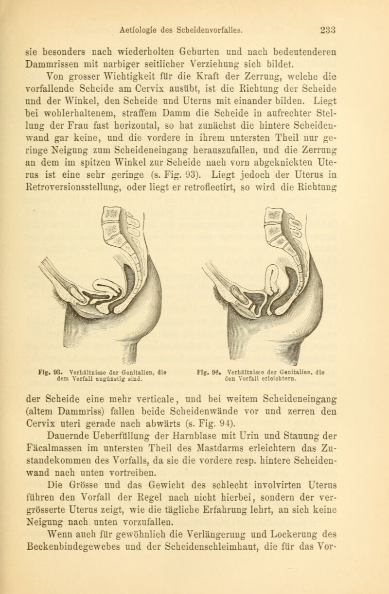 sie besonders nach wiederholten Geburten und nach bedeutenderen Dammrissen mit narbiger seitlicher Verziehung sich bildet. Von grosser Wichtigkeit für die Kraft der Zerrung, welche die vorfallende Scheide am Cervix ausübt, ist die Richtung der Scheide und der Winkel, den Scheide und Uterus mit einander bilden. Liegt bei wohlerhaltenem, straffem Damm die Scheide in aufrechter Stel- lung der Frau fast horizontal, so hat zunächst die hintere Scheiden- wand gar keine, und die vordere in ihrem untersten Theil nur ge- ringe Neigung zum Scheideneingang herauszufallen, und die Zerrung an dem im spitzen Winkel zur Scheide nach vorn abgeknickten Ute- rus ist eine sehr geringe (s. Fig. 93). Liegt jedoch der Uterus in Retroversionsstellung, oder liegt er retroflectirt, so wird die Richtung Fig. 93. Verhältnisse der GenitaUen, die dem Vorfall ungünstig sind. Fis. 94« Verhältnisse der Genitalien, die den Vorfall erleichtern. der Scheide eine mehr verticale, und bei weitem Scheideneingang (altem Dammriss) fallen beide Scheidenwände vor und zerren den Cervix uteri gerade nach abwärts (s. Fig. 94). Dauernde Ueberfüllung der Harnblase mit Urin und Stauung der Fäcalmassen im untersten Theil des Mastdarms erleichtern das Zu- standekommen des Vorfalls, da sie die vordere resp. hintere Scheiden- wand nach unten vortreiben. Die Grösse und das Gewicht des schlecht involvirten Uterus führen den Vorfall der Regel nach nicht hierbei, sondern der ver- größerte Uterus zeigt, wie die tägliche Erfahrung lehrt, an sich keine Neigung nach unten vorzufallen. Wenn auch für gewöhnlich die Verlängerung und Lockerung des Beckenbindegewebes und der Scheidenschleimhaut, die für das Vor-