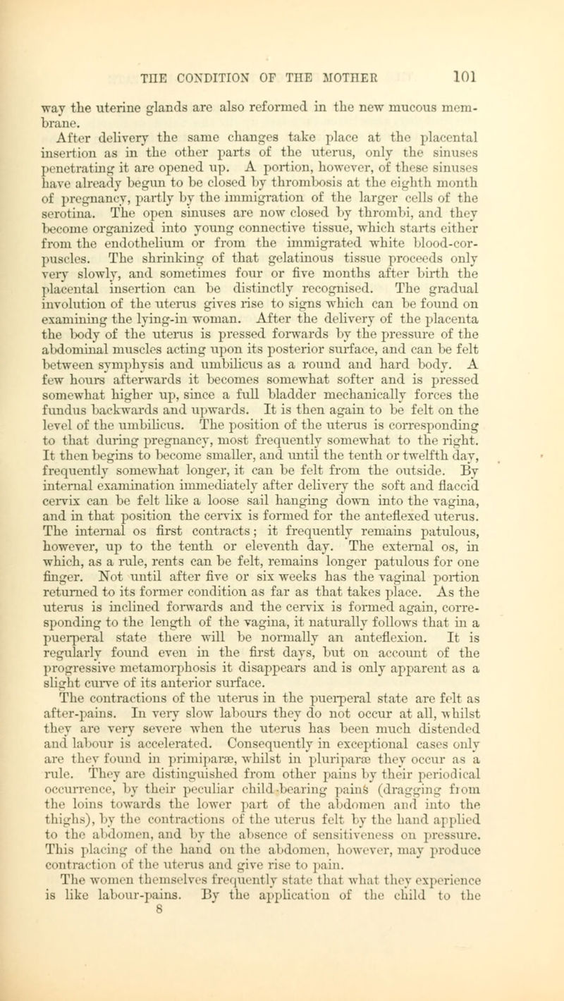 way the uterine glands are also reformed in the new mucous mem- brane. After delivery the same changes take place at the placental insertion as in the other parts of the uterus, only the Bimises penetrating it are opened up. A portion, however, of these sinuses bave already begun to be closed by thrombosis at the eighth month of pregnancy, partly by the immigration of the larger cells of the serotina. The open sinuses are now closed by thrombi, and they become organized into young connective tissue, which starts either from the endothelium or from the immigrated white blood-cor- puscles. The shrinking of that gelatinous tissue proceeds only very slowly, and sometimes four or five months after birth the placental insertion can be distinctly recognised. The gradual involution of the uterus gives rise to signs which can be found on examining the lying-in woman. After the delivery of the placenta the body of the uterus is pressed forwards by the pressure of the abdominal muscles acting upon its posterior surface, and can be felt between symphysis and umbilicus as a round and hard body. A few hours afterwards it becomes somewhat softer and is pressed somewhat higher up, since a full bladder mechanically forces the fundus backwards and upwards. It is then again to be felt on the level of the umbilicus. The position of the uterus is corresponding to that during pregnancy, most frequently somewhat to the right. It then begins to become smaller, and until the tenth or twelfth day, frequently somewhat longer, it can be felt from the outside. By internal examination immediately after delivery the soft and flaccid cervix can be felt like a loose sail hanging down into the vagina, and in that position the cervix is formed for the anteflexed uterus. The internal os first contracts; it frequently remains patulous, however, up to the tenth or eleventh day. The external os, in which, as a rule, rents can be felt, remains longer patulous for one finger. Not until after five or six weeks has the vaginal portion returned to its former condition as far as that takes place. As the uterus is inclined forwards and the cervix is formed again, corre- sponding to the length of the vagina, it naturally follows that in a puerperal state there will be normally an anteflexion. It is regularly foimd even in the first days, but on account of the progressive metamorphosis it disappears and is only apparent as a slight curve of its anterior surface. The contractions of the uterus in the puerperal state are felt as after-pains. In very slow labours they do not occur at all, whilst they are very severe when the uterus has been much distended and labour is accelerated. Consequently in exceptional cases only are they found in Primiparae, whilst in pluriparae they occur as a rule They are distinguished from other pains by their periodical occurrence, by their peculiar child-bearing pains (dragging from the loins towards the lower part of the abdomen and into the thighs), by the contractions of the uterus felt by the hand applied to the abdomen, and by the absence of sensitiveness y\^ pressure. This placing of the hand on the abdomen, however, may produce contraction '4' the uterus and give rise t<> pain. The women themselves frequently state that what they experience is like labour-]'ains. By the application of the child to the