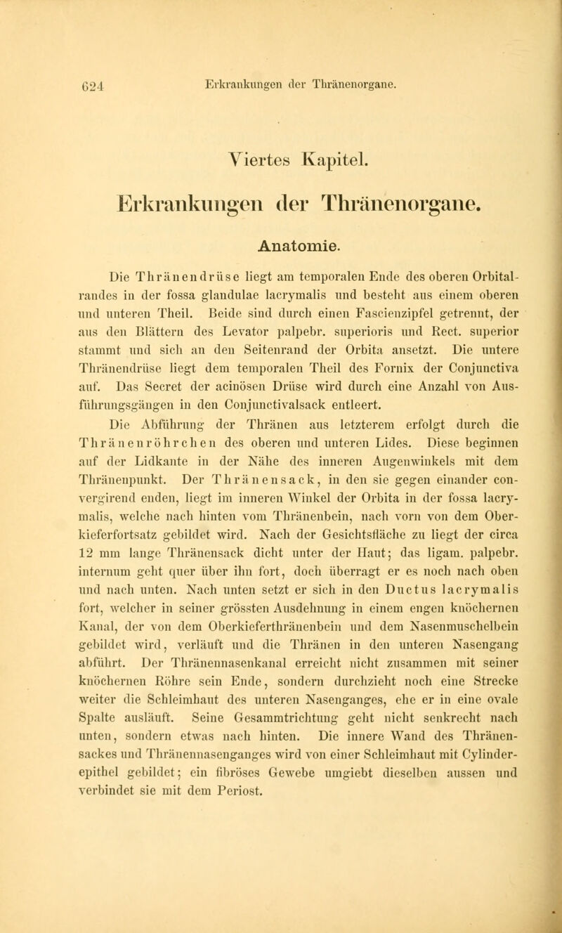 Viertes Kapitel. Erkrankungen der Thränenorgane. Anatomie. Die Thränendrüse liegt am temporalen Ende des oberen Orbital- randes in der fossa glandulae lacrymalis und besteht aus einem oberen und unteren Theil. Beide sind durch einen Fascienzipfel getrennt, der aus den Blättern des Levator palpebr. superioris und Rect. superior stammt und sich an den Seitenrand der Orbita ansetzt. Die untere Thränendrüse liegt dem temporalen Theil des Fornix der Conjunctiva auf. Das Secret der acinösen Drüse wird durch eine Anzahl von Aus- führungsgängen in den Conjunctivalsack entleert. Die Abführung der Thränen aus letzterem erfolgt durch die Thränenröhrchen des oberen und unteren Lides. Diese beginnen auf der Lidkante in der Nähe des inneren Augenwinkels mit dem Thränenpunkt. Der Thränensack, in den sie gegen einander con- vergirend enden, liegt im inneren Winkel der Orbita in der fossa lacry- malis, welche nach hinten vom Thränenbein, nach vorn von dem Ober- kieferfortsatz gebildet wird. Nach der Gesichtsfläche zu liegt der circa 12 mm lange Thränensack dicht unter der Haut; das ligam. palpebr. internum geht quer über ihn fort, doch überragt er es noch nach oben und nach unten. Nach unten setzt er sich in den Ductus lacrymalis fort, welcher in seiner grössten Ausdehnung in einem engen knöchernen Kanal, der von dem Oberkieferthränenbein und dem Nasenmuschelbein gebildet wird, verläuft und die Thränen in den unteren Nasengang abführt. Der Thränennasenkanal erreicht nicht zusammen mit seiner knöchernen Röhre sein Ende, sondern durchzieht noch eine Strecke weiter die Schleimhaut des unteren Nasenganges, ehe er in eine ovale Spalte ausläuft. Seine Gesammtrichtung geht nicht senkrecht nach unten, sondern etwas nach hinten. Die innere Wand des Thränen- sackes und Thränennasenganges wird von einer Schleimhaut mit Cylinder- epithel gebildet; ein fibröses Gewebe umgiebt dieselben aussen und verbindet sie mit dem Periost.