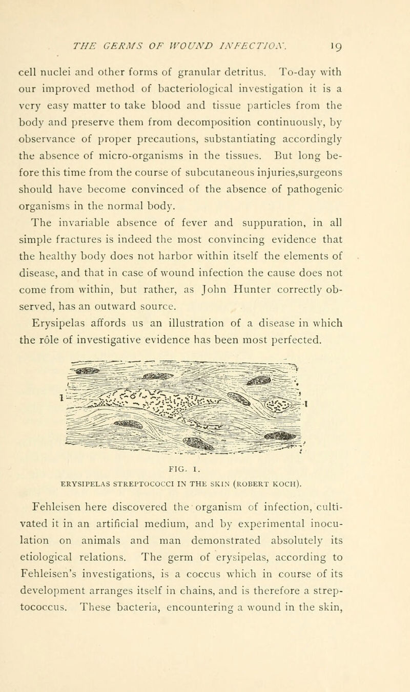 cell nuclei and other forms of granular detritus. To-day with our improved method of bacteriological investigation it is a very easy matter to take blood and tissue particles from the body and jireserve them from decomposition continuously, by observance of proper precautions, substantiating accordingly the absence of micro-organisms in the tissues. But long be- fore this time from the course of subcutaneous injuries.surgeons should have become convinced of the absence of pathogenic organisms in the normal body. The invariable absence of fever and suppuration, in all simple fractures is indeed the most convincing evidence that the healthy body does not harbor within itself the elements of disease, and that in case of wound infection the cause does not come from within, but rather, as John Hunter correctly ob- served, has an outward source. Erysipelas affords us an illustration of a disease in which the role of investigative evidence has been most perfected. FIG. I. ERYSIPELAS STREPTOCOCCI IN THE SKIN (ROBERT KOCH). Fehleisen here discovered the organism of infection, culti- vated it in an artificial medium, and by experimental inocu- lation on animals and man demonstrated absolutely its etiological relations. The germ of erysipelas, according to Fehleisen's investigations, is a coccus which in course of its development arranges itself in chains, and is therefore a strep- tococcus. These bacteria, encountering a wound in the skin,