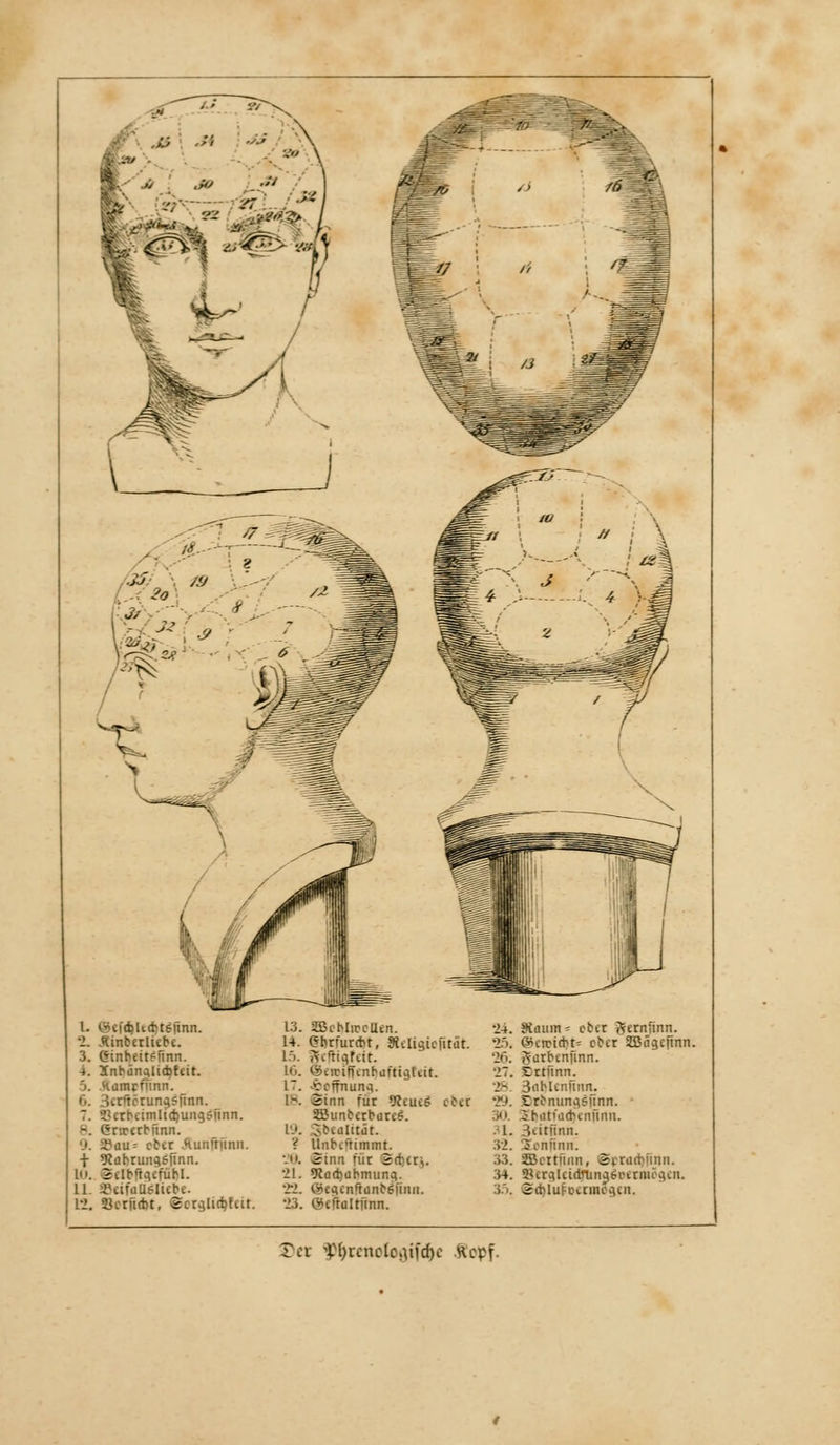 1. i'uc&UdjUjinn. '2. Äinberlitbi. 3. (Jinhm?finn. -t. inbiinalicrjfeiE. 5. Hümrfünn. 6. 'nrtctun^sfinn. 7. SSerbcimlidjungsfinn. 8. Cnrcrbfinn. 9. i^iiu: ober ..Huiifritnn. f 9*<ibruna,sfinn. 1. Scftfecfubl. 11. SafaOäliebc 12. «erficht, ©crglicbtm. 13. SBehlirclUn. 24. Staunt« ob« gem'inn. 14 Cbnurcbr, Sttligicfität. •?.'!. ©crcicbt» ober 2Bägc|tnn 15. gcfHofcir. 26; gatbcniinn. 16. ©«»ifftnftüftigttit. 27 tttunn. 1 . •Hoffnung. 28 3nblcnHim. I-. @inn für Reueä obti 29. Crbnungefmn. SBunbabim?. 30. 2biitui(biiifiiiii. 19. gbtalität. 1. 3eitfinn. t llnbi'timmt. 32. oc nun ii. ■ ii. Sinn für ©rtjcrj. 33. SScrtfuin, ©vrarbiinn. 21. 9c.acbiihmuna.. 34. aurgicidmngsr-inmiun. 22 iScgcnftiinbSitnii. 3.i. ©cblufDCtmegen. 23 ©cffaltfinn. Ter 3tyrenologffd)( Hopf.