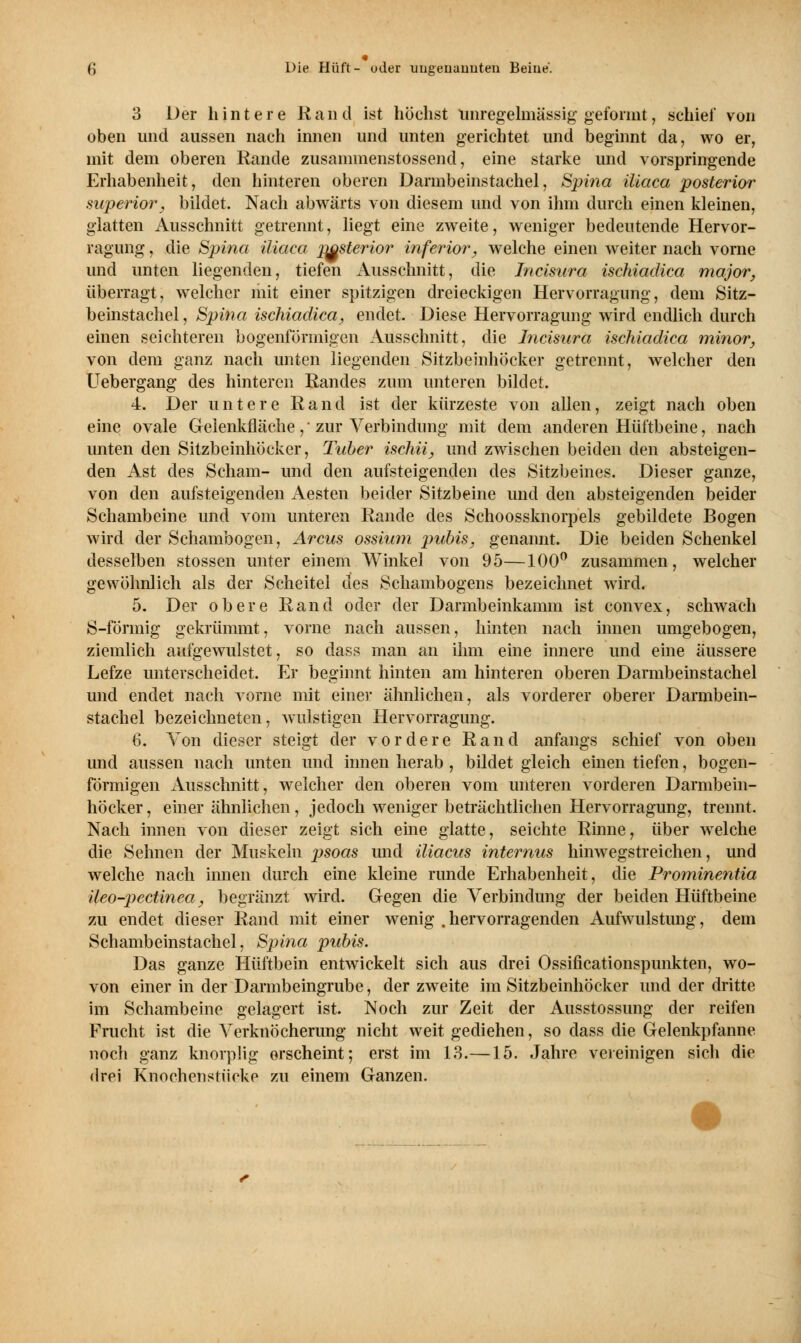 3 Der hintere Rand ist höchst unregelmässig geformt, schief von oben und aussen nach innen und unten gerichtet und beginnt da, wo er, mit dem oberen Rande zusaminenstossend, eine starke und vorspringende Erhabenheit, den hinteren oberen Darmbeinstachel, Spina iliaca posterior superior, bildet. Nach abwärts von diesem und von ihm durch einen kleinen, glatten Ausschnitt getrennt, liegt eine zweite, weniger bedeutende Hervor- ragung , die Spina iliaca posterior inferior, welche einen weiter nach vorne und unten liegenden, tiefen Ausschnitt, die Incisura ischiadica major, überragt, welcher mit einer spitzigen dreieckigen Hervorragung, dem Sitz- beinstachel, Spina ischiadica, endet. Diese Hervorragung wird endlich durch einen seichteren bogenförmigen Ausschnitt, die Incisura ischiadica minor, von dem ganz nach unten liegenden Sitzbeinhöcker getrennt, welcher den Uebergang des hinteren Randes zum unteren bildet. 4. Der untere Rand ist der kürzeste von allen, zeigt nach oben eine ovale Gelenkfläche,' zur Verbindung mit dem anderen Hüftbeine, nach unten den Sitzbeinhöcker, Tuber ischii, und zwischen beiden den absteigen- den Ast des Scham- und den aufsteigenden des Sitzbeines. Dieser ganze, von den aufsteigenden Aesten beider Sitzbeine und den absteigenden beider Schambeine und vom unteren Rande des Schoossknorpels gebildete Bogen wird der Schambogen, Arcus ossium pubis, genannt. Die beiden Schenkel desselben stossen unter einem Winkel von 95—100° zusammen, welcher gewöhnlich als der Scheitel des Schambogens bezeichnet wird. 5. Der obere Rand oder der Darmbeinkamm ist convex, schwach S-förmig gekrümmt, vorne nach aussen, hinten nach innen umgebogen, ziemlich aufgewulstet, so dass man an ihm eine innere und eine äussere Lefze unterscheidet. Er beginnt hinten am hinteren oberen Darmbeinstachel und endet nach vorne mit einer ähnlichen, als vorderer oberer Darmbein- stachel bezeichneten, wulstigen Hervorragung. 6. Von dieser steigt der vordere Rand anfangs schief von oben und aussen nach unten und innen herab , bildet gleich einen tiefen, bogen- förmigen Ausschnitt, weicher den oberen vom unteren vorderen Darmbein- höcker, einer ähnlichen, jedoch weniger beträchtlichen Hervorragung, trennt. Nach innen von dieser zeigt sich eine glatte, seichte Rinne, über welche die Sehnen der Muskeln psoas und iliacus internus hinwegstreichen, und welche nach innen durch eine kleine runde Erhabenheit, die Prominentia ileo-pectinea, begränzt wird. Gegen die Verbindung der beiden Hüftbeine zu endet dieser Rand mit einer wenig .hervorragenden Aufwulstung, dem Schambeinstachel, Spina pubis. Das ganze Hüftbein entwickelt sich aus drei Ossificationspunkten, wo- von einer in der Darmbeingrube, der zweite im Sitzbeinhöcker und der dritte im Schambeine gelagert ist. Noch zur Zeit der Ausstossung der reifen Frucht ist die Verknöcherung nicht weit gediehen, so dass die Gelenkpfanne noch ganz knorplig erscheint; erst im 13.—15. Jahre vereinigen sich die drei Knochenstücke zu einem Ganzen.