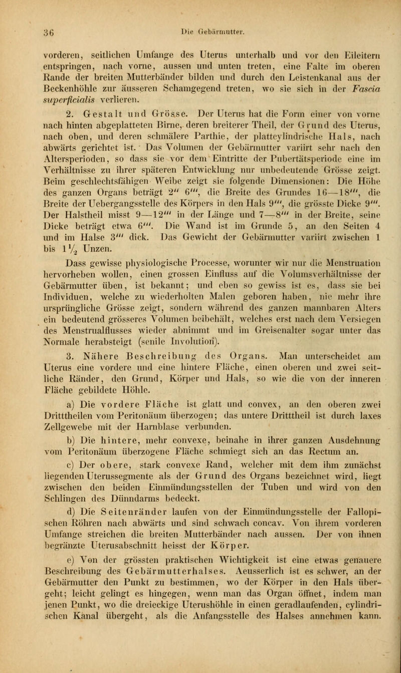 vorderen, seitlichen Umfange des Uterus unterhalb und vor den Eileitern entspringen, nach vorne, aussen und unten treten, eine Falte im oberen Rande der breiten Mutterbänder bilden und durch den Leistenkanal aus der Beckenhöhle zur äusseren Schamgegend treten, wo sie sich in der Fascia superficialis verlieren. 2. Gestalt und Grösse. Der Uterus hat die Form einer von vorne nach hinten abgeplatteten Birne, deren breiterer Theil, der Grund des Uterus, nach oben, und deren schmälere Parthie, der plattcylmdrische Hals, nach abwärts gerichtet ist. Das Volumen der Gebärmutter variirt sehr nach den Altersperioden, so dass sie vor dem Eintritte der Pubertätsperiode eine im Verhältnisse zu ihrer späteren Entwicklung nur unbedeutende Grösse zeigt. Beim geschlechtsfähigen Weibe zeigt sie folgende Dimensionen: Die Höhe des ganzen Organs beträgt 2 6', die Breite des Grundes 16—18', die Breite der Uebergangsstelle des Körpers in den Hals 9', die grösste Dicke 9'. Der Halstheil misst 9—12' in der Länge und 7—8' in der Breite, seine Dicke beträgt etwa 6'. Die Wand ist im Grunde 5, an den Seiten 4 imd im Halse 3' dick. Das Gewicht der Gebärmutter variirt zwischen 1 bis l1/, Unzen. Dass gewisse physiologische Processe, worunter wir nur die Menstruation hervorheben wollen, einen grossen Einfluss auf die Volumsverhältnisse der Gebärmutter üben, ist bekannt; und eben so gewiss ist es, dass sie bei Individuen, welche zu wiederholten Malen geboren haben, nie mehr ihre ursprüngliche Grösse zeigt, sondern während des ganzen mannbaren Alters ein bedeutend grösseres Volumen beibehält, welches erst nach dem Versiegen des Menstrualflusses wieder abnimmt und im Greisenalter sogar unter das Normale herabsteigt (senile Involution). 3. Nähere Beschreibung des Organs. Man unterscheidet am Uterus eine vordere und eine hintere Fläche, einen oberen und zwei seit- liche Ränder, den Grund, Körper und Hals, so wie die von der inneren Fläche gebildete Höhle. a) Die vordere Fläche ist glatt und convex, an den oberen zwei Dritttheilen vom Peritonäum überzogen; das untere Dritttheil ist durch laxes Zellgewebe mit der Harnblase verbunden. b) Die hintere, mehr convexe, beinahe in ihrer ganzen Ausdehnung vom Peritonäum überzogene Fläche schmiegt sich an das Rectum an. c) Der obere, stark convexe Rand, welcher mit dem ihm zunächst liegenden Uterussegmente als der Grund des Organs bezeichnet wird, liegt zwischen den beiden Einmündungssteilen der Tuben und wird von den Schlingen des Dünndarms bedeckt. d) Die Seitenränder laufen von der Einmündungsstelle der Fallopi- schen Röhren nach abwärts und sind schwach coneav. Von ihrem vorderen Umfange streichen die breiten Mutterbänder nach aussen. Der von ihnen begränzte Uterusabschnitt heisst der Körper. c) Von der grössten praktischen Wichtigkeit ist eine etwas genauere Beschreibung des Gebärmutterhalses. Aeusserlich ist es schwer, an der Gebärmutter den Punkt zu bestimmen, wo der Körper in den Hals über- geht; leicht gelingt es hingegen, wenn man das Organ öffnet, indem man jenen Punkt, wo die dreieckige Uterushöhle in einen geradlaufenden, cylindri- schen Kanal übergeht, als die Anfangsstelle des Halses annehmen kann.