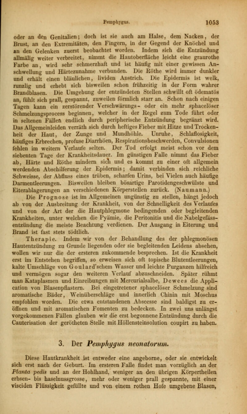 oder an den Genitalien; doch bfl >ie auch am Halse, dem Nacken, der Brust, an den Extremitäten, den Fingern, in der Gegend der Knöchel und an den Gelenken zuerst beobachtet worden. Indem sich die Entzündung allmälig weiter verbreitet, nimmt die Hautoberfläche leicht eine graurothe Farbe an, wird sehr sehmerzhal't und i*t häufig mit einer gewissen An- schwellung und Härtezunahme verbunden. Die B&thfl wird immer dunkler und erhält einen bläulichen, lividen Anstrich. Die Epidermis ist welk, runzlig und erhebt sich bisweilen schon frühzeitig in der Form wahrer Brandblasen. Die Umgebung der entzündeten Stellen schwillt oft ödematos an, fühlt sich prall, gespannt, zuweilen förmlich starr an. Schon nach einigen Tagen kann ein zerstörender Verschwärungs- oder ein mehr sphacelöser Schmelzungsprocess beginnen, welcher in der Regel zum Tode führt oder in seltenen Fällen endlich durch peripherische Entzündung begränzt wird. Das Allgemeinleiden verräth sich durch heftiges Fieber mit Hitze und Trocken- heit der Haut, der Zunge und Mundhöhle. Unruhe. Schlaflosigkeit, häufiges Erbrechen, profuse Diarrhöen, Respirationsbeschwerden, Convulsionen fehlen im weitern Verlaufe selten. Der Tod erfolgt meist schon vor dem siebenten Tage der Krankheitsdauer. Im günstigen Falle nimmt das Fieber ab, Härte und Röthe mindern sich und es kommt zu einer oft allgemein werdenden Abschilferung der Epidermis; damit verbinden sich reichliche Schweisse, der Abfluss eines trüben, scharfen Urins, bei Vielen auch häufige Darmentleerungen. Bisweilen bleiben bösartige Parotidengeschwülste und Eiterablagerungen an verschiedenen Körperstellen zurück. (Naumann.; Die Prognose ist im Allgemeinen ungünstig zu stellen, hängt jedoch ab von der Ausbreitung der Krankheit, von der Schnelligkeit des Verlaufes und von der Art der die Hautphlegmone bedingenden oder begleitenden Krankheiten, unter welchen die Pyäniie, die Peritonitis und die Nabelgel entzündung die meiste Beachtung verdienen. Der Ausgang in Eiterung und Brand ist fast stets tödtlich. Therapie. Indem wir von der Behandlung des der phlegmonösen Hautentzündung zu Grunde liegenden oder sie begleitenden Leidens absehen, wollen wir nur die der ersteren zukommende besprechen. Ist die Krankheit erst im Entstehen begriffen, so erweisen sich oft topische Blutentleerungen, kalte Umschläge von Goulard'schem Wasser und leichte Purganzen hilfreich und vermögen sogar den weiteren Verlauf abzuschneiden. Später rühmt man Kataplasmen und Einreibungen mit Mercurialsalbe, Dewees die Appli- cation von Blasenpflastern. Bei eingetretener sphacelöser Schmelzung sind aromatische Bäder, Weinüberschläge und innerlich Chinin mit Moschus empfohlen worden. Die etwa entstandenen Abmesse sind baldigst zu er- öffnen und mit aromatischen Fomenten zu bedecken. In zwei uns unlängst vorgekommenen Fällen glauben wir die erst begonnene Entzündung durch die Cauterisation der gerötheten Stelle mit Höllensteinsolution coupirt zu haben. 3. Der Pemphygus neonatorum. Diese Hautkrankheit ist entweder eine angeborae, oder sie entwickelt sich erst nach der Geburt. Im ersteren Falle findet man vorzüglich an der Planta pedis und an der Hohlhand, weniger an den übrigen Körpertheilen erbsen- bis haselnussgrosse, mehr oder weniger prall gespannte, mit einer viseiden Flüssigkeit gefüllte und von einem rothen Hofe umgebene Blasen,