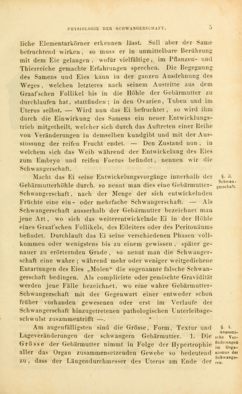 liehe Elementarkörnei erkennen lä»t. Soll aber der Same befrachtend wirken, so muss er in unmittelbare Berührung mit dem Eie gelangen; wofür viclialti-e , im Pflanzen- und Thierreiche gemachte Erfahrungen -{»rechen. Die Begegnung des Samens und Eie« kann in der ganzen Ausdehnung des Weges, weichen letzteres nach seinem Austritte aus dem Graafschen Follikel bis in die Hohle der Gebärmutter zu durchlaufen hat, stattfinden; in den Ovarien, Tuben und im Uterus Belbst. — Wird nun das Ei befruchtet , so wird ihm durch die Einwirkung des Samens ein neuer Entwicklungs- trieb mitgetheilt, welcher sich durch das Auftreten einer Reihe von Veränderungen in demselben kundgibt und mit der Aus- stossung der reifen Frucht endet. — Den Zustand nun . in welchem sich das Weil) während der EntWickelung des E zum Embryo und reifen Foetus befindet, nennen wir die Schwangerschaft. Macht das Ei seine Entwickelungsvorgänge innerhalb der *• ;>- Gebärmutterhöhle durch, so nennt man dies eine Gebärmutter- gerschtfi. Schwangerschaft, nach der Menge der sich entwickelnden Früchte eine ein- oder mehrfache Schwangerschaft. — Als Schwangerschaft ausserhalb der Gebärmutter bezeichnet man jene Art, wo sich das weiterentwickelnde Ei in der Höhle eines Graafschen Follikels, des Eileiters oder des Peritonäum> befindet. Durchlauft das Ei seine verschiedenen Phasen voll- kommen oder wenigstens bis zu einem gewissen , später ge- nauer zu erörternden Grade, so nennt man die Schwanger- schaft eine wahre ; während mehr oder weniger weitgediehene Entartungen des Eies „Molen die sogenannte falsche Schwan- gerschaft bedingen. Als complicirte oder gemischte Gravidität werden jene Fälle bezeichnet, wo eine wahre Gebärmutter- Schwaugerschaft mit der Gegenwart einer entweder schon früher vorhanden gewesenen oder erst im Verlaufe dei Schwangerschaft hinzugetretenen pathologischen Unterleibsge- Bchwulst zusammentrifft —. Am augenfälligsten sind die Grösse, Form. Textur und $• '»• t •• i^ ii -o, , , . Anaiomi- LageVeränderungen der schwangern Gebärmutter. 1. Die sehe ver- Grosse der Gebärmutter nimmt in Folge der Bypertrophie *JVZ7T- aller das Organ zusammensetzenden Gewebe so bedeutend ni»mus der zu , dass der Längendurchmesser des Uterus am Ende der rea<