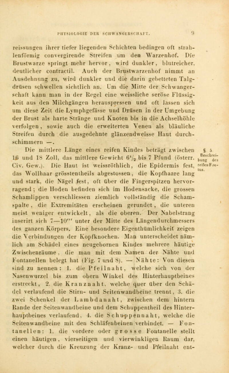 reissungen ihrer tiefer liegenden Schichten bedingen oft strah- lenförmig convergirende Streifen um den Warzenhof. Die Brustwarze springt mehr hervor, wird dunkler, blutreicher, deutlicher contractu. Auch der Brustwarzenhof nimmt an Ausdehnung zu, wird dunkler und die darin gebetteten Talg- drüsen schwellen sichtlich an. Um die Mitte der Schwanger- schaft kann man in der Regel eine weissliche seröse Flüssig- keit au> den Milchkannen herauspressen und oft lassen sicli um diese Zeit die Lymphgefösse und Drüsen in der Umgebung der Brust als harte Stränge und Knoten bis in die Achselhöhle verfolgen, sowie auch die erweiterten Venen als bläuliche Streifen durch die ausgedehnte glänzendweisse Haut durch- schimmern —. Die mittler*.' Länge eines reifen Kindes beträgt zwischen § 5 lü und t8 Zoll, das mittlere Gewicht 6V2 bis 7 Pfund (österr. h^chr^a Civ. Gew.)- Die Haut ist weissrüthlich, die Epidermis fest. reift« r*«- lus. das Wollhaar grösstenteils abgestossen, die Kopfhaare lang und stark, die Nägel fest, oft über die Fingerspitzen hervor- ragend ; die Hoden befinden sich im Hodensacke, die grossen Schamlippen verschliessen ziemlich vollständig die Scham- spalte , die Extremitäten erscheinen gerundet, die unteren meist wenigec entwickelt, als die oberen. Der Nabelstrang iiiM'iirt sich 7—10' unter der Mitte des Längendurchmessers des ganzen Körpers. Eine besondere Eigentümlichkeit zeigen die Verbindungen der Kopfknochen. Man unterscheidet näm- lich am Schädel eines neugebornen Kindes mehrere häutige Zwischenräume, die man mit dem Namen der Nähte und Fontanellen belegt hat (Fig. 7 und S). — Nähte: Von diesen sind zu nennen: 1. die Pfeilnaht, welche sich von der Nasenwurzel bis zum obern Winkel des Hinterhauptbein«- erstreckt, 2, die Kranznaht, welche quer über den Schä- del verlaufend die Stirn- und Seitenwandbeine trennt, 3. die zwei Sehenkel der Eambdanaht, zwischen dein hintern Rande der Seitenwandbeine und dein SchuBpentheil des Hinter- hauptbeines verlaufend, 4. die s c huppen na h t, welche die Seitenwandbeine mit den Schläfen bei uen verbindet — Fon- tanellen: 1. die \ordere oder grosse Fontanelle stellt einen häutigen , vierseitigen und vierwinkligen Kaum dar, welcher durch die Kreuzung der Kranz- und Pfeilnaht ent-