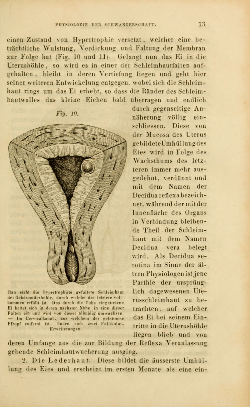 einen Zustand von Hypertrophie versetzt, welcher eine be- trächtliche Wulstuog, Verdickung und Faltung der Membran znr Folge hat (Fig. 10 und 11). Gelangt nun das Ei in die Uterusliühle , so wird es in einer der Schleimhautfalten auf- gehalten , bleibt in deren Vertiefung liegen und geht hier Beiner weiteren Entwicklung entgegen, wobei sieh die Schleim- haut rings um das Ei erhebt, so dass die Ränder des Schleim- hautwalles das kleine Fliehen bald überragen und endlich durch gegenseitige An- Fiq. 10. .., b £ ....v . naherung völlig em- schliessen. Diese von der Mucosa des Uterus gebildeteUmhüllungdes Eies wird in Folge des AVaclisthums des letz- teren immer mehr aus- gedehnt, verdünnt und mit dem Namen der Decidua reflexabezeieh- net, während der mit der Innenfläche des Organs in Verbindung bleiben- de Theil der Schleim- haut mit dem Namen Decidua vera belegt wird. Als Decidua se- rotina im Sinne der al- tern Physiologen ist jene Parthie der ursprüng- lich dagewesenen Ute- russchleimhaut zu be- trachten . auf welcher das Ei bei seinem Ein- tritte in die Uterushöhle liegen blieb, und von deren Umfange aus die zur Bildung der Reflex« Veranlassung gebende Sehleimhaut Wucherung ausging. 2. Die Lederhaut. Diese bildet die äusserste Umhül- lung des Eies und erscheint im ersten Monate als eine ein- 31an sieht die hvpertrophirle sfefalleie Schleimhaut der Gebärmiitterhohle, durch welche die letztere voll- kommen erfüllt ist. I);is durch die Tuba eingetretene Ei bellet sich in denn nächster Nähe in eine dieser Kalten ein und wird von dieser allmäliir umwachsen. — Im Ccrvicalk;innl , aus welchem der £elatinÖ*e Pfropf entfernt ist. Raden sich zwei Follikulär- Erweiterung« n