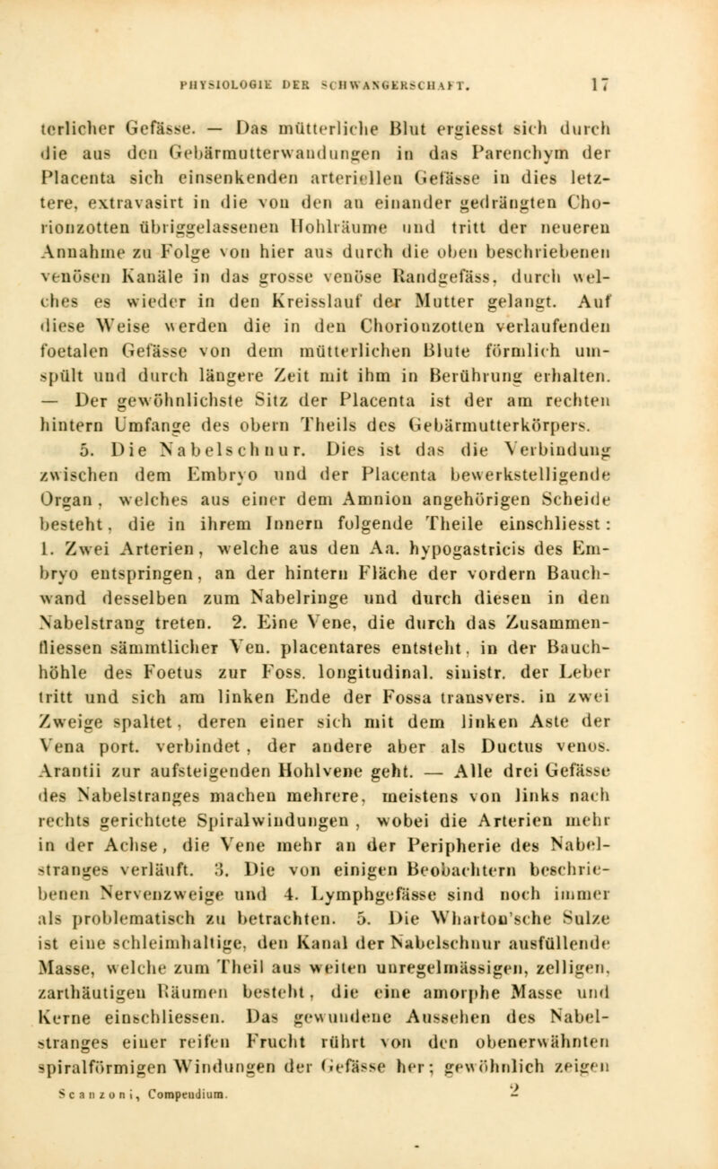 tcrlieher Gefässe. — Das mütterliche Blut ergies^t sich durch die aus dcu Gebärmutterwandungen iu das Parenchym der Placeuta sich einsenkenden arteriellen Geflfeee in dies letz- tere, extravasirt in die von den an einander gedrängten Cho- rionzotten übriggelassenen Hohlräume und tritt der neuereu Amiahme zu Folge von hier aus durch die oben beschriebenen venösen Kanäle in das grosse venöse Randgefäss. durch wel- ches es wieder in den Kreisslaut' der Mutter gelangt. Auf diese Weise werden die in den Chorionzotten verlaufenden foetalen Gefässe von dem mütterlichen Blute förmlich um- spült und durch längere Zeit mit ihm in Berührung erhalten. — Der gewöhnlichste Sitz der Placenta ist der am rechten hintern Umfange des obern Theils des Gebärmutterkörpers. 5. Die Nabelschnur. Dies ist das die Verbindung zwischen dem Embryo und der Placenta bewerkstelligende Organ , welches aus einer dem Amnion angehörigen Scheide besteht, die in ihrem Innern folgende Theile einschliesst: 1. Zwei Arterien, welche aus den Aa. hypogastricis des Em- bryo entspringen, an der hintern Fläche der vordem Bauch- wand desselben zum Nabelringe und durch diesen in den Nabelstrang treten. 2. Eine Vene, die durch das Zusammen- tliessen sämmtlicher Ven. placentares entsteht, in der Bauch- höhle des Foetus zur Foss. longitudinal. sinistr. der Leber tritt und sich am linken Ende der Fossa transvers. in zwei Zweige spaltet, deren einer sich mit dem linken Aste der Vena port. verbindet , der andere aber als Ductus venös. Arantii zur aufsteigenden Hohlvene geht. — Alle drei Gefahr des Nabelstranges machen mehrere, meistens von links nach recht« gerichtete Spiralwindungen , wobei die Arterien mehr in der Achse, die Vene mehr an der Peripherie des Nabel- stränge« verläuft. :>. Die von einigen Beobachtern beschrie- benen Nervenzweige und 4. Lymphgefässe sind noch immer als problematisch zu betrachten. 5. Die Whartou'sehe Sülze ist eine schleimhalt ige, den Kanal der Kabelschnu? ausfüllende Masse, welche zum Theil aus weiten unregelmässigen, zelligen, zarthäutigeu Bäumen besteht. die eine amorphe Masse und Kerne einschliessen. Das gewundene Aussehen des Nabel- stranges einer reifen Frucht rührt von den obenerwähnten spiralförmigen Windungen der Gefltese her} gewöhnlich zeigen Seaazoii, Compeudium. -