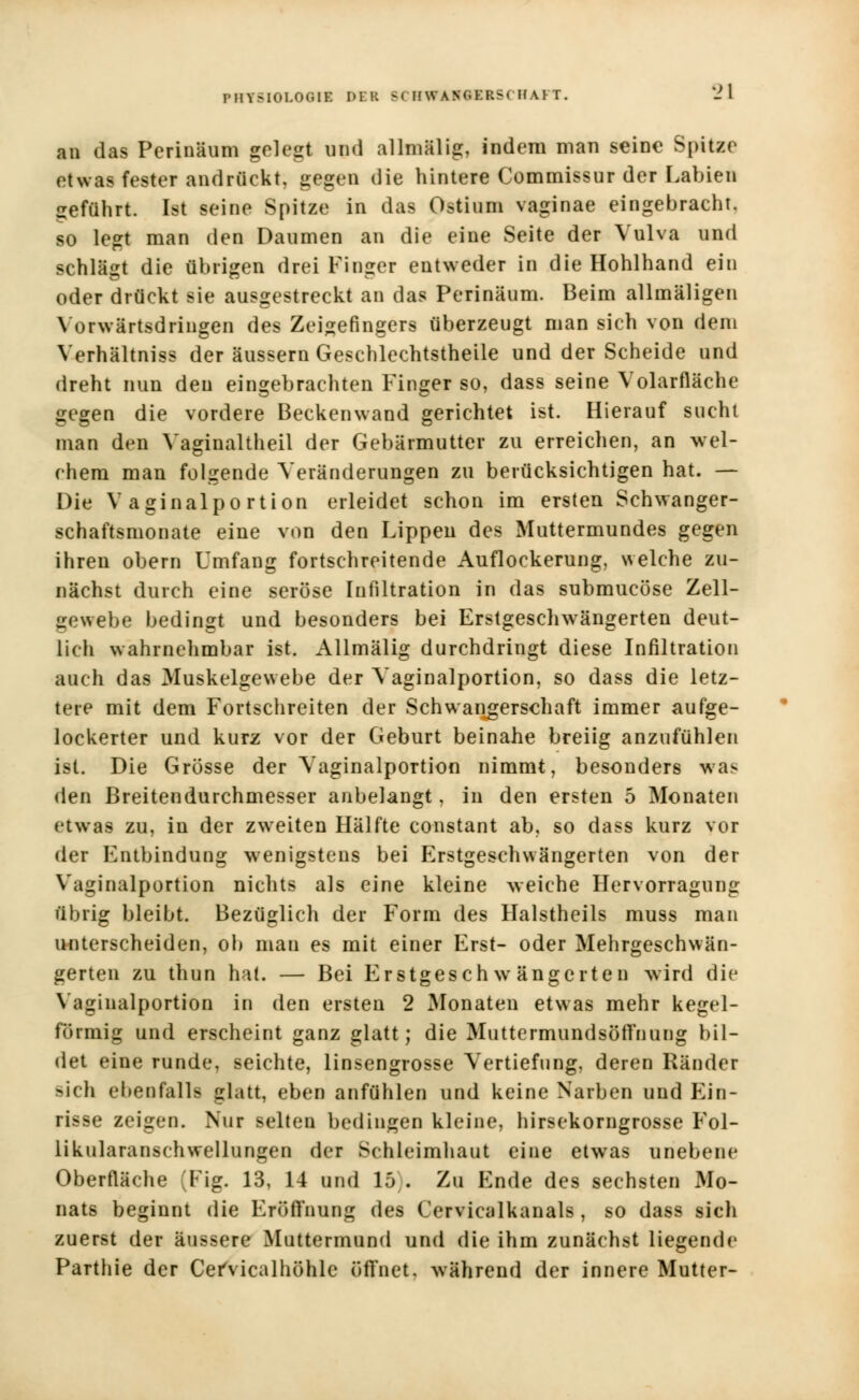 an das Pcrinäum gelegt und allmälig, indem man seine Spitze etwas fester andrückt, gegen die hintere Commissur der Labien geführt. Ist seine Spitze in das Ostium vaginae eingebracht, so legt man den Daumen an die eine Seite der Vulva und schlägt die übrigen drei Finger entweder in die Hohlhand ein oder drückt sie ausgestreckt an das Perinäum. Beim allmäligen Yorwärtsdringen des Zeigefingers überzeugt man sich von dem Verhältniss der äussern Geschlechtstheile und der Scheide und dreht nun den eingebrachten Finger so, dass seine Volarfläche gegen die vordere Beckenwand gerichtet ist. Hierauf sucht man den Vaginaltheil der Gebärmutter zu erreichen, an wel- chem man folgende Veränderungen zu berücksichtigen hat. — Die Vaginalportion erleidet schon im ersten Schwanger- schaftsmonate eine von den Lippen des Muttermundes gegen ihren obern Umfang fortschreitende Auflockerung, welche zu- nächst durch eine seröse Infiltration in das submucöse Zell- ircwebe bedingt und besonders bei Erstgeschwängerten deut- lich wahrnehmbar ist. Allmälig durchdringt diese Infiltration auch das Muskelgewebe der Vaginalportion, so dass die letz- tere mit dem Fortschreiten der Schwangerschaft immer aufge- lockerter und kurz vor der Geburt beinahe breiig anzufühlen ist. Die Grösse der Vaginalportion nimmt, besonders was den Breitendurchmesser anbelangt, in den ersten 5 Monaten etwas zu, in der zweiten Hälfte constant ab, so dass kurz vor der Entbindung wenigstens bei Erstgeschwängerten von der Vaginalportion nichts als eine kleine weiche Hervorragung übrig bleibt. Bezüglich der Form des Halstheils muss man unterscheiden, ob man es mit einer Erst- oder Mehrgeschwän- gerten zu thun hat. — Bei Erstgeschwängerten wird die Vaginalportion in den ersten 2 Monaten etwas mehr kegel- förmig und erscheint ganz glatt; die Muttermundsöffnung bil- det eine runde, seichte, linsengrosse Vertiefung, deren Ränder -ich ebenfalls glatt, eben anfühlen und keine Narben und Ein- risse zeigen. Nur selten bedingen kleine, hir^ekorngrosse Fol- likularanschwellungen der Schleimhaut eine etwas unebene Oberfläche (Fig. 13, 14 und 15 . Zu Ende des sechsten Mo- nats beginnt die Eröffnung des Cervicalkanals, so dass sich zuerst der äussere Muttermund und die ihm zunächst liegende Parthie der Cefvicalhöhle öffnet, während der innere Mutter-