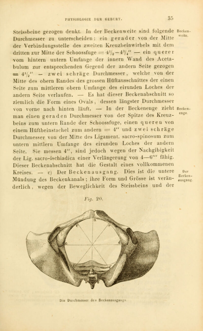 IMIYSIOLUl.IL DKI GLLI R 1 . Steissbeine gezogen denkt. In dei Hecken weite .sind folgende Durchmesser so unterx beiden: ein gerader von der Mitte der Verbindungsstelle dea zweiten Kreuzbeinwirbelfl mit dem dritten zur Mitte der Schoossfuge == 4,/2-4V4// — ein querer vom hintern untern Umfange der innem Wand de.» Aceta- bulnm zur entsprechenden Gegend der andern Seite gezogen = 41/' _ zwei schräge Durchmesser, welche von der Mitte des obern Rande- des grossen Hüftausschnittes der einen Seite zum mittleren obern Umfange des eirunden Loches der andern Seite verlaufen. — Es hat dieser Beckenabschnitt so ziemlich die Form eines Ovals, dessen längster Durchmesser von vorne nach hinten läuft. — In der Beckenenge zieht man einen geraden Durchmesser von der Spitze des Kreuz- beins zum untern Rande der Schoossfuge, einen queren von einem Hüftbeinstachel zum andern = 4 und zwei schräge Durchmesser von der Mitte des Ligament, sacro-spinosum zum untern mittlem Umfange des eirunden Loches der andern Seite. Sie messen 4, sind jedoch wegen der Nachgibigkeit der Lig. sacro-ischiadica einer Verlängerung von 4—b' fähig. Dieser Beckenabschnitt hat die Gestalt eines vollkommenen Kreises. — c) Der Becken au sgang. Dies ist die untere Mündung des Beckenkanals ; ihre Form und Grösse ist verän- derlich . wegen der Beweglichkeit des Steissbeins und der Becken- SM-Ue. Fig. 20. Die DttrcboMMCi de« Becken«