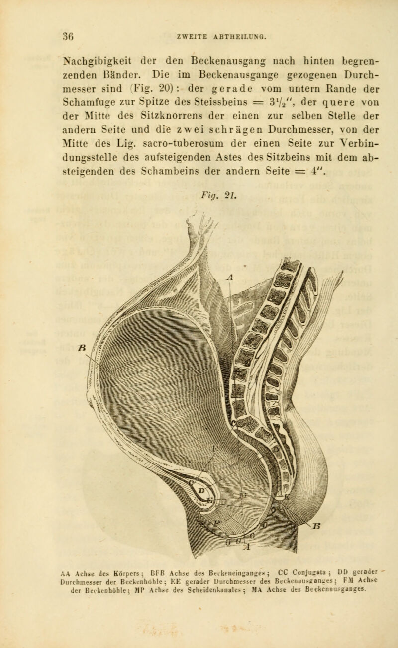 Nachgibigkeit der den Beckenausgang nach hinten begren- zenden Bänder. Die im Beckenausgange gezogenen Durch- messer sind Fig. 20): der gerade vom untern Rande der Schamfuge zur Spitze des Steissbeins = 3ll2, der quere von der Mitte des Sitzknorrens der einen zur selben Stelle der andern Seite und die zwei schrägen Durchmesser, von der Mitte des Lig. sacro-tuberosum der einen Seite zur Verbin- dungsstelle des aufsteigenden Astes des Sitzbeins mit dem ab- steigenden des Schambeins der andern Seite = 4. Fig. 21. AA Achse des Körpers: DFB Achse des Betkeiieinganges j CC Conjugala ; DD gerader Durchmesser der Beckenhohle; EE gerader Durchmesser des Beckeaausgaaees5 Fl Achse der Beikenhohle: IP Achse des Scheidenkunales : MA Achse des Beekcaaosgaagca.