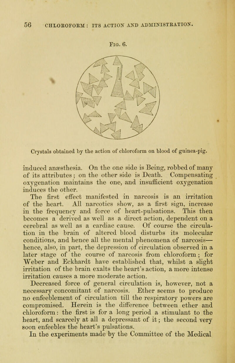 FlO. 6. Crystals obtained by tbe action of chloroform on blood of gninea-pig. induced aBsestliesia. On the one side is Being, robbed of many of its attributes ; on the other side is Death. Compensating oxygenation maintains the one, and iusuffieient oxygenation induces the other. The first eftect manifested in narcosis is an irritation of the heart. All narcotics show, as a first sign, increase in the frequency and force of heart-pulsations. This then becomes a derived as well as a direct action, dependent on a cerebral as well as a cardiac cause. Of course the circula- tion in the brain of altered blood disturbs its molecular conditions, and hence all the mental phenomena of narcosis— hence, also, in part, the depression of circulation observed in a later stage of the course of narcosis from chloroform ; for Weber and Eckhardt have established that, whilst a shght irritation of the brain exalts the heart's action, a more intense irritation causes a more moderate action. Decreased force of general circulation is, however, not a necessary concomitant of narcosis. Ether seems to produce no enfeeblement of circulation till the respiratory powers are compromised. Hereia is the difference between ether and chloroform: the first is for a long period a stimulant to the heart, and scarcely at all a depressant of it; the second very soon enfeebles the heart's pulsations. In the experiments made by the Committee of the Medical