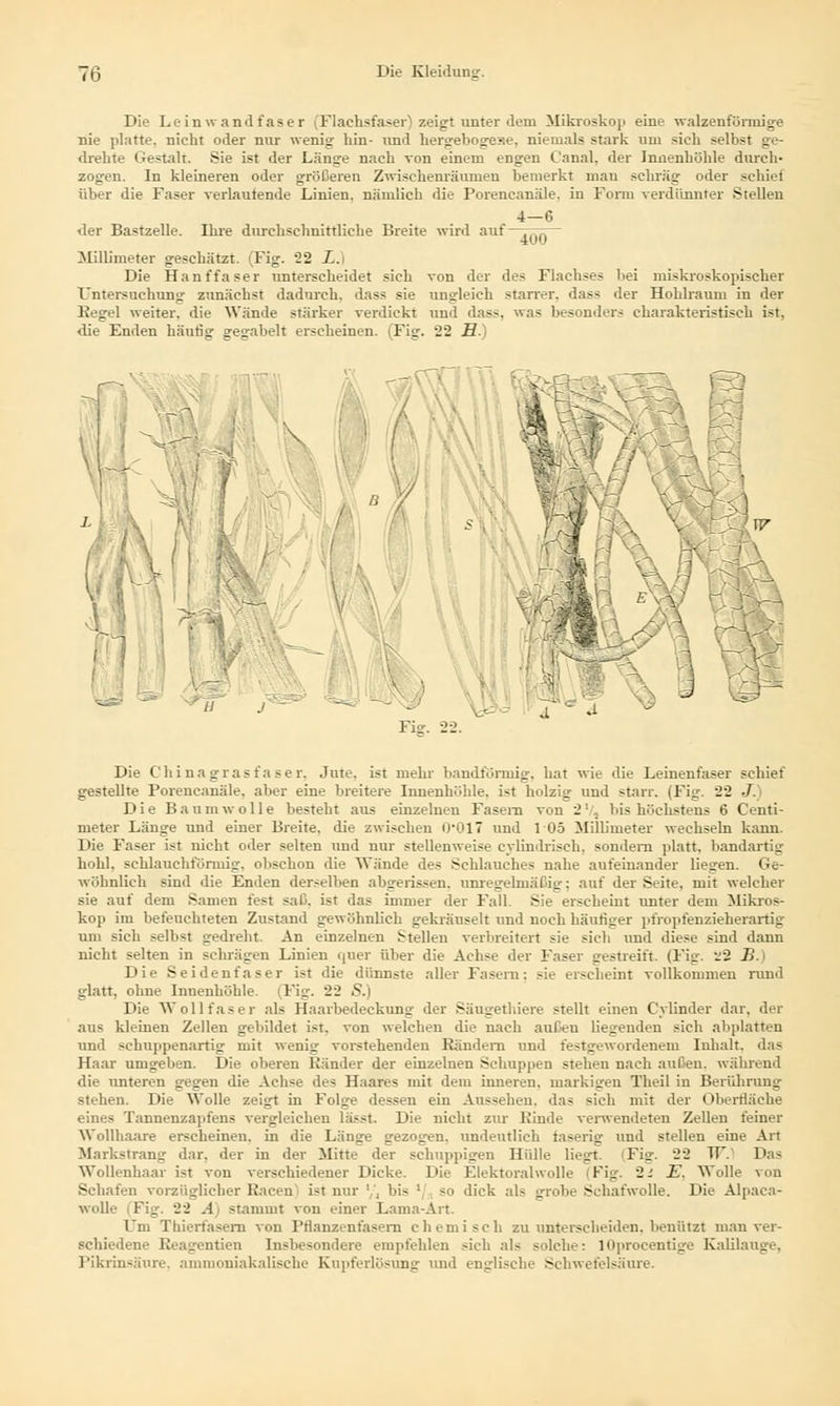 Die Leinwandfaser (Flachsfaser) zeigt unter dem Mikroskop eine walzenförmige nie platte, nicht oder nur wenig- bin- nnd hergebogeae, niemals stark um sich selbst ge- drehte Gestalt. Sie ist der Länge nach von einem engen Canal, der Innenhöhle durch- zogen. In kleineren oder größeren Zwischenräumen bemerkt man schräg oder schiel über die Faser verlautende Linien, nämlich die Porencanäle. in Form verdünnter Stellen 4—6 40Ö~ <ler Bastzelle. Ihre durchschnittliehe Breite wird auf- Milliineter geschätzt. (Fig. 22 i. Die Hanffaser unterscheidet sich von der des Flachses bei miskroskopischer Untersuchung zunächst dadurch, dass sie ungleich starrer, das* der Hohlraum in der Eegel weiter, die Wände stärker verdickt und dass. was besonders charakteristisch ist, die Enden häutig gegabelt erscheinen. (Fig. 22 H.) sirK, Fig. 22. tri Die Chinagrasfaser, Jute, ist mehr bandförmig, hat wie die Leinenfaser schief gestellte Porencanäle. aber eine breitere Innenhöhle, ist holzig und starr. (Fig. 22 Jl) Die Baumwolle besteht aus einzelnen Fasern von 27, bis höchstens 6 Centi- meter Länge und einer Breite, die zwischen 0*017 und 105 Millimeter wechseln kann. Die Faser ist nicht oder selten und nur stellenweise cylindrisch, sondern platt, bandartig hohl, schlauchförmig, obschon die Wände des Schlauches nahe aufeinander liegen. Ge- wöhnlich sind die Enden derselben abgerissen, unregelmäßig; auf der Seite, mit welcher sie auf dem Samen fest saß. ist das immer der Fall. Sie erscheint unter dem Mikros- kop im befeuchteten Zustand gewöhnlieh gekräuselt und noch häufiger pfropfenzäeherartig am sich selbst gedreht. An einzelnen Stellen verbreitert sie sich und diese sind dann nicht selten in schrägen Linien qner über die Achse der Faser gestreift. (Fig. 22 B.) Die Seidenfaser ist die dünnste aller Fasern: sie erscheint vollkommen rund glatt, ohne Innenböhle. (Fig. 22 S.) Die Wollfaser als Haarbedeckung der Säugethiere stellt einen Cylinder dar. der aus kleinen Zellen gebildet ist, von welchen die nach außen liegenden sich abplatten und schuppenartig mit wenig vorstehenden Rändern und festgewordenem Inhalt, das Haar umgeben. Die oberen Ränder der einzelnen Schuppen stehen nach außen, während die unteren gegen die Achse de* Haares mit dem inneren, markigen Theil in Berührung stehen. Die Wolle zeigt in Folge dessen ein Aussehen, das sich mit der Oberfläche eines Tannenzapfens vergleichen lä>st. Die nicht zur Rinde verwendeten Zellen feiner Wollhaare erscheinen, in die Länge gezogen, undeutlich laserig und stellen eine Art Markstrang dar, der in der Mitte der schuppigen Hülle liegt. (Fig. 22 TT.1 Das Wollenhaar ist von verschiedener Dicke. Die Elektoralwolle (Fig. 2i E. Wolle von Schafen vorzüglicher Racen ist nur ',', bis ''., so dick als grobe Schafwolle. Die Alpaca- wolle (Fig. 22 A) stammt von einer Lama-Art. Um Tliiert'asern von Pflanzenfasern chemisch zu unterscheiden, benützt mau ver- schiedene Reagentien Insbesondere empfehlen sich als solche: lOprocentige Kalilauge. Pikrinsäure, ammoniakalische Kupferlösung und englische Schwefelsäure.