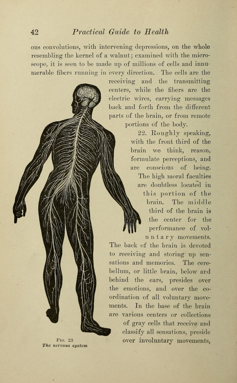 ous convolutions, with intervening depressions, on the whole resembling the kernel of a walnut; examined with the micro- scope, it is seen to be made up of millions of cells and innu- merable fibers running in every direction. The cells are the receiving and the transmitting centers, while the fibers are the electric wires, carrying messages back and forth from the different parts of the brain, or from remote portions of the body. 22. Roughly speaking, with the front third of the brain we think, reason, formulate perceptions, and are conscious of being. The high moral faculties are doubtless located in this portion of the brain. The middle third of the brain is the center for the performance of vol- u n t a r y movements. The back of the brain is devoted to receiving and storing up sen- sations and memories. The cere- bellum, or little brain, below and behind the ears, presides over the emotions, and over the co- ordination of all voluntary move- ments. In the base of the brain are various centers or collections of gray cells that receive and classify all sensations, preside Flu- 23 over involuntary movements, The nervous system