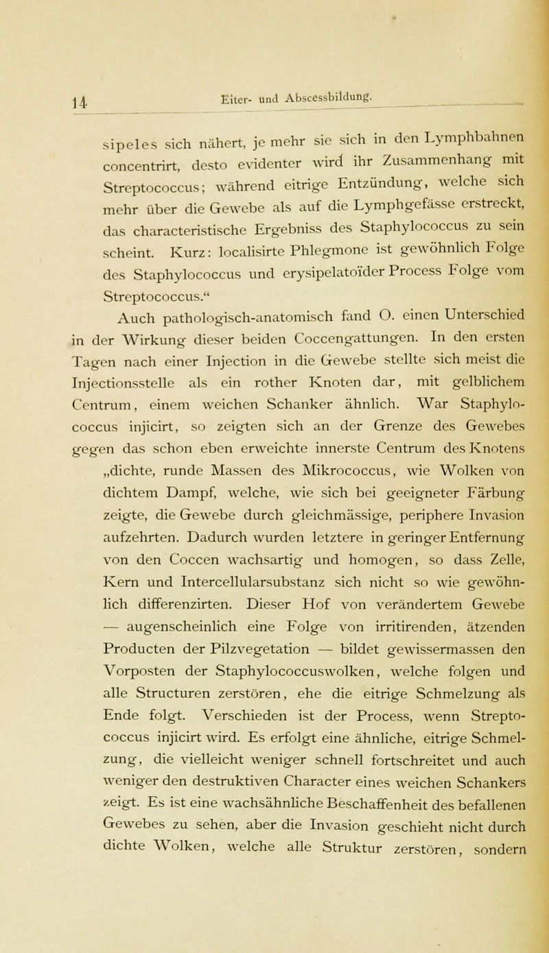 sipeles sich nähert, je mehr sie sich in den Lymphbahnen Concentrin, desto evidenter wird ihr Zusammenhang mit Streptococcus; während eitrige Entzündung, welche sich mehr über die Gewebe als auf die Lymphgefässe erstreckt, das characteristischc Ergebniss des Staphylococcus zu sein scheint. Kurz: localisirte Phlegmone ist gewöhnlich Folge des Staphylococcus und erysipelatoi'der Process Folge vom Streptococcus. Auch pathologisch-anatomisch fand O. einen Unterschied in der Wirkung dieser beiden Coccengattungen. In den ersten Tagen nach einer Injection in die Gewebe stellte sich meist die Injoctionsstelle als ein rother Knoten dar, mit gelblichem Centrum, einem weichen Schanker ähnlich. War Staphylo- coccus injicirt, so zeigten sich an der Grenze des Gewebes gegen das schon eben erweichte innerste Centrum des Knotens „dichte, runde Massen des Mikrococcus, wie Wolken von dichtem Dampf, welche, wie sich bei geeigneter Färbung zeigte, die Gewebe durch gleichmässige, periphere Invasion aufzehrten. Dadurch wurden letztere in geringer Entfernung von den Coccen wachsartig und homogen, so dass Zelle, Kern und Intercellularsubstanz sich nicht so wie gewöhn- lich differenzirten. Dieser Hof von verändertem Gewebe — augenscheinlich eine Folge von irritirenden, ätzenden Producten der Pilzvegetation — bildet gewissermassen den Vorposten der Staphylococcuswolken, welche folgen und alle Structuren zerstören, ehe die eitrige Schmelzung als Ende folgt. Verschieden ist der Process, wenn Strepto- coccus injicirt wird. Es erfolgt eine ähnliche, eitrige Schmel- zung, die vielleicht weniger schnell fortschreitet und auch weniger den destruktiven Character eines weichen Schankers zeigt. Es ist eine wachsähnliche Beschaffenheit des befallenen Gewebes zu sehen, aber die Invasion geschieht nicht durch dichte Wolken, welche alle Struktur zerstören, sondern
