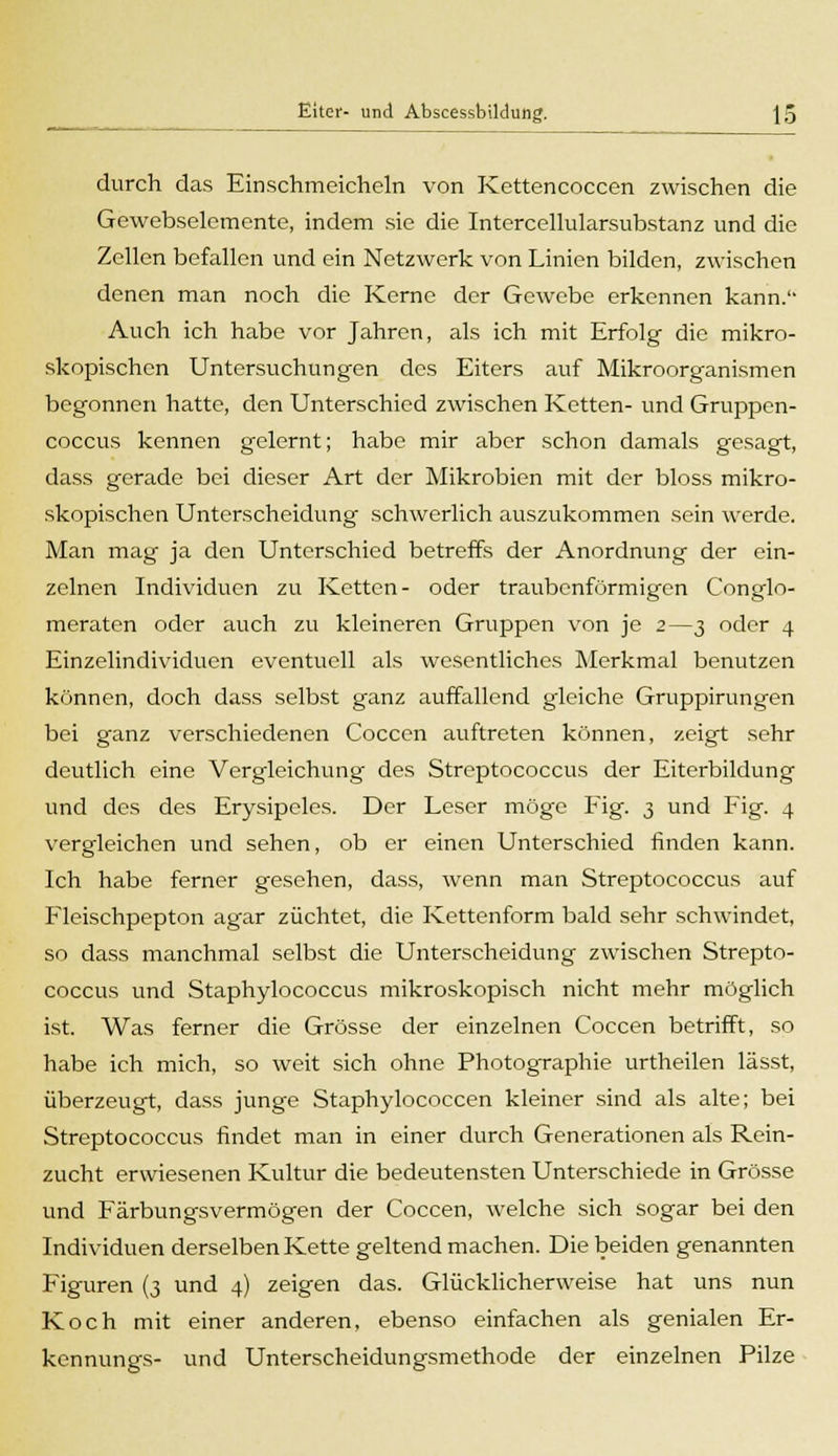 durch das Einschmeicheln von Kettencoccen zwischen die Gewebselemente, indem sie die Intercellularsubstanz und die Zellen befallen und ein Netzwerk von Linien bilden, zwischen denen man noch die Kerne der Gewebe erkennen kann. Auch ich habe vor Jahren, als ich mit Erfolg die mikro- skopischen Untersuchungen des Eiters auf Mikroorganismen begonnen hatte, den Unterschied zwischen Ketten- und Gruppen- coccus kennen gelernt; habe mir aber schon damals gesagt, dass gerade bei dieser Art der Mikrobien mit der bloss mikro- skopischen Unterscheidung schwerlich auszukommen sein werde. Man mag ja den Unterschied betreffs der Anordnung der ein- zelnen Individuen zu Ketten- oder traubcnförmigen Conglo- meraten oder auch zu kleineren Gruppen von je 2—3 oder 4 Einzelindividuen eventuell als wesentliches Merkmal benutzen können, doch dass selbst ganz auffallend gleiche Gruppirungen bei ganz verschiedenen Coccen auftreten können, zeigt sehr deutlich eine Vergleichung des Streptococcus der Eiterbildung und des des Erysipcles. Der Leser möge Fig. 3 und Fig. 4 vergleichen und sehen, ob er einen Unterschied finden kann. Ich habe ferner gesehen, dass, wenn man Streptococcus auf Fleischpepton agar züchtet, die Kettenform bald sehr schwindet, so dass manchmal selbst die Unterscheidung zwischen Strepto- coccus und Staphylococcus mikroskopisch nicht mehr möglich ist. Was ferner die Grösse der einzelnen Coccen betrifft, so habe ich mich, so weit sich ohne Photographie urtheilen lässt, überzeugt, dass junge Staphylococcen kleiner sind als alte; bei Streptococcus findet man in einer durch Generationen als Rein- zucht erwiesenen Kultur die bedeutensten Unterschiede in Grösse und Färbungsvermögen der Coccen, welche sich sogar bei den Individuen derselben Kette geltend machen. Diebeiden genannten Figuren (3 und 4) zeigen das. Glücklicherweise hat uns nun Koch mit einer anderen, ebenso einfachen als genialen Er- kennungs- und Unterscheidungsmethode der einzelnen Pilze