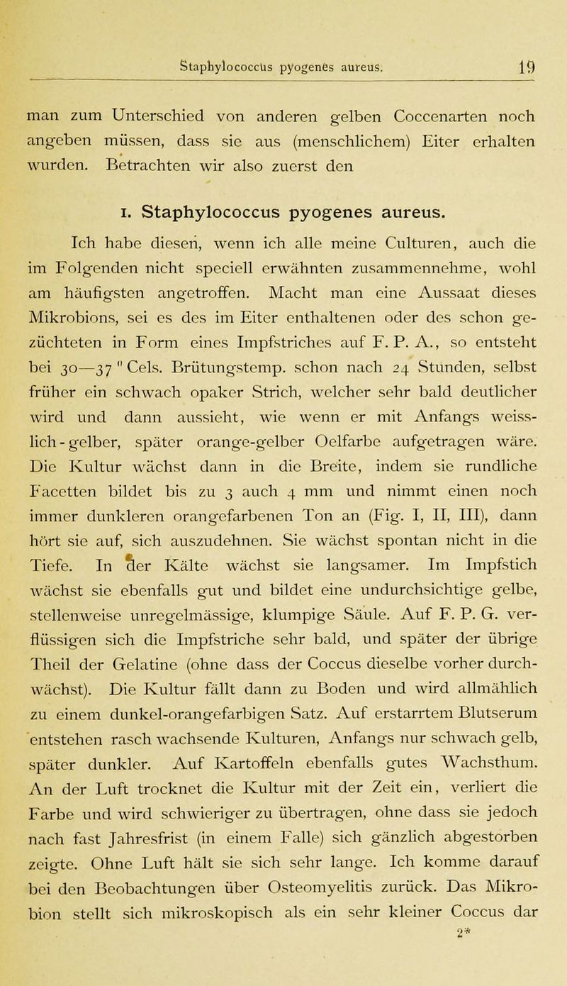 man zum Unterschied von anderen gelben Coccenarten noch angeben müssen, dass sie aus (menschlichem) Eiter erhalten wurden. Betrachten wir also zuerst den i. Staphylococcus pyogenes aureus. Ich habe diesen, wenn ich alle meine Culturen, auch die im Folgenden nicht speciell erwähnten zusammennehme, wohl am häufigsten angetroffen. Macht man eine Aussaat dieses Mikrobions, sei es des im Eiter enthaltenen oder des schon ge- züchteten in Form eines Impfstriches auf F. P. A., so entsteht bei 30—37Cels. Brütungstemp. schon nach 24 Stunden, selbst früher ein schwach opaker .Strich, welcher sehr bald deutlicher wird und dann aussieht, wie wenn er mit Anfangs weiss- lich-gelber, später orange-gelber Oelfarbe aufgetragen wäre. Die Kultur wächst dann in die Breite, indem sie rundliche Facetten bildet bis zu 3 auch 4 mm und nimmt einen noch immer dunkleren orangefarbenen Ton an (Fig. I, II, III), dann hört sie auf, sich auszudehnen. Sie wächst spontan nicht in die Tiefe. In der Kälte wächst sie langsamer. Im Impfstich wächst sie ebenfalls gut und bildet eine undurchsichtige gelbe, stellenweise unregelmässige, klumpige Säule. Auf F. P. G. ver- flüssigen sich die Impfstriche sehr bald, und später der übrige Theil der Gelatine (ohne dass der Coccus dieselbe vorher durch- wächst). Die Kultur fällt dann zu Boden und wird allmählich zu einem dunkel-orangefarbigen Satz. Auf erstarrtem Blutserum entstehen rasch wachsende Kulturen, Anfangs nur schwach gelb, später dunkler. Auf Kartoffeln ebenfalls gutes Wachsthum. An der Luft trocknet die Kultur mit der Zeit ein, verliert die Farbe und wird schwieriger zu übertragen, ohne dass sie jedoch nach fast Jahresfrist (in einem Falle) sich gänzlich abgestorben zeigte. Ohne Luft hält sie sich sehr lange. Ich komme darauf bei den Beobachtungen über Osteomyelitis zurück. Das Mikro- bion stellt sich mikroskopisch als ein sehr kleiner Coccus dar