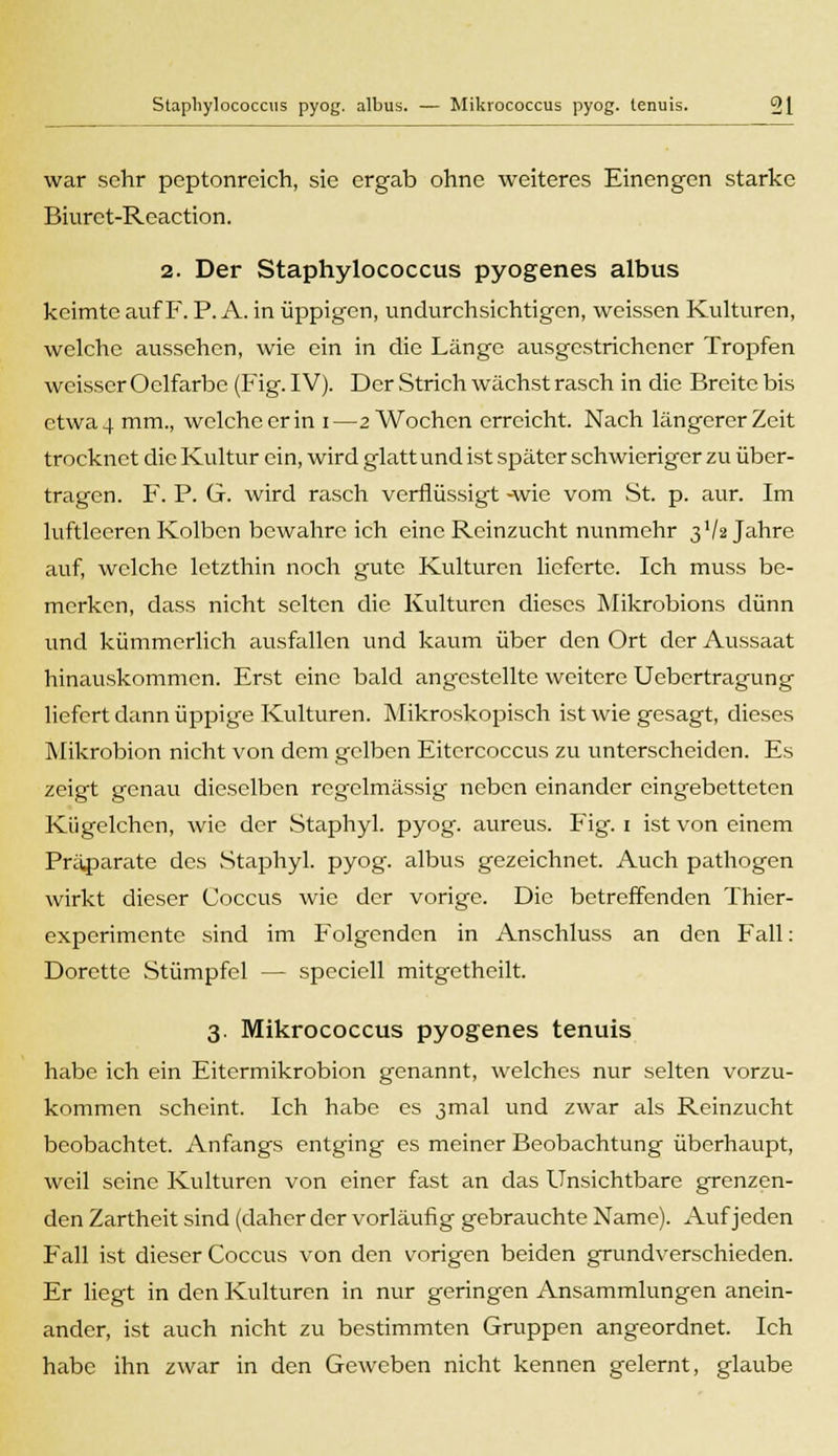 war sehr peptonrcich, sie ergab ohne weiteres Einengen starke Biuret-Reaction. 2. Der Staphylococcus pyogenes albus keimte auf F. P. A. in üppigen, undurchsichtigen, weissen Kulturen, welche aussehen, wie ein in die Länge ausgestrichener Tropfen weisser Oclfarbe (Fig. IV). Der Strich wächst rasch in die Breite bis etwa 4 mm., welche er in i—2 Wochen erreicht. Nach längerer Zeit trocknet die Kultur ein, wird glatt und ist später schwieriger zu über- tragen. F. P. G. wird rasch verflüssigt -wie vom St. p. aur. Im luftleeren Kolben bewahre ich eine Reinzucht nunmehr 3V2 Jahre auf, welche letzthin noch gute Kulturen lieferte. Ich muss be- merken, dass nicht selten die Kulturen dieses Mikrobions dünn und kümmerlich ausfallen und kaum über den Ort der Aussaat hinauskommen. Erst eine bald angestellte weitere Uebertragung liefert dann üppige Kulturen. Mikroskopisch ist wie gesagt, dieses Mikrobion nicht von dem gelben Eitercoccus zu unterscheiden. Es zeigt genau dieselben regelmässig neben einander eingebetteten Kiigelchen, wie der Staphyl. pyog. aureus. Fig. 1 ist von einem Präpiarate des Staphyl. pyog. albus gezeichnet. Auch pathogen wirkt dieser Coccus wie der vorige. Die betreffenden Thier- experimente sind im Folgenden in Anschluss an den Fall: Dorette Stümpfel — speciell mitgetheilt. 3. Mikrococcus pyogenes tenuis habe ich ein Eitermikrobion genannt, welches nur selten vorzu- kommen scheint. Ich habe es 3mal und zwar als Reinzucht beobachtet. Anfangs entging es meiner Beobachtung überhaupt, weil seine Kulturen von einer fast an das Unsichtbare grenzen- den Zartheit sind (daher der vorläufig gebrauchte Name). Auf jeden Fall ist dieser Coccus von den vorigen beiden grundverschieden. Er liegt in den Kulturen in nur geringen Ansammlungen anein- ander, ist auch nicht zu bestimmten Gruppen angeordnet. Ich habe ihn zwar in den Geweben nicht kennen gelernt, glaube