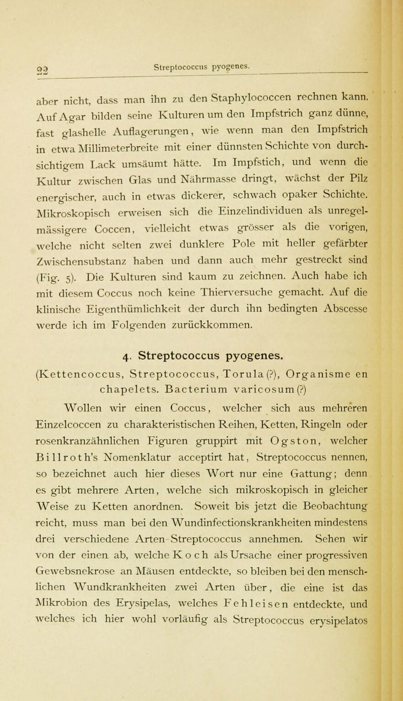 aber nicht, dass man ihn zu den Staphylococcen rechnen kann. Auf Agar bilden seine Kulturen um den Impfstrich ganz dünne, fast glashelle Auflagerungen, wie wenn man den Impfstrich in etwa Millimeterbreite mit einer dünnsten Schichte von durch- sichtigem Lack umsäumt hätte. Im Impfstich, und wenn die Kultur zwischen Glas und Nährmasse dringt, wächst der Pilz energischer, auch in etwas dickerer, schwach opaker Schichte. Mikroskopisch erweisen sich die Einzelindividuen als unregel- mässigere Cocccn, vielleicht etwas grösser als die vorigen, welche nicht selten zwei dunklere Pole mit heller gefärbter Zwischensubstanz haben und dann auch mehr gestreckt sind (Fig. 5). Die Kulturen sind kaum zu zeichnen. Auch habe ich mit diesem Coccus noch keine Thierversuche gemacht. Auf die klinische Eigenthümlichkeit der durch ihn bedingten Abscesse werde ich im Folgenden zurückkommen. 4. Streptococcus pyogenes. (Kettencoccus, Streptococcus, Torula(?), Organismc en chapelets. Bacterium varicosum(?) Wollen wir einen Coccus, welcher sich aus mehreren Einzelcoccen zu charakteristischen Reihen, Ketten, Ringeln oder rosenkranzähnlichen Figuren gruppirt mit Ogston, welcher Billroth's Nomenklatur aeeeptirt hat, .Streptococcus nennen, so bezeichnet auch hier dieses Wort nur eine Gattung; denn es gibt mehrere Arten, welche sich mikroskopisch in gleicher Weise zu Ketten anordnen. Soweit bis jetzt die Beobachtung reicht, muss man bei den Wundinfectionskrankheiten mindestens drei verschiedene Arten .Streptococcus annehmen. Sehen wir von der einen ab, welche Koch als Ursache einer progressiven Gewebsnekrose an Mäusen entdeckte, so bleiben bei den mensch- lichen Wundkrankheiten zwei Arten über, die eine ist das Mikrobion des Erysipelas, welches Fehleisen entdeckte, und welches ich hier wohl vorläufig als Streptococcus erysipelatos
