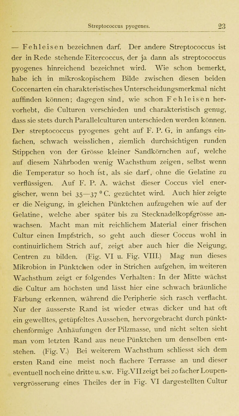 — Fehleisen bezeichnen darf. Der andere Streptococcus ist der in Rede stehende Eitercoccus, der ja dann als Streptococcus pyogenes hinreichend bezeichnet wird. Wie schon bemerkt, habe ich in mikroskopischem Bilde zwischen diesen beiden Coccenarten ein charakteristisches Unterscheidungsmerkmal nicht auffinden können; dagegen sind, wie schon Fehleisen her- vorhebt, die Culturen verschieden und charakteristisch genug, dass sie stets durch Parallelculturen unterschieden werden können. Der Streptococcus pyogenes geht auf F. P. G. in anfangs ein- fachen, schwach weisslichen, ziemlich durchsichtigen runden Stippchen von der Grösse kleiner Sandkörnchen auf, welche auf diesem Nährboden wenig Wachsthum zeigen, selbst wenn die Temperatur so hoch ist, als sie darf, ohne die Gelatine zu verflüssigen. Auf F. P. A. wächst dieser Coccus viel ener- gischer, wenn bei 35—37 ° C. gezüchtet wird. Auch hier zeigte er die Neigung, in gleichen Pünktchen aufzugehen wie auf der Gelatine, welche aber später bis zu Stecknadelkopfgrösse an- wachsen. Macht man mit reichlichem Material einer frischen Cultur einen Impfstrich, so geht auch dieser Coccus wohl in continuirlichem Strich auf, zeigt aber auch hier die Neigung, Centren zu bilden. (Fig. VI u. Fig. VIII.) Mag nun dieses Mikrobion in Pünktchen oder in Strichen aufgehen, im weiteren Wachsthum zeigt er folgendes Verhalten: In der Mitte wächst die Cultur am höchsten und lässt hier eine schwach bräunliche Färbung erkennen, während die Peripherie sich rasch verflacht. Nur der äusserste Rand ist wieder etwas dicker und hat oft ein gewelltes, getüpfeltes Aussehen, hervorgebracht durch pünkt- chenförmige Anhäufungen der Pilzmasse, und nicht selten sieht man vom letzten Rand aus neue Pünktchen um denselben ent- stehen. (Fig. V.) Bei weiterem Wachsthum schliesst sich dem ersten Rand eine meist noch flachere Terrasse an und dieser eventuell noch eine dritte u. s.w. Fig.VIIzeigtbei2ofacherLoupen- vergrösserung eines Theiles der in Fig. VI dargestellten Cultur